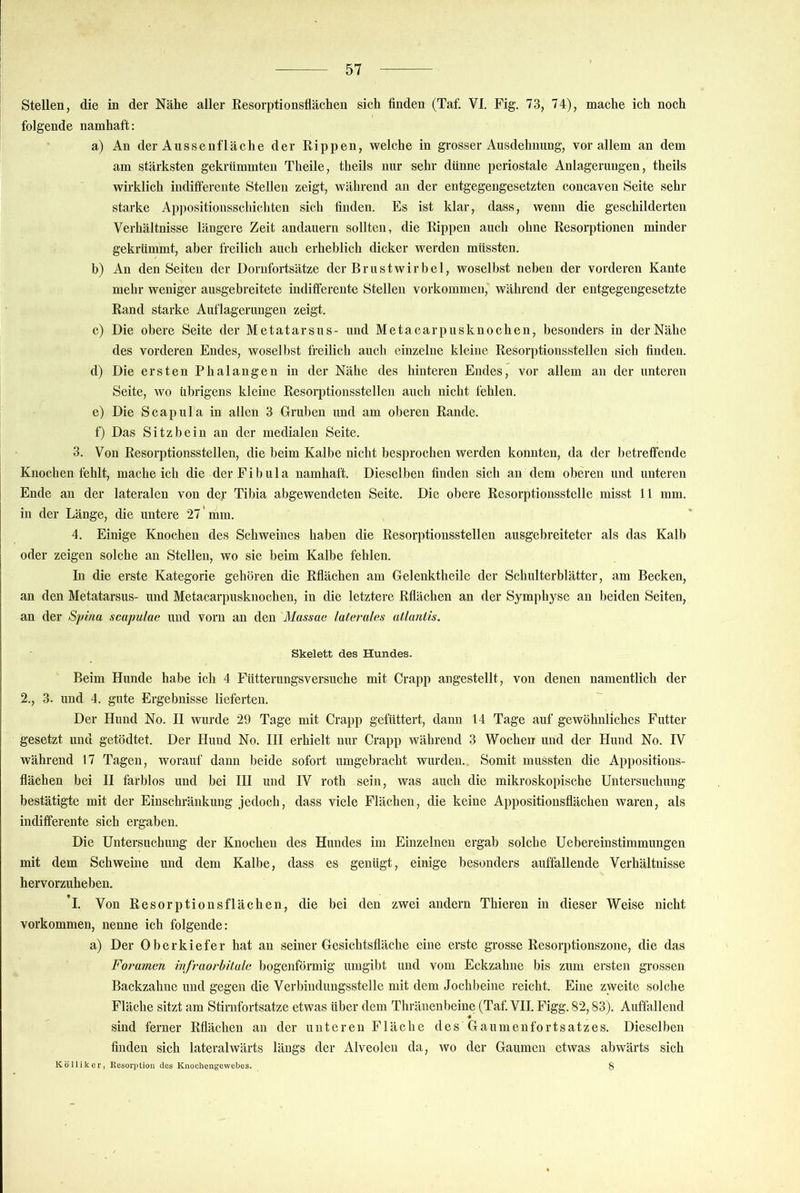 Stellen, die in der Nähe aller Resorptionsflächen sich Anden (Taf. VI. Fig. 73, 74), mache ich noch folgende namhaft: a) An der Aussenfläche der Rippen, welche in grosser Ausdehnung, vor allem an dem am stärksten gekrümmten Theile, theils nur sehr dünne periostale Anlagerungen, theils wirklich inditferente Stellen zeigt, während an der entgegengesetzten concaven Seite sehr starke Appositionsschichten sich finden. Es ist klar, dass, wenn die geschilderten Verhältnisse längere Zeit andauern sollten, die Rippen auch ohne Resorptionen minder gekrümmt, aber freilich auch erheblich dicker werden müssten. b) An den Seiten der Dorufortsätze der Brustwirbel, woselbst neben der vorderen Kante mehr weniger ausgebreitete inditferente Stellen verkommen, während der entgegengesetzte Rand starke Auflagerungen zeigt. c) Die obere Seite der Metatarsus- und Metacarpusknoeben, besonders in der Nähe des vorderen Endes, woselbst freilich auch einzelne kleine Resorptionsstellen sich finden. d) Die ersten Phalangen in der Nähe des hinteren Endes, vor allem an der unteren Seite, wo übrigens kleine Resorptionsstellen auch nicht fehlen. e) Die Scapula in allen 3 Gruben und am oberen Rande. f) Das Sitzbein an der medialen Seite. 3. Von Resorptionsstellen, die beim Kalbe nicht besprochen werden konnten, da der betreffende Knochen fehlt, macheich die der Fibula namhaft. Dieselben finden sich an dem oberen und unteren Ende an der lateralen von dej Tibia abgewendeten Seite. Die obere Resorptionsstelle misst 11 mm. in der Länge, die untere 27 ’ mm. 4. Einige Knochen des Schweines haben die Resorptionsstellen ausgebreiteter als das Kalb oder zeigen solche an Stellen, wo sie beim Kalbe fehlen. In die erste Kategorie gehören die Rflächen am Gelenktheile der Schulterblätter, am Becken, an den Metatarsus- und Metacarpusknochen, in die letztere Rflächen an der Symphyse an beiden Seiten, an der Spina scapulae und vorn an den Massae laterales aüaniis. Skelett des Hundes. Beim Hunde habe ich 4 Fütterungsversuche mit Crapp angestellt, von denen namentlich der 2., 3. und 4. gute Ergebnisse lieferten. Der Hund No. II wurde 29 Tage mit Crapp gefüttert, daun 14 Tage auf gewöhnliches Futter gesetzt und getödtet. Der Hund No. III erhielt nur Crapp während 3 Wochen und der Hund No. IV während 17 Tagen, worauf dann beide sofort umgebracht wurden.. Somit mussten die Appositions- flächen bei II farblos und bei III und IV roth sein, was auch die mikroskopische Untersuchung bestätigte mit der Einschränkung jedoch, dass viele Flächen, die keine Appositionsflächen waren, als indifferente sich ergaben. Die Untersuchung der Knochen des Hundes im Einzelnen ergab solche Uebereinstimmungen mit dem Schweine und dem Kalbe, dass es genügt, einige besonders auffallende Verhältnisse hervorzuheben. ’l. Von Resorptionsfläehen, die bei den zwei andern Thieren in dieser Weise nicht Vorkommen, nenne ich folgende: a) Der Oberkiefer hat an seiner Gesichtsfläche eine erste grosse ResoriRionszone, die das Foramen mfraorhilale bogenförmig umgibt und vom Eckzahne bis zum ersten grossen Backzahne und gegen die Verbindungsstelle mit dem Jochbeine reicht. Eine zweite solche Fläche sitzt am Stirnfortsatze etwas über dem Thränenbeiue (Taf. VII. Figg. 82,83). Auffallend sind ferner Rflächen an der unteren Fläche des Gaumenfortsatzes. Dieselben finden sich lateralwärts längs der Alveolen da, wo der Gaumen etwas abwärts sich Köllikcr, Kesorption des Knochengewebes. 8