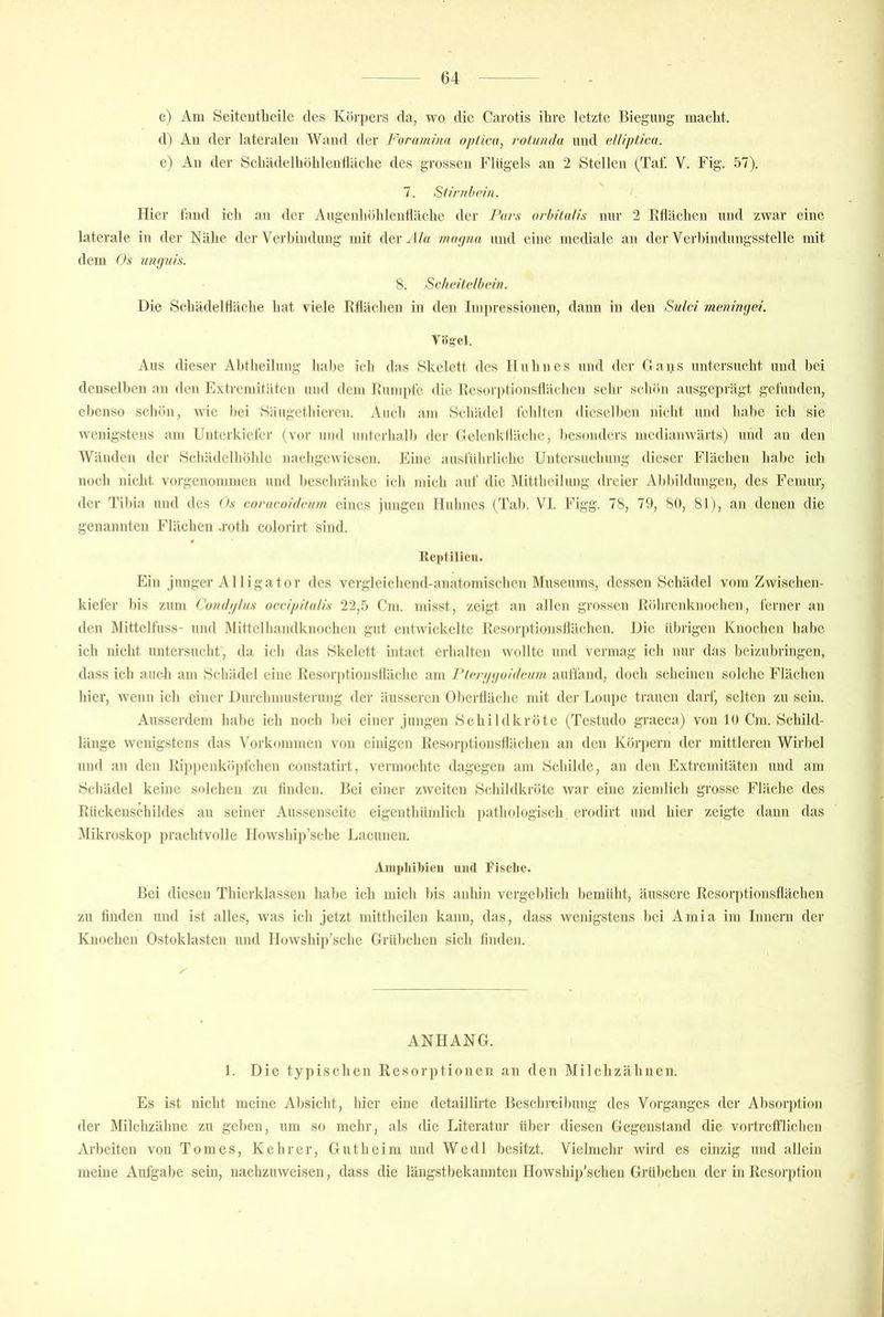c) Am Seiteutlieile des Körpers da, wo die Carotis ihre letzte Biegung maclit. d) An der lateralen Wand der Forumina optica, rotanda und ellipticu. e) An der Scliädelhöhlentläclie des grossen Flügels au 2 Stellen (Taf. V. Fig. 57). 7. Stirnhc/n. Hier fand ich an der Augenhöhlentläclie der Pars orlrital/s nur 2 Eflächen und zwar eine laterale in der Nähe der Verbindung mit der^l/« ma;/na und eine mediale an der Verbindungsstelle mit dem Os unguis. 8. Scheitelbein. Die Schädeldäche hat viele Rflächen in den Impressionen, dann in den Sutci meningei. Vög'el. Aus dieser Abtheilung habe ich das Skelett des Huhnes und der Caiis untersucht und bei denselben an den Extremitäten und dem Rumpfe die Resorptionsilächen sehr schön ausgeprägt gefunden, ebenso schön, wie bei Säugethieren. Auch am Scliädel fehlten dicsellten nicht und liahc ich sie wenigstens am Unterkiefer (vor und unterhalb fler (lelenktläche, l)es()nders medianwärts) und an den Wänden der Schädelhöhle nachgewiesen. Eine ausführliche Untersuchung dieser Flächen habe ich noch nicht vorgenommen und beschränke ich ndch auf die Älitthcilung dreier Abbildungen, des Femur, der Tibia und des Os coracoideuni eines jungen Huhnes (Tab. VI. Figg. 78, 79, 80, 81), au denen die genannten Flächen .roth colorirt sind. lleplilieii. Ein junger Al ligator des vergleichend-anatomischen Museums, dessen Schädel vom Zwischen- kiefer bis zum Condif/us occipitalis 22,5 Cm. nusst, zeigt an allen grossen Röhrenknochen, ferner an den Mittelfuss- und Itlittelhandknochen gut entwickelte Rcsorptionstlächen. Die übrigen Knochen habe ich nicht untersucht, da ich das Skelett intact erhalten wollte und vermag ich nur das beizubringen, dass ich auch am Schädel eine Resor])tionstläche am Pterggoideum auffand, doch scheinen solche Flächen hier, wenn ich einer Durchmusterung der äusseren Oberfläche mit der Loupe trauen darf, selten zu sein. Ausserdem habe ich noch I»ei einer jungen Schildkröte (Testudo graeca) von 10 Cm. Schild- länge wenigstens das Vorkommen von einigen Rcsorptionstlächen an den Köi'])crn der mittleren Wirbel und an den Rij)penköpfchen constatirt, vermochte dagegen am Schilde, an den Extremitäten und am Schädel keine solchen zu tinden. Bei einer zweiten Schildkröte war eine zicndich grosse Fläche des Rückenschildes an seiner Aussenseite eigcnthümlich pathologisch crodirt und hier zeigte dann das ^Mikroskop prachtvolle Howshi])’sche Lacunen. Aiiipliihioii uml Fische. Bei diesen Thicrklassen habe ich mich bis anhin vergeblich bemüht, äussere Resorptionsflächen zu tinden und ist alles, was ich jetzt mittheilcn kann, das, dass wenigstens bei Amia im Innern der Knochen Ostoklastcii und Howship’sche Grübchen sich tinden. ANHANG. 1. Die typischen Resorptionen an den Milchzähnen. Es ist nicht meine Absicht, hier eine dctaillirte Beschreibung des Vorganges der Absor])tion der Milchzähne zu geben, um so mehr, als die Literatur über diesen Gegenstand die vortreflnichen Arbeiten von Tom es, Kehrer, Gut heim und Wedl besitzt. Vielmehr wird es einzig und allein meine Aufgabe sein, nachzuweisen, dass die läugstbekannten Howship’schen Grübchen der in Resorption