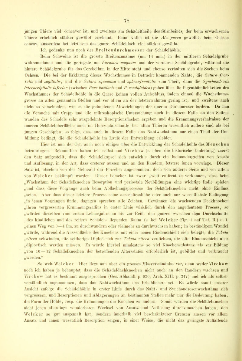 jungen Thiere viel coucaver ist, und zweitens am Schädeltlieile des Stirnl)eiues, der beim erwacbseneii Tliiere erheblich stärker gewöll)t erscheint. Beim Kalbe ist die Akt jxtriHt gewölbt, beim Ochsen concav, ausserdem bei letzterem das ganze Schädeldach viel stärker gewölbt. Ich gedenke nun noch der Breitendurchniesser der Schädelhöhle. Beim Schweine ist die grösste Breitenzunahme (um 14 mm.) in der mittleren Schädelgrube wahrzuuehmen und die geringste am Forunwn vKujni/m und der vorderen Schädelgrube, während die hintere Schädelgrube für das Cerebellum in der Älitte steht und ebenso verhalten sich die Sachen beim Ochsen. Die bei der Erklärung dieses Wachsthumes in Betracht kommenden Nähte, die Sulura frun- tulis und sutjittalisj und die Suturu sc/i/aniosa und sphenofronlulis zum Theil, dann die Si/nchondrosis interoccipitalis inferior (zwischen Pnrs Ixisilaris und P. cont////oiilea) geben über die Eigenthümlichkeiten des Wachsthumes der Schädelhöhle in die Quere keinen vollen Aufschluss, indem einmal die Wachsthums- grösse an allen genannten Stellen und vor allem an der letzterwähnten gering ist, und zweitens auch nicht so verschieden, wie es die getundenen Abweichungen der queren Durchmesser fordern. Da nun die Versuche mit Cra]>]) und die mikroskopische Untersuchung auch in diesem Falle an den Seiten- wänden des Schädels sehr ausgedehnte Besorptionsüächen ergeben und die Kriimmungsverhältnisse der inneren Schädelobertläche auch im llorizontalschnitte bei alten Thieren wesentlich andere sind als bei .jungen Geschöpfen, so folgt, dass auch in diesem Falle das Nahtwachsthum nur einen Theil der Um- bildung bedingt, die die Schädelhöhle im Laufe der Entwicklung erleidet. liier ist nun der Ort, auch noch einiges über die Entwicklung der Schädelhöhle des Menschen beizubringen. Bekanntlich haben ich selbst und Virchow (s. oben die historische Einleitung) zuerst den Satz autgestellt, dass die Schädelkapsel sich entwickle durch ein Ineinandergreifen von Ansatz und Auflösung, in der Art, dass ersterer aussen und an den Bändern, letztere innen vorwiege. Dieser Satz ist, obschon von der IMehrzahl der Forscher angenommen, doch von anderer Seite und vor allem von Welcker bekämpft worden. Dieser Forscher ist zwar „weit entfernt zu verkennen, dass beim „Wachsthum der Schädelknochen Hesorption und periostale Neubildungen eine wichtige Rolle spielen „und dass diese Vorgänge auch beim AbHachungs])rocessc der Schädelknochen nicht ohne Einfluss „seien. Aber dass dieser letztere Process seine ausschliessliche oder auch nur wesentlichste Bedingung „in jenen Vorgängen tinde, dagegen sprechen alle Zeichen. Gewännen die wachsenden Deckknochen „ihren vergrösserten Krümmungsradius in erster Linie wirklich durch den angedeuteten Process, so „würden dieselben vom ersten Lebensjahre an bis zur Reife den ganzen zwischen dtyn Durchschnitte „des kindlichen und des reifem Schädels liegenden Raum (s. bei Welcker Fig. 1 auf Taf. II.) d. i. „einen Weg von 3—1 Cm. zu durchwandern oder vielmehr zu durchwachsen haben; in beständigem Wandel „würde, während die AussenÜäche des Knochens mit einer neuen Rindenschicht sich belegte, die Tabula ^püirea schwinden, die seitherige Diploe sich zur 'l'alxila viirra verdichten, die alte Rindenschicht aber „diploetisch werden müssen. Es würde hierbei mindestens so viel Knochensubstanz als zur Bildung „von 10—12 Schädelknochen der betreffenden Altersstufen erforderlich ist, gebildet und verbraucht „werden.“ So weit Welcker. Hier liegt nun aber ein grosses Missverständniss vor, denn weder Virchow noch ich haben je behauptet, dass die Schädeldachknochen nicht auch an den Rändern wachsen und Virchow hat es bestimmt ausgesprochen (Ges. Abhandl. p. 930, Arch. Xlll. p. 347) und ich als selbst- verständlich angenommen, dass das Nahtwachsthum das Erheblichere sei. Es würde somit unserer Ansicht zufolge die Schädelhöhle in erster Linie durch das Naht- uml Synchondrosenwachsthum sich vergrössern, und Resorptionen und Ablagerungen an bestimmten Stellen mehr nur die Bedeutung haben, die Form der Höhle, resp. die Krümmungen der Knochen zu ändern. Somit würden die Schädelknochen nicht jenen allerdings wunderbaren Wechsel von Ansatz und Auflösung durchzumachen haben, den Welcker so gut ausgemalt hat, sondern innerhalb viel beschränkterer Grenzen aussen vor allem Ansatz und innen wesentlich Resorption zeigen, in einer Weise, die nicht das geringste Auffallende