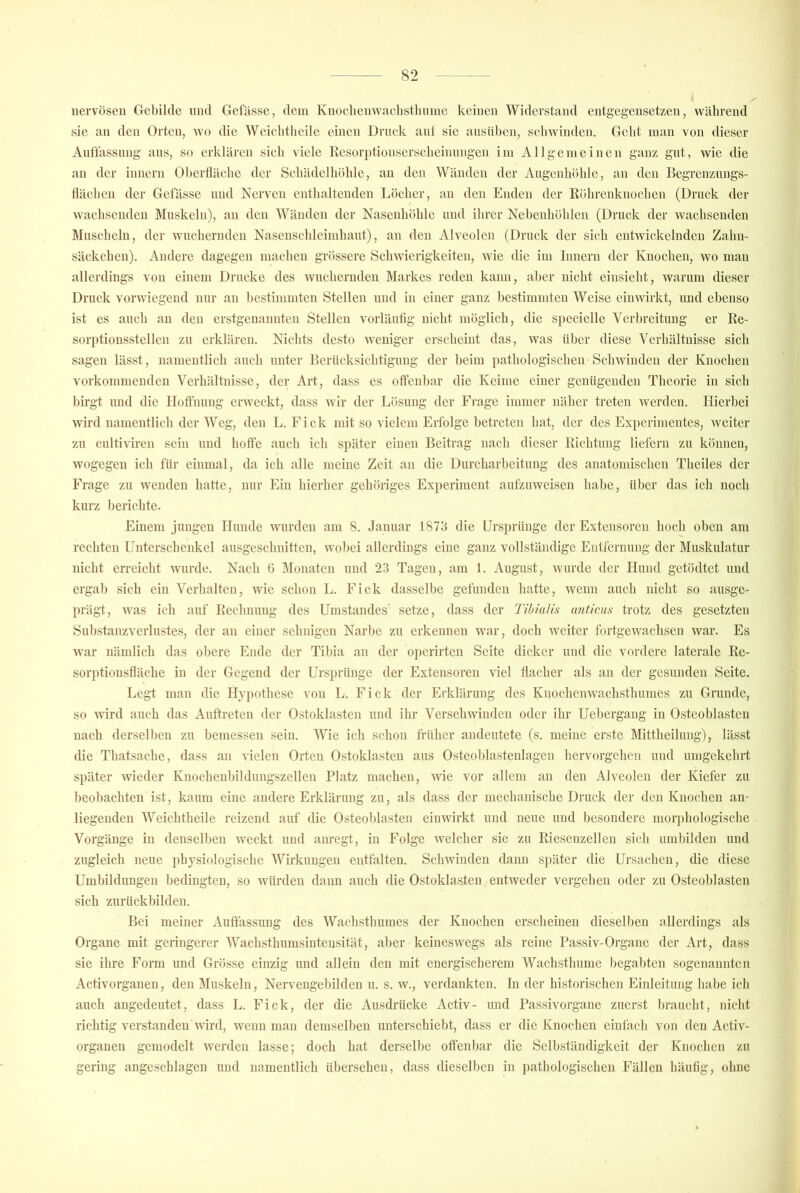 nervösen Gebilde niid Gelasse, dem Knoclienwaclistliume keinen Widerstand entgegensetzen, während sie an den Orten, wo die Weiclitlieile einen Druck aut sie ausüben, schwinden. Gebt man von dieser Auttässiing aus, so erklären sich viele Resorptionserscheinungen im Allgemeinen ganz gut, wie die an der iimern Oberfläche der Schädelhöhle, an den Wänden der Augenhöhle, an den Begrcuzungs- Häclien der Gelasse und Nerven enthaltenden Löcher, an den Enden der Röhrenknochen (Druck der wachsenden Muskeln), au den Wänden der Nasenhöhle uud ihrer Nebenhöhlen (Druck der wachsenden Muscheln, der wuchernden Nasenschleimhaut), an den Alveolen (Druck der sich entwickelnden Zahn- säckchen). Andere dagegen machen grössere Schwierigkeiten, wie die im Innern der Knochen, wo man allerdings von einem Drucke des wuchernden Markes reden kann, aber nicht einsieht, warum dieser Druck vorwiegend nur an bestimmten Stellen und in einer ganz bestimmten Weise ein wirkt, und ebenso ist es auch an den erstgenannten Stellen vorläufig nicht möglich, die specielle Verbreitung er Re- sorptionsstellen zu erklären. Nichts desto weniger erscheint das, was über diese Verhältnisse sich sagen lässt, namentlich auch unter Rcriicksichtigung der beim pathologischen'Schwinden der Knochen vorkommenden Verhältnisse, der Art, dass es oftenhar die Keime einer genügenden Theorie in sich birgt und die llotlhung erweckt, dass wir der Lösung der Frage immer näher treten werden. Hierbei wird namentlich der AVeg, den L. Fick mit so vielem Erfolge betreten hat, der des Experimentes, weiter zn cnltiviren sein und hoffe auch ich später einen Beitrag nach dieser Richtung liefern zu können, wogegen ich für einmal, da ich alle incinc Zeit an die Durcharbeitung des anatomischen Theiles der Frage zu wenden hatte, nur Ein hierher gehöriges Exi)eriment aufzuweiseu habe, über das ich noch kurz berichte. Einem jungen Hunde wurden am 8. Januar 1873 die Ursprünge der Extensoren hoch oben am rechten Unterschenkel ausgeschnitten, wobei allerdings eine ganz vollständige Entfernung der Muskulatur nicht erreicht wurde. Nach 6 Monaten und 23 Tagen, am 1. August, wurde der Hund getödtet uud ergab sich ein Verhalten, wie schon L. Fick dasselbe gefunden hatte, wenn auch nicht so ausge- prägt, was ich auf Rechnung des Umstandes’ setze, dass der TihiaHs uniicus trotz des gesetzten Substauzverlustes, der an einer sehnigen Narbe zu erkennen war, doch Aveiter fortgewachsen war. Es Avar nämlich das obere Ende der Tibia an der operirten Seite dicker und die vordere laterale Re- sorptiouslläche in der Gegend der Ursi)rünge der Extensoren viel flacher als an der gesunden Seite. Legt man die Hypothese von L. Fick der Erklärung des KnochenAvachsthumes zu Grunde, so AAurd auch das Auftreten der Ostoklasten uud ihr VerschAV'iuden oder ihr Uebergang in Osteoblasten nach derselben zu bemessen sein. Wie ich schon früher andeutete (s. meine erste Mittheilung), lässt die Thatsache, dass au vielen Orten Ostoklasten aus Osteoblastenlagen hervorgehen und umgekehrt später Avieder Knochenbilduugszellen Platz machen, Avie vor allem an den Alveolen der Kiefer zu beobachten ist, kaum eine andere Erklärung zu, als dass der mechanische Druck der den Knochen an- liegenden Weiclitlieile reizend auf die Osteoblasten eiiiAvirkt und neue uud besondere morphologische Vorgänge in denselben weckt und anregt, in Folge Avelcher sie zu Riescnzellen sich umbilden und zugleich neue physiologische Wirkungen entfalten. ScliAvinden dann später die Ursachen, die diese Umbildungen bedingten, so Avürden dann auch die Ostoklasten entAveder vergehen oder zu Osteoblasten sich zurückbilden. Bei meiner Auffassung des Wachsthunies der Knochen erscheinen dieselben allerdings als Organe mit geringerer AVachsthumsintensität, aber keinesAvegs als reine Passiv-Organe der Art, dass sie ihre Form und Grösse einzig und allein den mit energischerem Wachsthume begabten sogenannten Activorganeii, den Muskeln, Nervengebilden u. s. av., verdankten. In der historischen Einleitung habe ich auch angedeutet, dass L. Fick, der die Ausdrücke Activ- und Passivorgane zuerst braucht, nicht richtig verstanden Avird, Avenn man demselben unterschiebt, dass er die Knochen einfach von den Activ- organen gemodelt Averden lasse; doch hat derselbe offenbar die Selbständigkeit der Knochen zu gering angeschlagen und namentlich übersehen, dass dieselben in pathologischen Fällen häufig, ohne