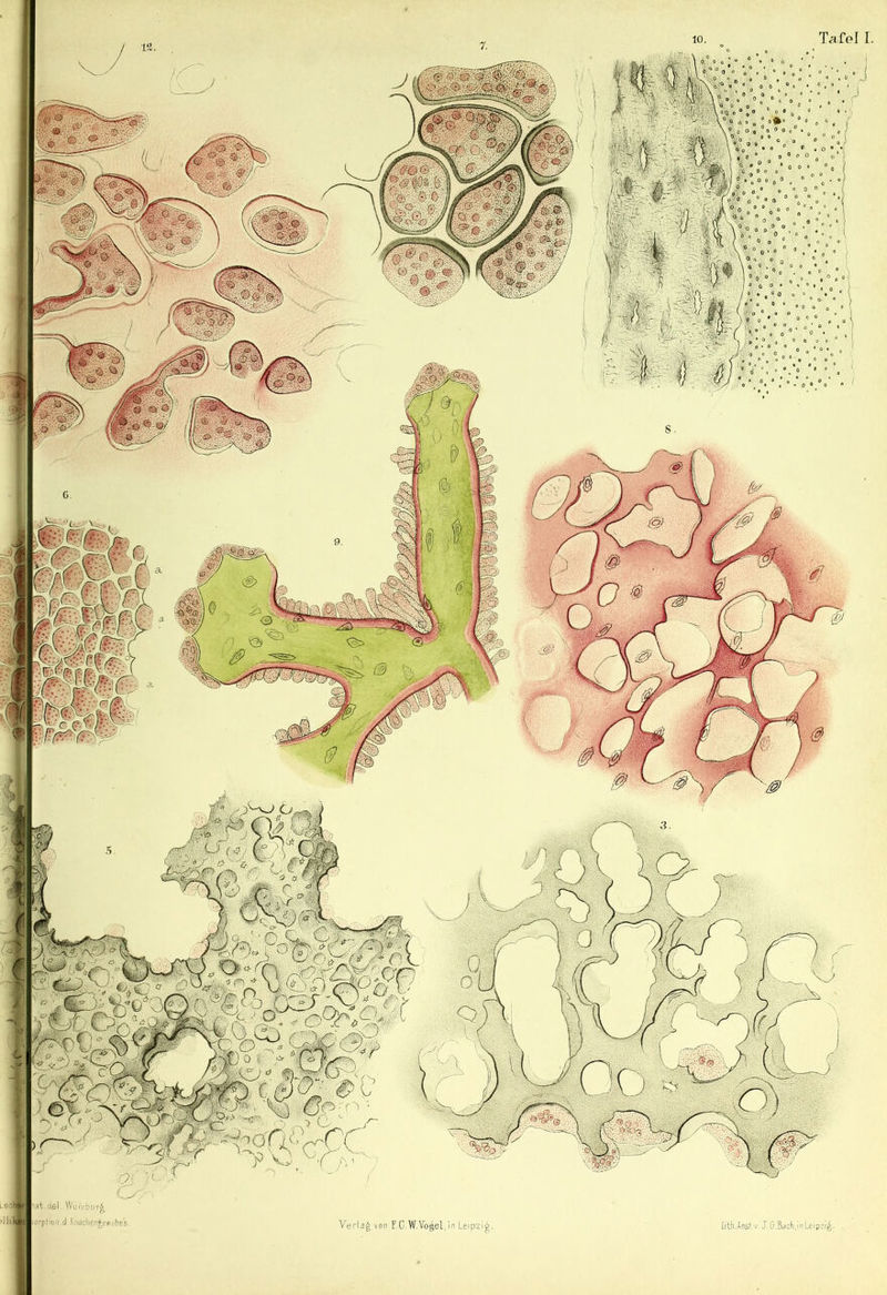 Tflfel I ' r7 0 V> < ji del Wu. büi-^ irfhijii.d liioclicd^.ec.tbe's.