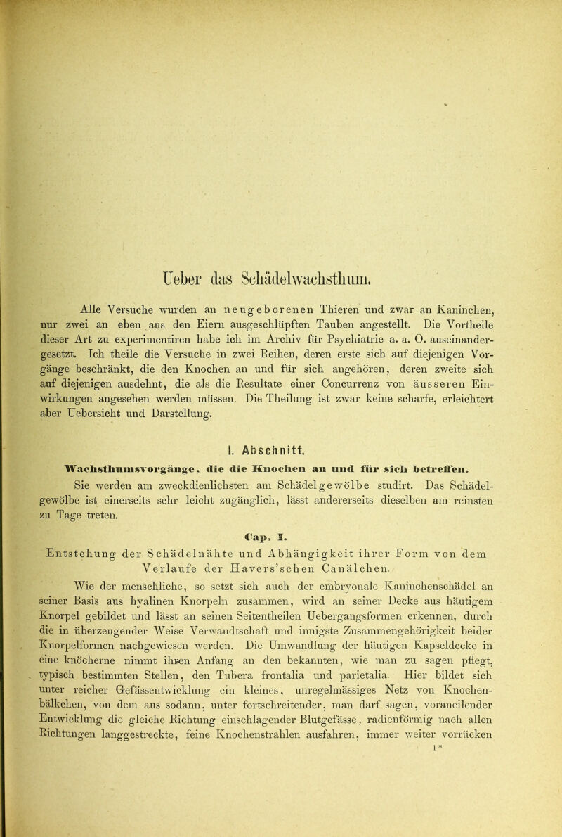 lieber das Schädelwacbsthiim. Alle Versuche wurden an neugeborenen Thieren und zwar an Kaninchen, nur zwei an eben aus den Eiern ausgeschlüpften Tauben angestellt Die Vortheile dieser Art zu experimentiren habe ich im Archiv für Psychiatrie a. a. O. auseinander- gesetzt. Ich theile die Versuche in zwei Eeihen, deren erste sich auf diejenigen Vor- gänge beschränkt, die den Knochen an und für sich angehören, deren zweite sich auf diejenigen ausdehnt, die als die Eesultate einer Concurrenz von äusseren Ein- wirkungen angesehen werden müssen. Die Theilung ist zwar keine scharfe, erleichtert aber Uebei-sicht und Darstellung. I. Abschnitt. Waclisthiiiusvorgäiige, die die Kiioelieii au und für sieli betreffen. Sie werden am zweckdienlichsten am Schädel ge wölbe studirt. Das Schädel- gewölbe ist einerseits sehr leicht zugänglich, lässt andererseits dieselben am reinsten zu Tage treten. f'ap, I. Entstehung der Schädelnähte und Abhängigkeit ihrer Form von dem Verlaufe der Havers’schen Canälchen. Wie der menschliche, so setzt sich auch der embryonale Kaninchenschädel an seiner Basis aus hyalinen Knorpeln zusammen, wird an seiner Decke aus häutigem Knorpel gebildet und lässt an seinen Seitentheilen Uebergangsformen erkennen, durch die in überzeugender Weise Verwandtschaft und innigste Zusammengehörigkeit beider Knorpelformen nachgewiesen werden. Die Umwandlung der häutigen Kapseldecke in eine knöcherne nimmt ihijen Anfang an den bekannten, wie man zu sagen pflegt, . typisch bestimmten Stellen, den Tubera frontalia und parietalia. Hier bildet sich unter reicher Gefässentwicklung ein kleines, unregelmässiges Netz von Knochen- bälkchen, von dem aus sodann, unter fortschreitender, man darf sagen, voraneilender Entwicklung die gleiche Eichtung einschlagender Blutgefässe, radienförmig nach allen Eichtungen langgestreckte, feine Knochenstrahlen ausfahren, immer weiter vorrücken 1*