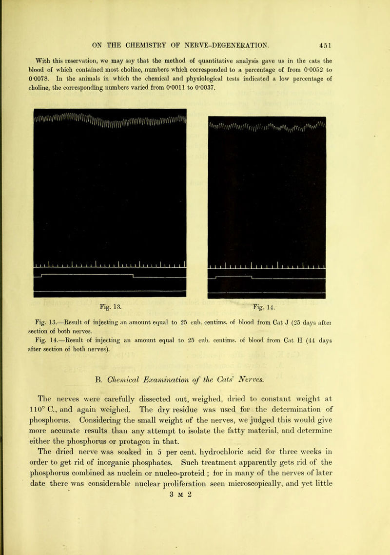 With this reservation, we may say that the method of quantitative analysis gave us in the cats the blood of which contained most choline, numbers which corresponded to a percentage of from 0'0052 to 0'0078. In the animals in which the chemical and physiological tests indicated a low percentage of choline, the corresponding numbers varied from O'OOll to 0‘0037. Fig. 13. Fig. 14. Fig. 13.—Result of injecting an amount equal to 25 cub. centims. of blood from Cat J (25 days after section of both nerves. Fig. 14.—Result of injecting an amount equal to 25 cub. centims. of blood from Cat H (44 days after section of both nerves). B. Chemical Examination of the Cats Nerves. The nerves were carefully dissected out, weighed, dried to constant weight at 110° C., and again weighed. The dry residue was used for the determination of phosphorus. Considering the small weight of the nerves, we judged this would give more accurate results than any attempt to isolate the fatty material, and determine either the phosphorus or protagon in that. The dried nerve was soaked in 5 per cent, hydrochloric acid for three weeks in order to get rid of inorganic phosphates. Such treatment apparently gets rid of the phosphorus combined as nuclein or nucleo-proteid ; for in many of the nerves of later date there was considerable nuclear proliferation seen microscopically, and yet little 3 M 2