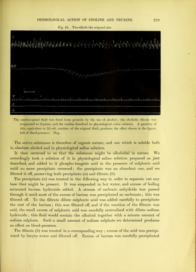 Fig. 10. Two-thirds the original size. The cerebro-spinal fluid was freed from proteids by the use of alcohol; the alcoholic filtiate was evaporated to dryness, and the residue dissolved in physiological saline solution. A quantity of this, equivalent to 10 cub. centims. of the original fluid, produces the effect shown in the figure, fall of blood-pressure. Dog. The active substance is therefore of organic nature, and one which is soluble both in absolute alcohol and in physiological saline solution. It then occurred to us that the substance might be alkaloidal in nature. We accordingly took a solution of it in physiological saline solution prej)ared as just described, and added to it phospho-tungstic acid in the presence of sulphuric acid until no more precipitate occurred; the precipitate was an abundant one, and we filtered it off, preserving both precipitate (a) and filtrate {h). The precipitate (a) was treated in the following way in order to separate out any base that might be present. It was suspended in hot water, and excess of boiling- saturated barium hydroxide added. A stream of carbonic anhydride was passed through it until most of the excess of barium was precipitated as carbonate; this was filtered off. To the filtrate dilute sulphuric acid was added carefully to precipitate the rest of the barium ; this was filtered off, and if the reaction of the filtrate was acid, the small excess of sulphuric acid was carefully neutralised with dilute sodium hydroxide; this fluid would contain the alkaloid together with a minute amount of sodium sulphate. Such a small amount of sodium sulphate we determined produces no effect on blood-pressure. The filtrate (6) was treated in a corresponding way ; excess of the acid Avas precipi- tated l^y baryta water and filtered ofi‘. Excess of barium Avas carefully precipitated