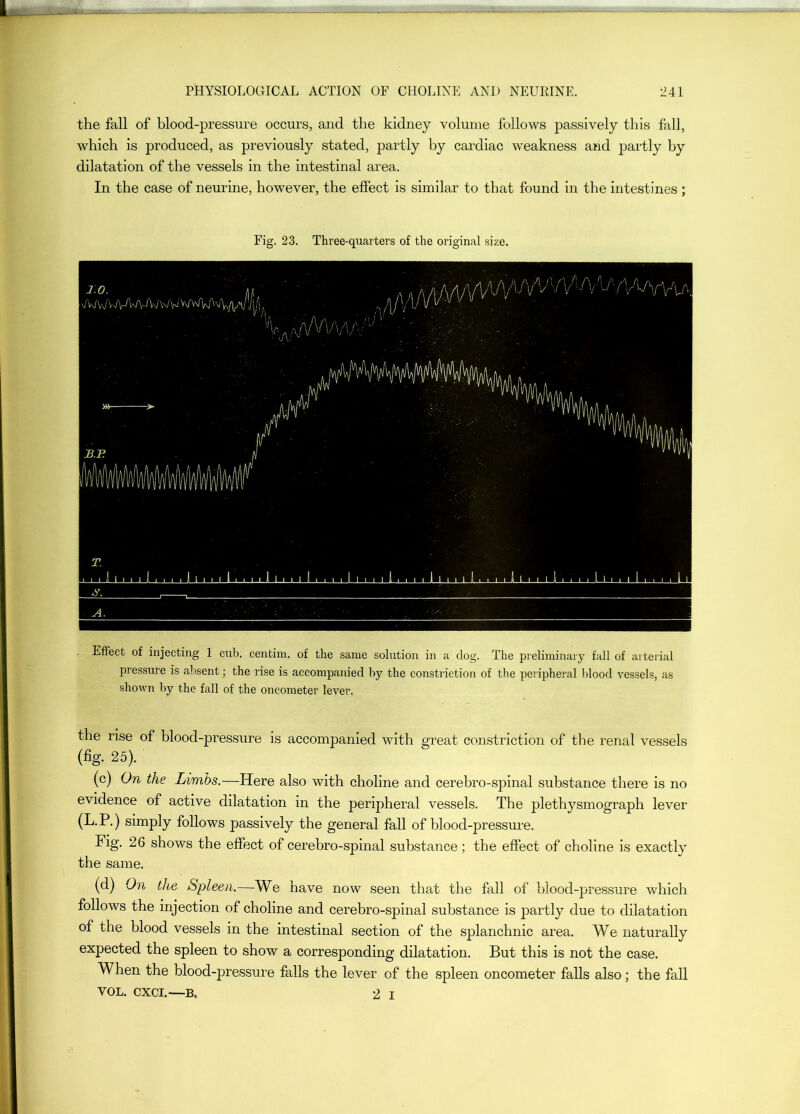 the fall of blood-pressure occurs, and the kidney volume follows passively this fall, which is produced, as previously stated, partly by cardiac weakness and partly by dilatation of the vessels in the intestinal area. In the case of neurine, however, the effect is similar to that found in the intestines; Fig. 23. Three-quarters of the original size. Effect of injecting 1 cub. cenbim. of the same solution in a dog. The preliminary fall of arterial pressure is aljsent; the rise is accompanied liy the constriction of the peripheral blood vessels, as shorvn by the fall of the oncometer lever. the rise of blood-pressure is accompanied with great constriction of the renal vessels (fig. 25). (c) On the Limbs.—Here also with choline and cerebro-spinal substance there is no evidence of active dilatation in the peripheral vessels. The plethysmograph lever (L.P.) simply follows passively the general fall of blood-pressure. Fig. 26 shows the effect of cerebro-spinal substance; the effect of choline is exactly the same. (d) On the Spleen.—We have now seen that the fall of blood-pressure which follows the injection of choline and cerebro-spinal substance is j>artly due to dilatation of the blood vessels in the intestinal section of the splanchnic area. We naturally expected the spleen to show a corresponding dilatation. But this is not the case. When the blood-pressure falls the lever of the spleen oncometer falls also; the fall