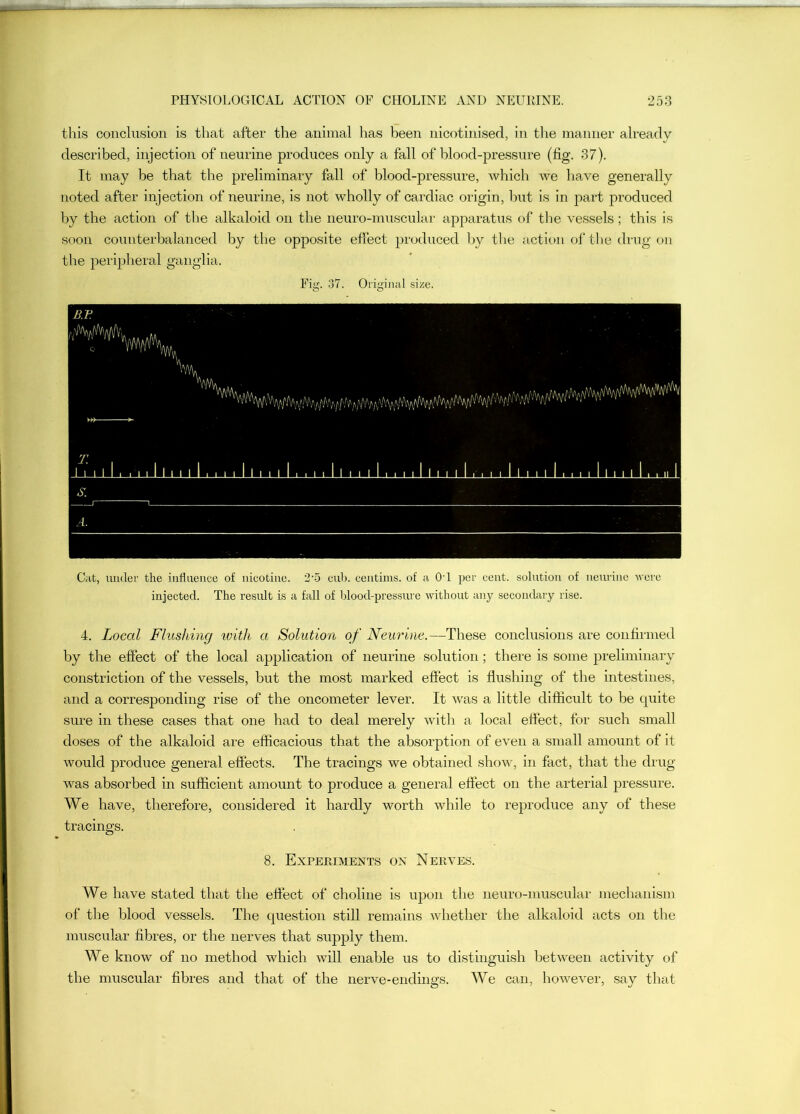 this conclusion is that after the animal has been nicotinised, in the manner already described, injection of neurine produces only a fall of blood-pressure (fig. 37). It may be that the preliminary fall of blood-pressure, which we liave generally noted after injection of neurine, is not wholly of cardiac origin, but is in part produced by the action of the alkaloid on the neuro-muscular apparatus of tlie vessels; this is soon coimterbalanced by the opposite effect produced by the action oftlie drug on the peripheral ganglia. Fig. .37. Original size. Cat, under the iiiflueiice of nicotine. 2'5 cnh. ccntinis. of a OT per cent, solution of neurine Avere injected. The result is a fall of hlood-pressnre without any secondary rise. 4. Local Flushing ivith a Solution of Neurine.—These conclusions are confirmed by the effect of the local application of neurine solution; there is some preliminary constriction of the vessels, but the most marked effect is flushing of the intestines, and a corresponding rise of the oncometer lever. It was a little difticult to be quite sure in these cases that one had to deal merely witli a local effect, for such small doses of the alkaloid are efficacious that the absorption of eA^en a small amount of it Avould produce general effects. The tracings we obtained show, in fact, that the drug was absorbed in sufficient amount to produce a general effect on the arterial pressure. We have, therefore, considered it hardly worth Avhile to reproduce any of these tracings. 8. Experiments ox Nerves. We have stated that the effect of choline is upon the neuro-muscular mechanism of the blood vessels. The question still remains Avhether the alkaloid acts on the muscular fibres, or the nerves that supply them. We know of no method which Avill enable us to distinguish betAveen activity of the muscular fibres and that of the nerve-endings. We can, hoAveA^er, say that