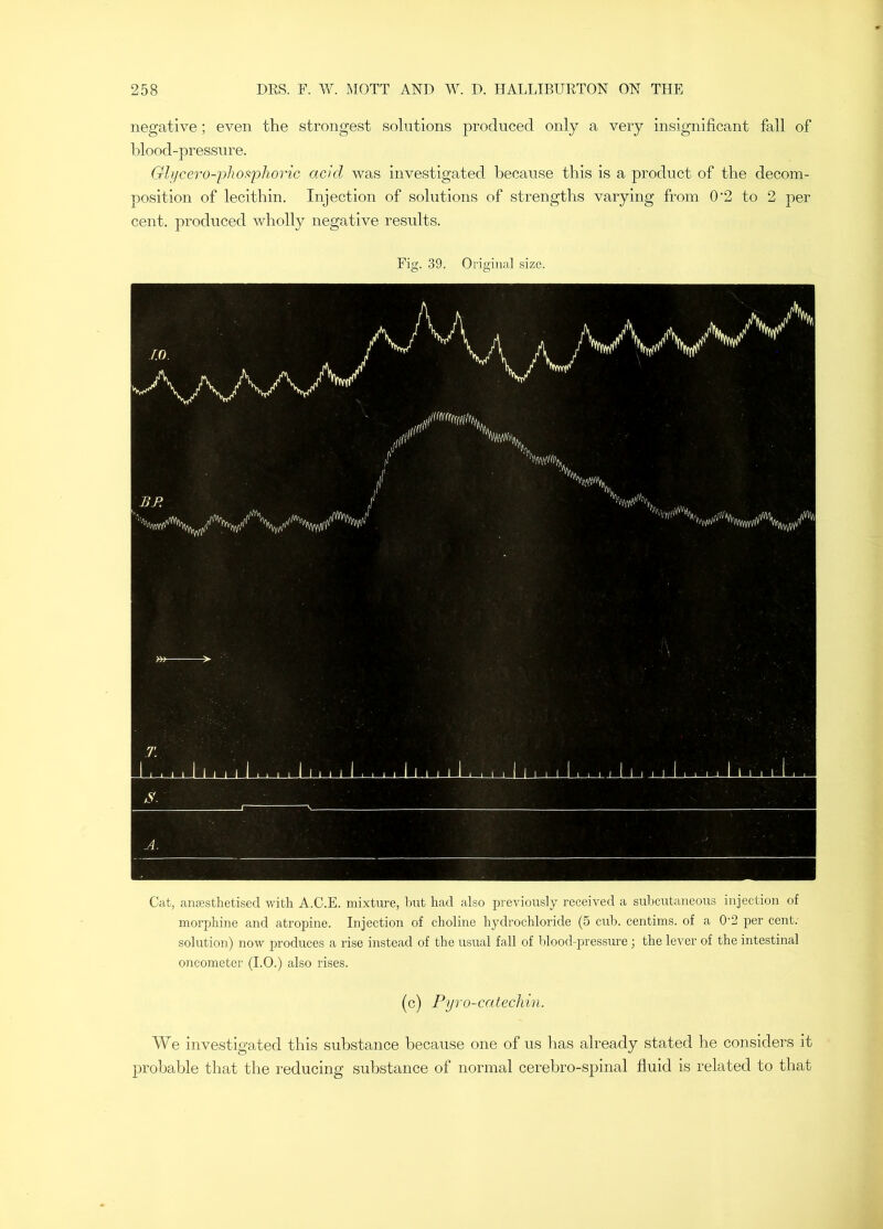 negative; even the strongest solutions produced only a very insignificant fall of blood-pressure. Ghicero-i')hoaphoric acid was investigated because this is a product of the decom- position of lecithin. Injection of solutions of strengths varying from 0‘2 to 2 per cent, produced wholly negative results. Fig. 39. Original size. Cat, anaesthetised with A.C.E. mixtirre, hut had also previously received a suhcutaneous injection of morphine and atropine. Injection of choline hydrochloride (5 cub. centims. of a 0'2 per cent.- solution) now produces a rise instead of the usual fall of Idood-pressure; the lever of the intestinal oncometer (1.0.) also rises. (c) Pyro-catechin. We investigated this substance because one of us has already stated he considers it probable that the reducing substance of normal cerebro-spinal fluid is related to that