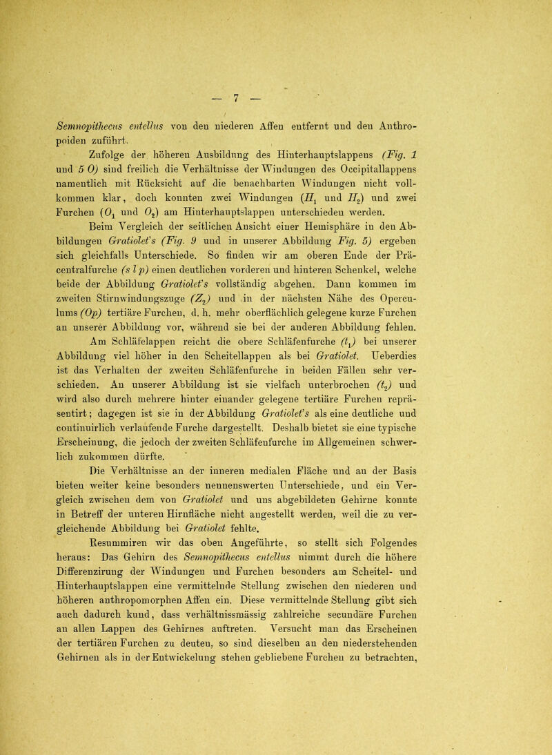 Semnopithecns enteUus von den niederen Affen entfernt und den Anthro- poiden zuführt. Zufolge der höheren Ausbildung des Hinterhauptslappens (Fig. 1 und 5 0) sind freilich die Verhältnisse der Windungen des Occipitallappens namentlich mit Rücksicht auf die benachbarten Windungen nicht voll- kommen klar, doch konnten zwei Windungen und und zwei Furchen (Oj und 0^) am Hiuterhauptslappen unterschieden werden. Beim Vergleich der seitlichen Ansicht einer Hemisphäre in den Ab- bildungen Gratiolet’s (Fig. 9 und in unserer Abbildung Fig. 5) ergeben sich gleichfalls Unterschiede. So finden wir am oberen Ende der Prä- centralfurche (s Ip) einen deutlichen vorderen und hinteren Schenkel, welche beide der Abbildung Gratiolet’s vollständig abgeheu. Dann kommen im zweiten Stirnwiudungszuge (Z^) und in der nächsten Nähe des Opercu- lums(^0^^ tertiäre Furchen, d. h. mehr oberflächlich gelegene kurze Furchen an unserer Abbildung vor, während sie bei der anderen Abbildung fehlen. Am Schläfelappeu reicht die obere Schläfenfurche (t^) bei unserer Abbildung viel höher in den Scheitellappeu als bei Gratiolet. Ueberdies ist das Verhalten der zweiten Schläfeufurche in beiden Fällen sehr ver- schieden. An unserer Abbildung ist sie vielfach unterbrochen (t.^ und wird also durch mehrere hinter einander gelegene tertiäre Furchen reprä- sentirt; dagegen ist sie in der Abbildung Gratiolet’s als eine deutliche und continuirlich verlaufende Furche dargestellt. Deshalb bietet sie eine typische Erscheinung, die jedoch der zweiten Schläfenfurche im Allgemeinen schwer- lich zukommen dürfte. Die Verhältnisse an der inneren medialen Fläche und an der Basis bieten weiter keine besonders nennenswerten Unterschiede, und ein Ver- gleich zwischen dem von Gratiolet und uns abgebildeten Gehirne konnte in Betreff der unteren Hirnfläche nicht angestellt werden, weil die zu ver- gleichende Abbildung bei Gratiolet fehlte. Resummiren wir das oben Angeführte, so stellt sich Folgendes heraus: Das Gehirn des Semnopithecns entellus nimmt durch die höhere Differenzirung der Windungen und Furchen besonders am Scheitel- und Hinterhauptslappen eine vermittelnde Stellung zwischen den niederen und höheren anthropomorphen Affen ein. Diese vermittelnde Stellung gibt sich auch dadurch kund, dass verhältnissmässig zahlreiche secundäre Furchen an allen Lappen des Gehirnes auftreten. Versucht man das Erscheinen der tertiären Furchen zu deuten, so sind dieselben an den niederstehenden Gehiimen als in der Entwickelung stehen gebliebene Furchen zu betrachten.