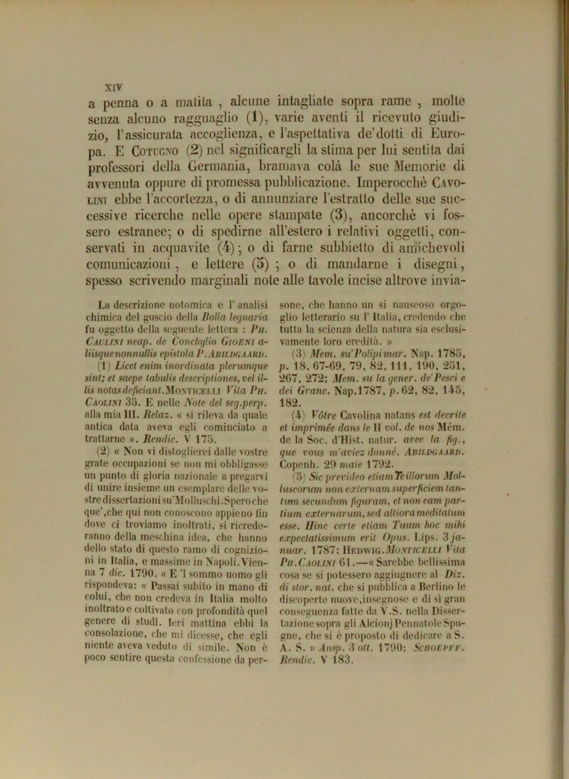a penna o a malila , alcune intagliate sopra rame , molte senza alcuno ragguaglio (1), varie aventi il ricevuto giudi- zio, 1’assicurala accoglienza, e l’aspettativa de’dotti di Euro- pa. E Cotogno (2) nel significargli la stima per lui sentita dai professori della Germania, bramava colà le sue Memorie di avvenuta oppure di promessa pubblicazione. Imperocché Cavo- lini ebbe l’accortezza, o di annunziare Testratto delle sue suc- cessive ricerche nelle opere stampate (3), ancorché vi fos- sero estranee; o di spedirne all’estero i relativi oggetti, con- servati in acquavite (4) ; o di farne subbietto di amichevoli comunicazioni , e lettere (o) ; o di mandarne i disegni, spesso scrivendo marginali note alle tavole incise altrove invia- La descrizione notomica e 1’ analisi chimica del guscio della Rolla legnarla fu oggetto della seguente lettera : Pii. Caulini neap. de Conckylio Gioeni a- liisquenonnullis epistola P.Abildgaarii. (1) Licet enim inordinata plerumque sint; et saepe tabulis descriptiones,vel il- lis notasdeficiantMonticelli Vita Pii. Caolini 35. E nelle Note del seg.perp. alla mia 111. Relaz. « si rileva da quale antica data aveva egli cominciato a trattarne ». Rendic. V 175. (2) « Non vi distoglierei dalle vostre grate occupazioni se non mi obbligasse un punto di gloria nazionale a pregarvi di unire insieme un esemplare delle \o- stre dissertazioni su’Molluschi .Speroche que’,che qui non conoscono appieno fin dove ci troviamo inoltrati, si ricrede- ranno della meschina idea, che hanno dello stato di questo ramo di cognizio- ni in Italia, e massime in Napoli.Vien- na 7 die. 1790. « E '1 sommo uomo gli rispondeva: « Passai subito in mano di colui, che non credeva in Italia molto inoltrato e coltivato con profondità quel genere di studi. Ieri mattina ebbi la consolazione, che mi dicesse, che egli niente aveva veduto di simile. Non ò poco sentire questa confessione da per- sone, che hanno un si nauseoso orgo- glio letterario su 1’ Italia, credendo che tutta la scienza della natura sia esclusi- vamente loro eredità. » (3) Mem. su’Polipi mar. Nap. 1785, p. 18, 67-69, 79, 82, 1 11, 190, 251, 267, 272; Mem. su la gener. de'Pesci e dei Grane. Nap.1787, p. 62, 82, 145, 182. (4) Va tre Cavolina natans est decrite et imprimée dans le II voi. de nos Mém. de la Soc. d’Hist. natur. arce la fig., que vous tn’aviez donne. Abildgaard. Copenh. 29 male 1792. (5) Sic prevideo etiamTeillorum Mol- luscorum non exlcrnamsuperficiem tara- timi secundum figuram, et non eam par- tium externarum,sed altiorameditalum esse. Hinc certe elioni Tuum hoc mihi expectatissimum crii Opus. Lips. 3 ja- nuar. 1787: Nedwig. Monticelli Vita Pii.Caolini 61.—« Sarebbe bellissima cosa se si potessero aggiugnere al Diz. di slor. nat. che si pubblica a Berlino le discoperte nuove ,insegnose e di si gran conseguenza fatte da V.S. nella Disser- tazione sopra gli Alcionj Perniatole Spu- gne, che si è proposto di dedicare a S. A. S. » Ansp. 3 ott. 1790: Schoepff. Rendic. V 183.