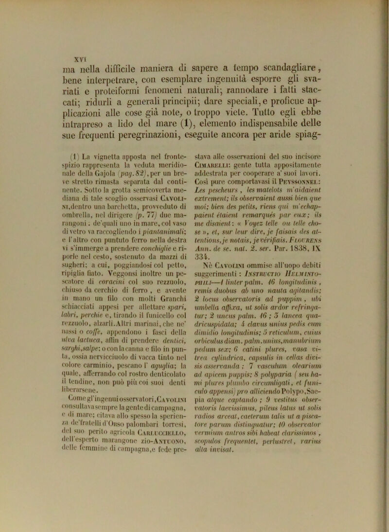 ma nella difficile maniera di sapere a tempo scandagliare, bene interpetrare, con esemplare ingenuità esporre gli sva- riati e proteiformi fenomeni naturali-, rannodare i fatti stac- cati; ridurli a generali principii; dare speciali, e profìcue ap- plicazioni alle cose già note, o troppo viete. Tutto egli ebbe intrapreso a lido del mare (1), elemento indispensabile delle sue frequenti peregrinazioni, eseguite ancora per aride spiag- (1) La vignetta apposta nel fronte- spizio rappresenta la veduta meridio- nale della Gajola (pag.82), per un bre- ve stretto rimasta separata dal conti- nente. Sotto la grotta semicoverta me- diana di tale scoglio osservasi Cavoli- ni,dentro una barchetta, provveduto di ombrella, nel dirigere (p. 77j due ma- rangoni : de’quali uno in mare, col vaso di vetro va raccogliendo i piantanimali; e l’altro con puntuto ferro nella destra vi s’immerge a prendere conchiglie e ri- porle nel cesto, sostenuto da mazzi di sugheri; a cui, poggiandosi col petto, ripiglia fiato. Veggonsi inoltre un pe- scatore di coracini col suo rezzuolo, chiuso da cerchio di ferro , e avente in mano un filo con molti Granchi schiacciati appesi per allettare sparì, labri, pecchie e, tirando il funicello col rezzuolo, alzarli.Altri marinai,che ne’ nassi o coffe, appendono i fasci della ulva lacluca, affili di prendere dentici, sorghi,salpe; o con la canna e l'ilo in pun- ta, ossia nervicciuolo di vacca tinto nel colore carminio, pescano 1’ aguglia; la (piale, afferrando col rostro denticolato il tendine, non può più coi suoi denti liberarsene. Come gl’ingenui osservatori,Cavolini consultava sempre la gente di campagna, e di mare; citava allo spesso la sperien- /a de’fratellid’ORSo palombari torresi, del suo perito agricola Carlicciello, dell esperto marangone zìo-Antuono, delle femmine di campagna,e fede pre- stava alle osservazioni del suo incisore Chiarelli: gente tutta appositamente addestrata per cooperare a’suoi lavori. Così pure comportavasi il Peyssonnel: Les peschcurs , les matelots m’aidaient extrement; ils observaient aussi bien que moi; bien des pelils, riens qui m’echap- paient étaient remarqués par eux ; ils me disaient ; « Voyez tede ou tede cho- se », et, sur leur dire, je faisais des at- tentionsyje notais, je vérifiais. Flqurens Ann. de se. rial. 2. ser. Par. 1838, IX 334. Nè Cavolini ommise all’uopo debiti suggerimenti : Instructio Helmisto- puili—/ linler paini. 46 longitudinis , remis duobits ab uno nauta agitandis; 2 locus observaloris ad puppim , ubi umbella affixa, ut solis ardor refringa- tur; 2 uncus paini. 46 ; 3 lancea qua- dricuspidata; h clavus uniuspedis rum dimidio longitudinis; 3 reticulum, cuius orbiculus diam. paini, unius, man ubri um pedum sex; 6 catini plures, rasa vi- trea cylindrica, capsulis in cedas divi- sis osservando ; 7 vasculum olearium ad apicem puppis; 8 poUjparia ( seu ho- mi plures piumini circumligali, et funi- culo appaisi)prò adiciendoPolypo,Sae- pia atque captando ; .9 vestitus obser- valoris laevissimus, pileus latus ut solis radios arceat, caeterum lalis ut a pisca- lore panini distinguatur; 40 observator vermium antros sibi habeat clarissimos , scopulos frequentet, perluslrel, rarius alla invisa!.
