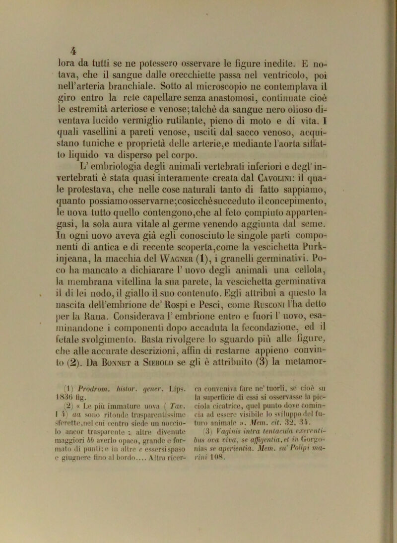 lora da tutti se ne potessero osservare le figure inedite. E no- tava, che il sangue dalle orecchiette passa nel ventricolo, poi nell’arteria branchiale. Sotto al microscopio ne contemplava il giro entro la rete capellare senza anastomosi, continuate cioè le estremità arteriose e venose; talché da sangue nero olioso di- ventava lucido vermiglio rutilante, pieno di moto e di vita. I quali vasellini a pareti venose, usciti dal sacco venoso, acqui- stano tuniche e proprietà delle arterie,e mediante l’aorta sillàl- to liquido va disperso pel corpo. L’ embriologia degli animali vertebrati interiori e degl’in- vertebrati è stata quasi interamente creata dal Cavolini: il qua- le protestava, che nelle cose naturali tanto di fatto sappiamo, quanto possiamo osservarne;cosicché succeduto il concepimento, le uova tutto quello contengono,che al feto compiuto apparten- gasi, la sola aura vitale al germe venendo aggiunta dal seme. In ogni uovo aveva già egli conosciuto le singole parti compo- nenti di antica e di recente scoperta,come la vescichetta Purk- injeana, la macchia del Wagner (1), i granelli germinativi. Po- co ha mancato a dichiarare 1’ uovo degli animali una cedola, la membrana vitellina la sua parete, la vescichetta germinativa il di lei nodo, il giallo il suo contenuto. Egli attribuì a questo la nascita dell’embrione de’ Rospi e Pesci, come Rusconi l’ha detto per la Rana. Considerava 1’ embrione entro e fuori 1 uovo, esa- minandone i componenti dopo accaduta la fecondazione, ed il fetale svolgimento. Basta rivolgere lo sguardo più alle figure, che alle accurate descrizioni, affini di restarne appieno convin- to (2). Da Bonnet a Siebol» se gli è attribuito (3) la melamor- (1) Prodromi. Iùnior, gener. Lips. 1836 lig. (2) « Le più immature uova ( Tav. I ì) aa sono ritonde trasparentissime sferette,nel cui centro siede un noccio- lo ancor trasparente : altre divenute maggiori bb averlo opaco, grande e for- mato di punti; e in altre r essersispaso e giugnere fino al bordo.... Altra ricer- ca conveniva fare ne’tuorli, se cioè su la superficie di essi si osservasse la pie- noia cicatrice, quel punto dove comin- cia ad essere visibile lo sviluppo del fu- turo animale ». Meni. rii. 3*2, 3i. 3i Vaginis intra tentacula exere mi i- bus oca viva, se alfir/entia, et in Gorgo- nias se aperienlia. Meni, su’ Polipi ma- rini 108.