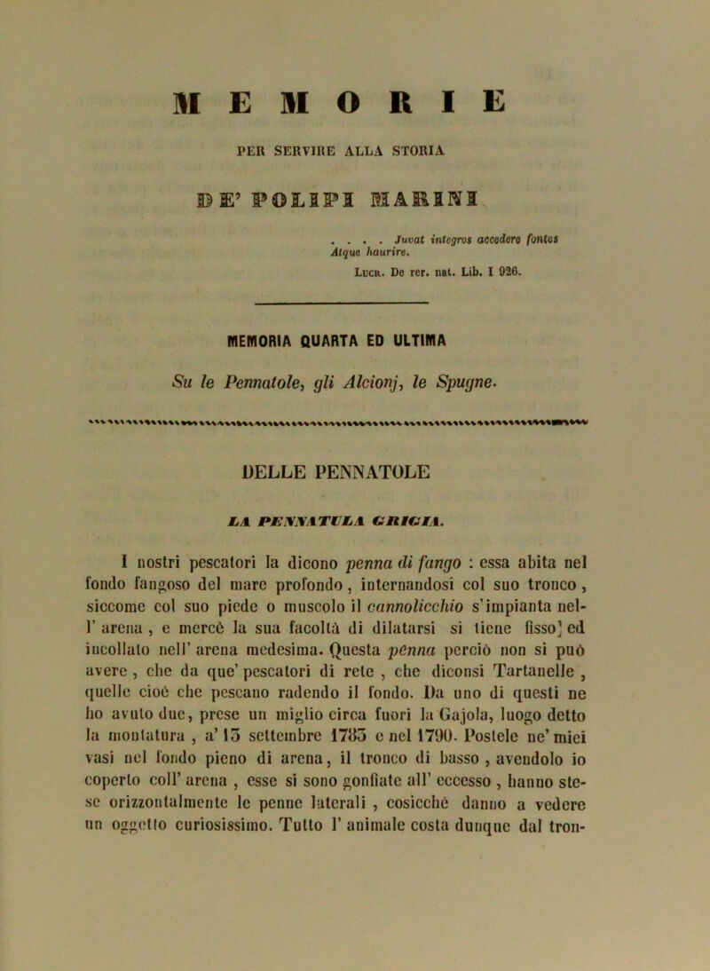 MEMORIE PER SERVIRE ALLA STORIA DE’ FOIIFS MARINI . . . . Juvat integros accedere fontes Atque haurire. Lucr. De rer. nat. Lib. I 926. MEMORIA QUARTA ED ULTIMA Su le Perniatole, gli Alcionj, le Spugne. DELLE PENNATOLE tl RE ALATILA GRÌGIA. I nostri pescatori la dicono penna di fango : essa abita nel fondo fangoso del mare profondo, internandosi col suo tronco, siccome col suo piede o muscolo il cannolicchio s’impianta nel- 1’ arena , e mercè la sua facoltà di dilatarsi si tiene fisso' ed incollalo nell’ arena medesima. Questa penna perciò non si può avere , che da que’ pescatori di rete , che diconsi Tartanelle , quelle cioè che pescano radendo il fondo. Da uno di questi ne ho avuto due, prese un miglio circa fuori la Gajola, luogo detto la montatura , a’ 15 settembre 1785 e nel 1790. Postele ne’miei vasi nel fondo pieno di arena, il tronco di basso , avendolo io coperto coll’ arena , esse si sono gonfiate all’ eccesso , hanno ste- se orizzoulalmcnte le penne laterali , cosicché danno a vedere un oggetto curiosissimo. Tutto 1’ animale costa dunque dal tron-