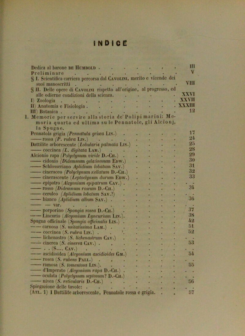 ìndice Dedica al barone de IIcmbold M Preliminare V § I. Scientifica carriera percorsa dal Cavolini, medio e vicende dei suoi manoscritti Vili § li. Delle opere di Cavolini rispetto all’origine, al progresso, ed alle odierne condizioni della scienza. ... . XXVI I) Zoologia XXVII II) Anatomia e Fisiologia ....•••• XXXIII III) Botanica 12 Memorie per servire alla storia de’Polipi marini: Me- moria quarta ed ultima su le Pennatole, gli Alcionj, la Spugne. Pennatola grigia (Pcnncttula grisea Lin.) . - - • • 1” rossa (P. rubra Lin.) .....•• 24 Dattilite arborescente (Lobularia palmata Lin.) .... 25 coccinea (L. digitata Lam.) ...... 28 Alcionio rapa (Polyclynum viride D.-Cn.) 20 cidonio (Didcmnum gelatinosum Enw.) .... 30 Schlosseriano Aplidium lobatum Sav.) . • • • 31 cineraceo (Polyclynum stellatimi D.-Cii.) .... 32 cinerascente (Leploclynum durum Edw.) .... 33 epipatro (Alcyonium epipatrum Cav.) rosso (Didemnum roseum D.-Cii.) ..... 34 ceruleo (Aplidium lobatum Sav.?) .....•• bianco (Aplidium album Sav.) 36 — var. ... porporino (Spongia rosea D.-Cii.) ..... 37 Lincurio (Alcyonium Lyncurium Lin.) 38 Spugna officinale (Spongia ofjìcinalis Lin.) ..... 42 carnosa (S. citatissima Lam.) 51 coccinea (5. rubra Lin.) . . * 52 lichenastro (S. lichenaslrum Cav.) .....•• —- cinerea (5. cinerea Cav.) . , 53 —— « . iy S.... Cav .). . . . . . . . • • ascidioidea (Alcyonium ascidioides Gm.) .... 54 rosea (S. rubens Pall.) . ramosa (5. tomentosa Lin.) 55 d’Imperato (Alcyonium rapa D.-Cii.) oculata (Polyclynum septosuml D.-Cii.) nivea (S. reticularis D.-Cu.) 56 Spiegazione delle tavole: . . . . * . . , . . .