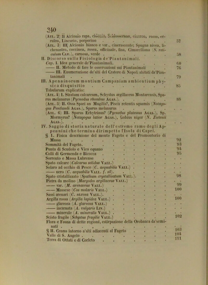 ruleo, Lincurio, porporino ....... (Atl. 3) 111; Alcionio bianco e var., cinerascente; Spugna nivea, li- clienastro, coccinea, rosea, oflicinale, fina, Cimarelliana (S. reli- culum Cav.), carnosa, verde II. Discorso sulla Fisiologia de’Piantanimali. Cap. I. Idea generale de’Piantanimali. . II. Metodo di lare le osservazioni sui Piantanimali HI. Enumerazione de’siti del Cratere di Napoli abitati da’Pian- tanimali III. Apenninorum montium Campaniam ambientium pii y- sicadisquisitio Tabularum explicatio: (Atl. 4) 1. Stratum calcareum, Schystus argillacea Montarensis, Spa- rus melanurus (Pycnodus rhombus Agas.) (Atl. 5) II. Ossa Spari an Mugilis?, Piscis retentis squamis (Nolago- (jus Pentlandi Agas.), Sparus melanurus ..... (Atl. 6) IH. Sparus Erhytrinus? (Pycnodus platessus Agas.), Sp. Mormyrus? (Notagogus latior Agas.), Gobius niger (N. Zietenii Agas.). 1Y. Saggio di storia naturale de 11’e stremo ramo degli Ap- po n nini che termina dir impetto l’Isola di Capri. § 1. Fisica descrizione del monte Fageto e del Promontorio di Massa .......... Sommità del Fageto Punta di Scudolo e Vico equano Colli di Germcnda e Bicocca Sorrento e Massa Lubrense Spato calcare (Calcarus solidus Vali..) Solaro ad occhio di Pesce (C. acquabilis Vall.) .... nero (C. aequabilis Vall. f. sii). . ... . Spato cristallizzato (Spathum crystallisatum Vall.). Pietra da molino (Margodes argillaccus\ all.) . . , var. (M. arcnaceus Vall.) Massese (Cos molaris Vall.) Sassi arenari (C. saxosa Vall.). Argilla rossa (Argilla lapidea Vall.) giareosa {A. giareosa Vall.) incarnata (A. vulgarìs Lin.) minerale {A. mineralis Vall.) ...... Scisto fragile (Schystus fragilis Vall.) Flora e Fauna di dette regioni, estirpazione della Orobanca da’semi- liciti • • « j « » • • • • § li. Cenno intorno a’siti adiacenti al Fageto . Valle di S. Angelo Terra di Ottati e di Corleto