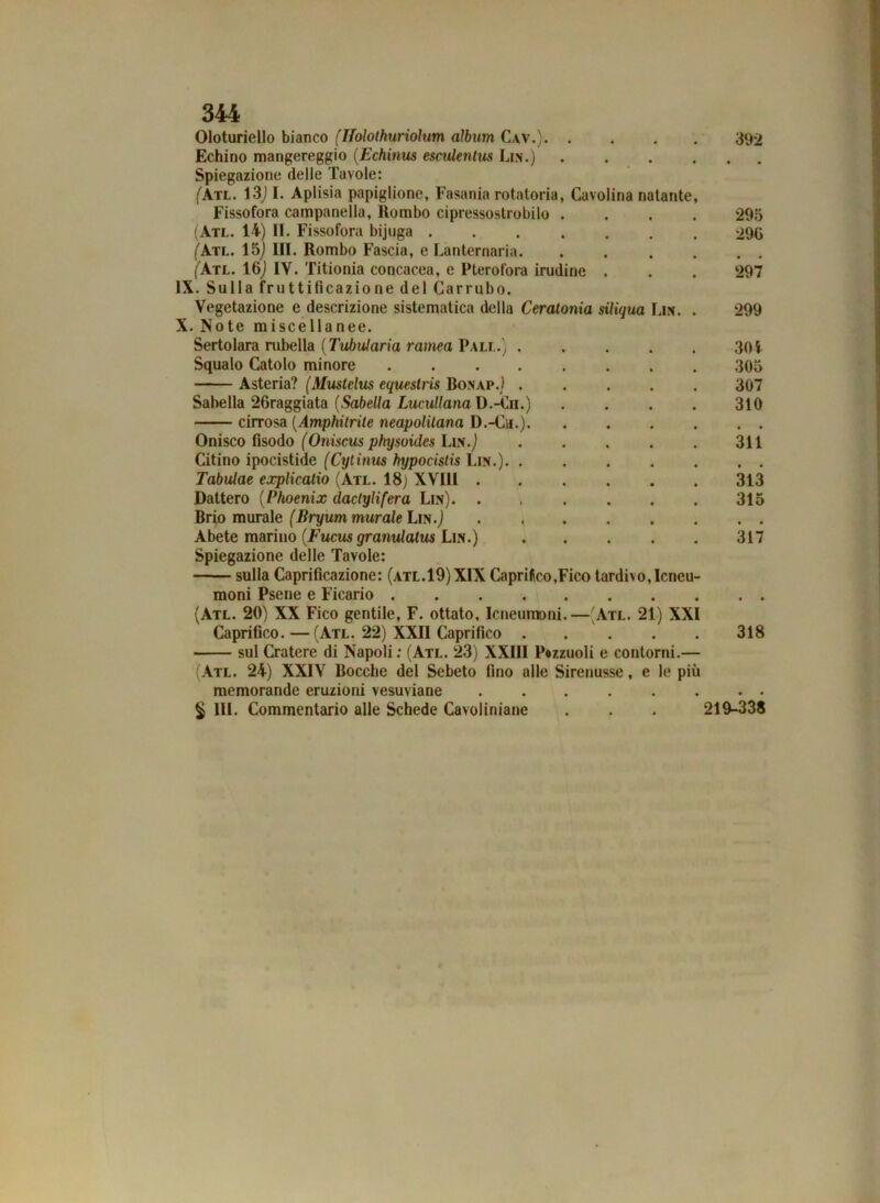 Oloturiello bianco (Ifolothuriolum àlbum Cav.) 392 Echino mangereggio (.Echinus esculentus Lin.) Spiegazione delle Tavole: (Atl. 13) I. Aplisia papiglione, Fasania rotatoria, Cavolina natante, Fissofora campanella, Rombo cipressostrobilo .... 295 (Atl. 14) II. Fissofora bijuga 29G (Atl. 15) III. Rombo Fascia, e Lanternaria (Atl. 16) IV. Titionia concacea, e Pterofora irudine . . . 297 IX. Sulla fruttificazione del Carrubo. Vegetazione e descrizione sistematica della Ceratonia siliqua Lin. . 299 X. Note miscellanee. Sertolara rubella (Tubularia ramea Pali..) . Squalo Catolo minore .... Asteria? (Mustelus equestrìs Bonap.) . Sabella 26raggiata (Sabella Lucullana D.-Ch.) cirrosa (Amphilrite neapolilana D.-Cu.). Onisco fisodo (Oniscus physoidcs Lin.) Citino ipocistide (Cytinus hypocistis Lin.). . Tabulae explicatio (Atl. 18; XVIII . Dattero (Phoenix dactylifera Lin). . > Brio murale (Bryum murale Lin.) . , Abete marino (Fucus granulatus Lin.) Spiegazione delle Tavole: sulla Caprificazione: (atl.19) XIX Caprifico,Fico tardivo, Icneu- moni Psene e Ficario (Atl. 20) XX Fico gentile, F. ottato. Icneumoni.—(Atl. 21) XXI Caprifico. — (Atl. 22) XXII Caprifico 318 sul Cratere di Napoli : (Atl. 23) XXIII Fazzuoli e contorni.— (Atl. 24) XXIV Rocche del Sebeto fino alle Sirenusse, e le più memorande eruzioni vesuviane ....... § 111. Commentario alle Schede Cavoliniane . . . 219-338 301 305 307 310 311 313 315 317