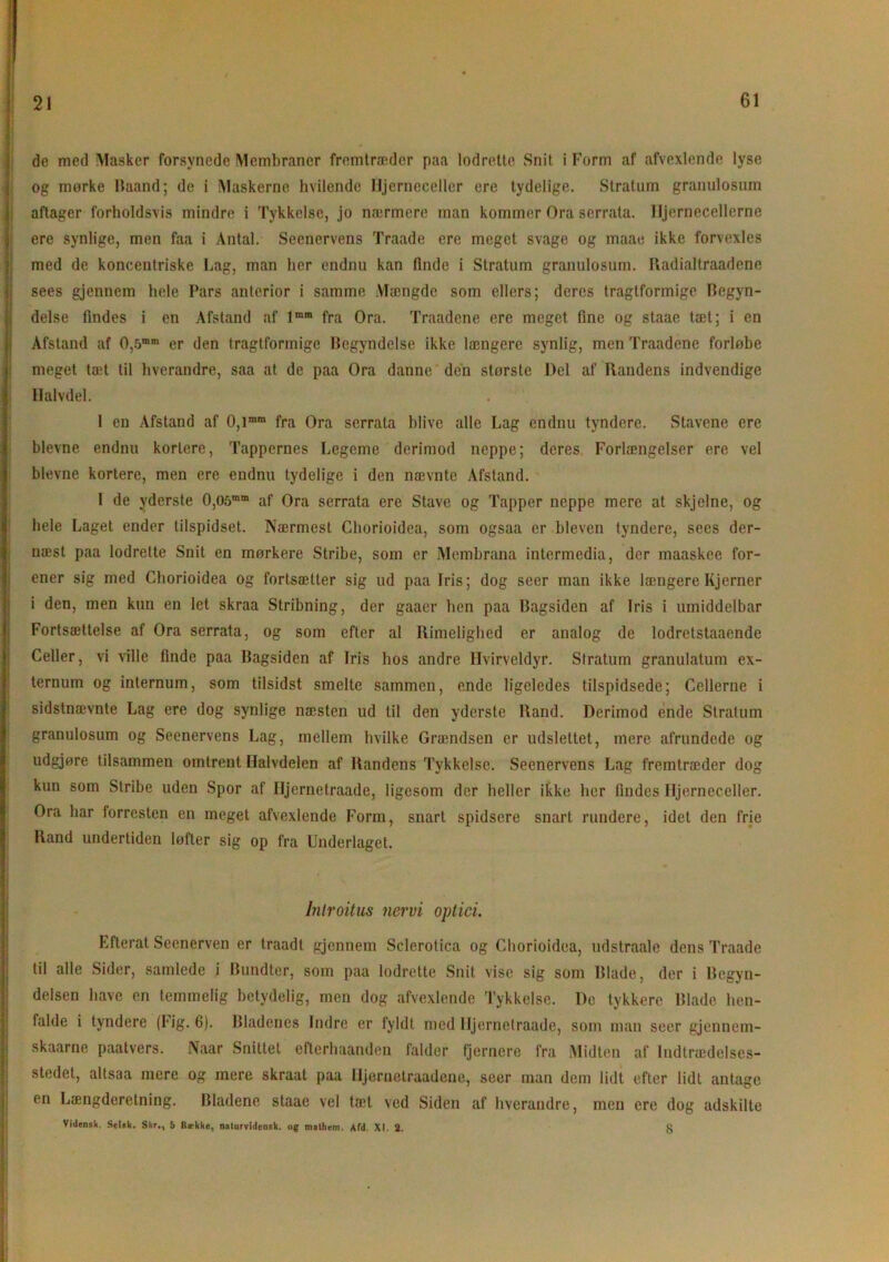 de med Masker forsynede Membraner fremtræder paa lodrette Snit i Form af afvexlende lyse og mørke Haand; de i Maskerne hvilende Hjerneceller ere tydelige. Stratum granulosum aftager forholdsvis mindre i Tykkelse, jo nærmere man kommer Ora serrata. Hjernecellerne ere synlige, men faa i Antal. Seenervens Traade ere meget svage og maae ikke forvexles med de koncentriske Lag, man her endnu kan linde i Stratum granulosum. Radialtraadene sees gjennem hele Pars anterior i samme Mængde som ellers; deres tragtformige Begyn- delse findes i en Afstand af lmm fra Ora. Traadene ere meget fine og staae tæt; i en Afstand af 0,5m,n er den tragtformige Begyndelse ikke længere synlig, men Traadene forløbe meget tæt til hverandre, saa at de paa Ora danne den største Del af Ilandens indvendige Halvdel. I en Afstand af 0,imm fra Ora serrata blive alle Lag endnu tyndere. Stavene ere bievne endnu kortere, Tappernes Legeme derimod neppe; deres Forlængelser ere vel bievne kortere, men ere endnu tydelige i den nævnte Afstand. I de yderste 0,05mm af Ora serrata ere Stave og Tapper noppe mere at skjelne, og hele Laget ender tilspidset. Nærmest Chorioidea, som ogsaa er bleven tyndere, secs der- næst paa lodrette Snit en mørkere Stribe, som er Membrana intermedia, der maaskee for- ener sig med Chorioidea og fortsætter sig ud paa Iris; dog seer man ikke længere Kjerner i den, men kun en let skraa Stribning, der gaaer ben paa Bagsiden af Iris i umiddelbar Fortsættelse af Ora serrata, og som efter al Rimelighed er analog de lodretstaaende Celler, vi ville finde paa Bagsiden af Iris hos andre Hvirveldyr. Stratum granulatum ex- ternum og internum, som tilsidst smelte sammen, ende ligeledes tilspidsede; Cellerne i sidstnævnte Lag ere dog synlige næsten ud til den yderste Rand. Derimod ende Stratum granulosum og Seenervens Lag, mellem hvilke Grændsen er udslettet, mere afrundede og udgjøre tilsammen omtrent Halvdelen af Randens Tykkelse. Seenervens Lag fremtræder dog kun som Stribe uden Spor af Iljernetraade, ligesom der heller ikke her findes Hjerneceller. Ora har forresten en meget afvexlende Form, snart spidsere snart rundere, idet den frie Rand undertiden løfter sig op fra Underlaget. lnlroitus nervi optici. Efterat Seenerven er traadt gjennem Sclerotica og Chorioidea, udstraale dens Traade til alle Sider, samlede i Bundter, som paa lodrette Snit vise sig som Blade, der i Begyn- delsen have en temmelig betydelig, men dog afvexlende Tykkelse. De tykkere Blade hen- falde i tyndere (Fig. 6). Bladenes Indre er fyldt med Iljernetraade, som man seer gjennem- skaarne paatvers. Naar Snittet efterhaanden falder fjernere fra Midten af Indtrædelses- stedet, altsaa mere og mere skraat paa Hjernetraadene, seer man dem lidt efter lidt antage en Længderetning. Bladene staae vel tæt ved Siden af hverandre, men ere dog adskilte Vidensk. Scl«k. Skr., 5 Bække, nalurvidcnsk. og mulhem. Afd. XI. 2.