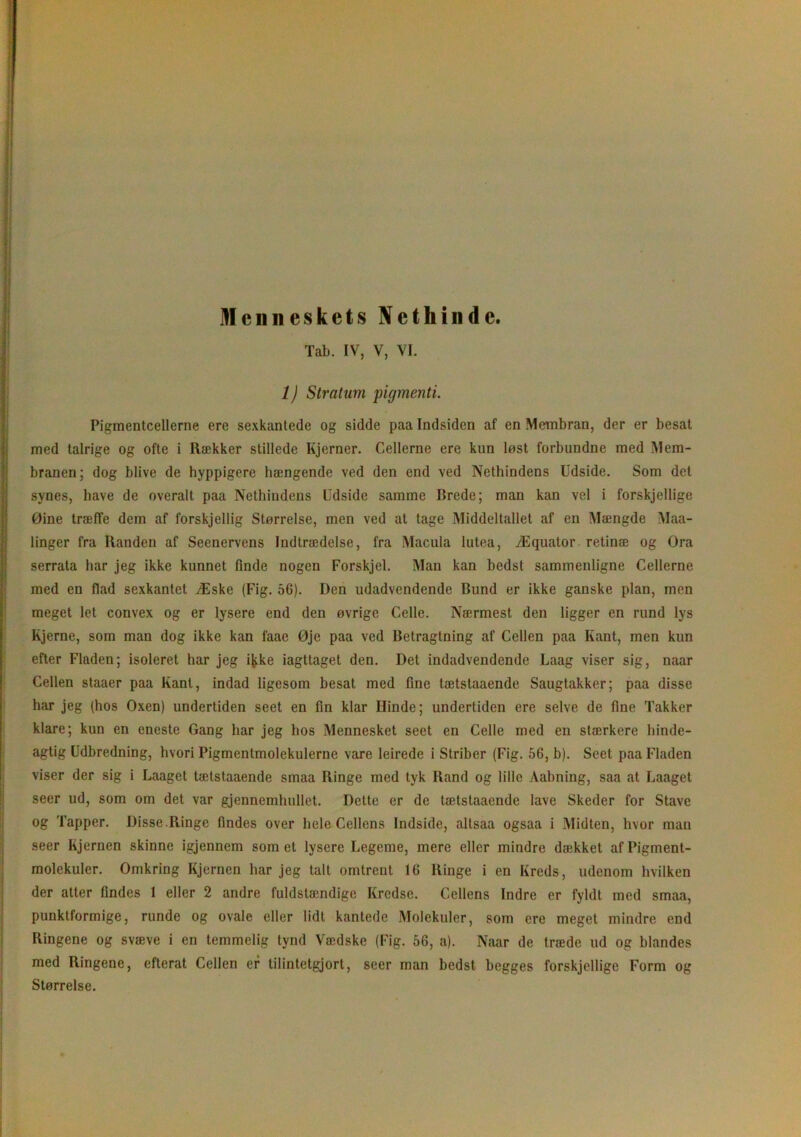 Menneskets Nethinde. Tab. IV, V, VI. 1) Stratum pigmenti. Pigmentcellerne ere sexkantede og sidde paa Indsidcn af en Membran, der er besat med talrige og ofte i Rækker stillede Kjerner. Cellerne ere kun lost forbundne med Mem- branen; dog blive de hyppigere hængende ved den end ved Nethindens Udside. Som det synes, have de overalt paa Nethindens Udside samme Brede; man kan vel i forskjellige Øine træffe dem af forskjellig Størrelse, men ved at tage Middeltallet af en Mængde Maa- linger fra Randen af Seenervens Indtrædelse, fra Macula lutea, Æqualor retinæ og Ora serrata har jeg ikke kunnet finde nogen Forskjel. Man kan bedst sammenligne Cellerne med en flad sexkantet Æske (Fig. 56). Den udadvendende Bund er ikke ganske plan, men meget let convex og er lysere end den øvrige Celle. Nærmest den ligger en rund lys Kjerne, som man dog ikke kan faae Øje paa ved Betragtning af Cellen paa Kant, men kun efter Fladen; isoleret har jeg i^ke iagttaget den. Det indadvendende Laag viser sig, naar Cellen staacr paa Kant, indad ligesom besat med fine tætstaaende Saugtakker; paa disse har jeg (hos Oxen) undertiden seet en fin klar Ilinde; undertiden ere selve de fine Takker klare; kun en eneste Gang har jeg hos Mennesket seet en Celle med en stærkere hinde- agtig Udbredning, hvori Pigmentmolekulerne vare leirede i Striber (Fig. 56, b). Seet paa Fladen viser der sig i Laaget tætstaaende smaa Ringe med tyk Rand og lille Aabning, saa at Laaget seer ud, som om det var gjennemhullet. Dette er de tætstaaende lave Skeder for Stave og Tapper. Disse .Ringe findes over hele Cellens Indside, altsaa ogsaa i Midten, hvor man seer Iijernen skinne igjennem som et lysere Legeme, mere eller mindre dækket afPigment- molekuler. Omkring Kjernen har jeg talt omtrent 16 Ringe i en Kreds, udenom hvilken der atter findes 1 eller 2 andre fuldstamdige Kredse. Cellens Indre er fyldt med smaa, punktformige, runde og ovale eller lidt kantede Molekuler, som ere meget mindre end Ringene og svæve i en temmelig tynd Vædske (Fig. 56, a). Naar de træde ud og blandes med Ringene, efterat Cellen er tilintetgjort, seer man bedst begges forskjellige Form og Størrelse.