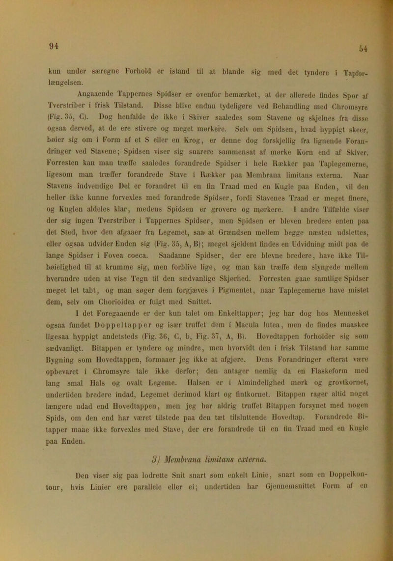 54 kun under særegne Forhold er istand til at blande sig med det tyndere i Tapfor- længelsen. Angaaende Tappernes Spidser er ovenfor bemærket, al der allerede tindes Spor af Tværstriber i frisk Tilstand. Disse blive endnu tydeligere ved Behandling med Chromsyre (Fig. 35, C). Dog henfalde de ikke i Skiver saaledes som Stavene og skjelnes fra disse ogsaa derved, at de ere stivere og meget mørkere. Selv om Spidsen, hvad hyppigt skeer, boier sig om i Form af et S eller en Krog, er denne dog forskjellig fra lignende Foran- dringer ved Stavene; Spidsen viser sig snarere sammensat af mørke Korn end af Skiver. Forresten kan man træffe saaledes forandrede Spidser i hele Rækker paa Taplegemerne, ligesom man træffer forandrede Stave i Rækker paa Membrana limitans externa. ISaar Stavens indvendige Del er forandret til en lin Traad med en Kugle paa Enden, vil den heller ikke kunne forvexles med forandrede Spidser, fordi Stavenes Traad er meget finere, og Kuglen aldeles klar, medens Spidsen er grovere og mørkere. I andre Tilfælde viser der sig ingen Tverstriber i Tappernes Spidser, men Spidsen er bleven bredere enten paa det Sted, hvor den afgaaer fra Legemet, saæ at Grændsen mellem begge næsten udslettes, eller ogsaa udvider Enden sig (Fig. 35, A, B); meget sjeldent findes en Udvidning midt paa de lange Spidser i Fovea coeca. Saadanne Spidser, der ere bievne bredere, have ikke Til- bøielighed til at krumme sig, men forblive lige, og man kan træffe dem slyngede mellem hverandre uden at vise Tegn til den sædvanlige Skjørhed. Forresten gaae samtlige Spidser meget let tabt, og man søger dem forgjæves i Pigmentet, naar Taplegemerne have mistet dem, selv om Chorioidea er fulgt med Snittet. 1 det Foregaaende er der kun talet om Enkelttapper; jeg har dog hos Mennesket ogsaa fundet Doppeltapper og især truffet dem i Macula lutea, men de findes maaskee ligesaa hyppigt andetsteds (Fig. 36, C, b, Fig. 37, A, B). Hovedtappen forholder sig som sædvanligt. Bitappen er tyndere og mindre, men hvorvidt den i frisk Tilstand har samme Bygning som Hovedtappen, formaaer jeg ikke at afgjøre. Dens Forandringer efterat være opbevaret i Chromsyre tale ikke derfor; den antager nemlig da en Flaskeform med lang smal Hals og ovalt Legeme. Halsen er i Almindelighed mørk og grovtkornet, undertiden bredere indad, Legemet derimod klart og fintkornet. Bitappen rager altid noget længere udad end Hovedtappen, men jeg har aldrig truffet Bitappen forsynet med nogen Spids, om den end har været tilstede paa den tæt tilsluttende Hovedtap. Forandrede Bi- tapper maae ikke forvexles med Stave, der ere forandrede til en fin Traad med en Kugle paa Enden. 3) Membrana limitans externa. Den viser sig paa lodrette Snit snart som enkelt Linie, snart som en Doppelkon- tour, hvis Linier ere parallele eller ei; undertiden har Gjennemsnittet Form af en