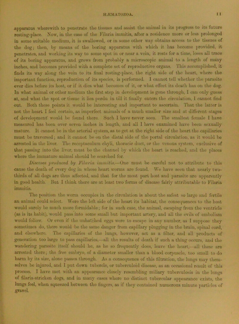 apparatus wherewith to penetrate the tissues ami assist the animal in its jirogress to its future resting-place. Now, in the case of the Filaria innnitis, after a residence more or less prolonged in some suitable metlium, it is swallowed, or in some other way obtains access to the tissues of the dog; then, by means of the boring apparatus with which it has become provided, it penetrates, and working its way to some spot in or near a vein, it rests for a time, lo.ses all trace of its boring api)aratus, and grows from probably a microscopic animal to a l(;ngth of many inches, and becomes provided with a complete set of reproductive organs. This accomplished, it finds its way along the vein to its final re.sting-place, the right .side of the heart, where the important function, reproduction of its species, is performed. I cannot tell whether the ]>arasite ever dies before its host, or if it dies what becomes of it, or what eftect its dt,*atli has on the dog. In what animal or other medium the first step in develo])rnent is gone through, I can only guess at, and what the spot or tissue it lies perdu in till it finally enters the circulation, I cannot find out. Both these points it would be interesting and important to ascertain. That the latter is not the heart I feel liertain, as imperfect animals of a much smaller size and at different stages of develo[)menf would be found there. Such I have never seen. The smallest female I have measured has been over seven inches in length, and all I have examined have been sexually mature. It cannot be in the arterial system, as to got at the right side of the heart the capillaries must be traversed; and it cannot be on the distal side of the jwrtal circulation, as it would be arrested in the liver. The receptaculum chyli, thoracic duct, or the venous s}’stem, exclusive of that passing into the liver, must be the channel by which the heart is reached, and the places where the immature animal should be searched for. Disennes 2>i'oc(uce.d by Filaria Immitia.—One must be careful not to attribute to this cause the death of every dog in wliose heart worms are found. We have seen that nearly two- thirds of all dogs are thus affected, and that for the most j)art host and parasite are apparently in good health. But I think there are at least two forms of disease fairly attributable to Filaria immitis. The position the worm occupies in the circulation is about the safest so large and fertile an animal could select. Were the left side of the heart its habitat, the consetpiences to the host would surely be much more formidable; for in such case, the animal, escaping from the ventricle (as is its liabit), would pass into some small but important artery, and all the evils of embolism would follow. Or even if the unhatched eggs were to escape in any number, as I suppose they sometimes do, there would be the same danger from ca[)illary ])lugging in the brain, sj)inal cord, and elsewhere. The capillaries of the lungs, however, act as a filter, and tdl products of generation too large to pass capillaries,—all the results of death if such a thing occurs, and the wandering j^arasite itself should he, as he so frequently does, leave the lu;art,—all these are arrested there; the free embryo, of a diameter smaller than a blood cor]aiscle, too small to do harm by its size, alone passes through. As a consequence of this filtration, the lungs may them- selves be injured, and I ])ut down tubercle, or tuberculoid disease, as an occasional result of this process. I have met with an a])])carance closely resembling miliary tuberculosis in the lungs of filaria-stricken dogs, and in many cases where no distinct tubercular a])])earance exists, the lungs feel, when squeezed between the fingers, as if they contained numerous minute ]>articles of gravel.