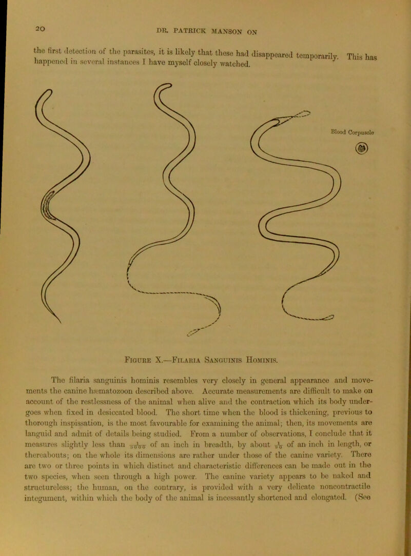 the first ,Ietecti.)n of tlie parasites, it is likely that these had disappeared temporarily. This has happened in several instances I have myself closely watched. ^ Figure X.—Filaria Sanguinis Hominis. The filaria sanguinis hominis resembles very closely in general appearance and move- ments the canine hiematozoon described above. Accurate measurements are difficult to make on account of the restlessness of the animal when alive and the contraction which its body under- goes when fixed in desiccated blood. The short time when the blood is thickening, previous to thorough inspis.sation, is the most favourable for examining the animal; then, its movements are languid and admit of details being studied. From a number of observations, I conclude that it measures slightly less than of an inch in breadth, by about of ‘'’'O inch in length, or thei'oabouts; on the whole its dimensions are rather under those of the canine variety. There are two or three points in which distinct and characteristic differences can be made out in the two species, when seen through a high power. The canine variety appears to be naked and structureless; the human, on the contrary, is provided with a very delicate noncontractile integument, within which the body of the animal is incessantly shortened and elongated. (See