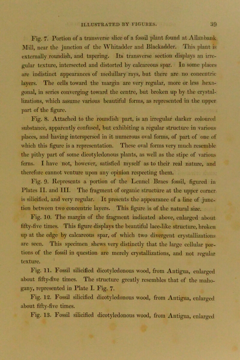 Fig. 7. Portion of a transverse slice of a fossil plant found at Allan bank Mill, near the junction of the Whitadder and Blackadder. This plant is externally roundish, and tapering. Its transverse section displays an irre- gular texture, intersected and distorted by calcareous spar. In some places are indistinct appearances of medullary rays, but there are no concentric layers. The cells toward the margin are very regular, more or less hexa- gonal, in series converging toward the centre, but broken up by the crystal- lizations, which assume various beautiful forms, as represented in the upper part of the figure. Fig. 8. Attached to the roundish part, is an irregular darker coloured substance, apparently confused, but exhibiting a regular structure in various places, and having interspersed in it numerous oval forms, of part of one of which this figure is a representation. These oval forms very much resemble the pithy part of some dicotyledonous plants, as well as the stipe of various ferns. I have not, however, satisfied myself as to their real nature, and therefore cannot venture upon any opinion respecting them. Fig. 9. Represents a portion of the Lennel Braes fossil, figured in Plates II. and III. The fragment of organic structure at the upper corner is silicified, and very regular. It presents the appearance of a line of junc- tion between two concentric layers. This figure is of the natural size. Fig. 10. The margin of the fragment indicated above, enlarged about fifty-five times. This figure displays the beautiful lace-like structure, broken up at the edge by calcareous spar, of which two divergent crystallizations are seen. This specimen shews very distinctly that the large cellular por- tions of the fossil in question are merely crystallizations, and not regular texture. Fig. 11. Fossil silicified dicotyledonous wood, from Antigua, enlarged about fifty-five times. The structure greatly resembles that of the maho- gany, represented in Plate I. Fig. 7. Fig. 12. Fossil silicified dicotyledonous wood, from Antigua, enlarged about fifty-five times. Fig. 13. Fossil silicified dicotyledonous wood, from Antigua, enlarged
