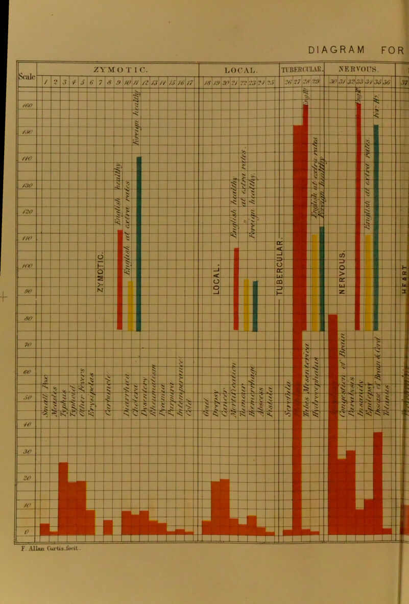 DIAGRAM FOR f tuberculab NEEVOTS ZYMO T IC 3ui/\3o F Allan Cur-tis.i'eeil r^ii