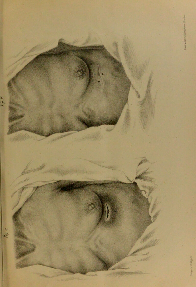 ut r y KreiiAntr jiwZtM