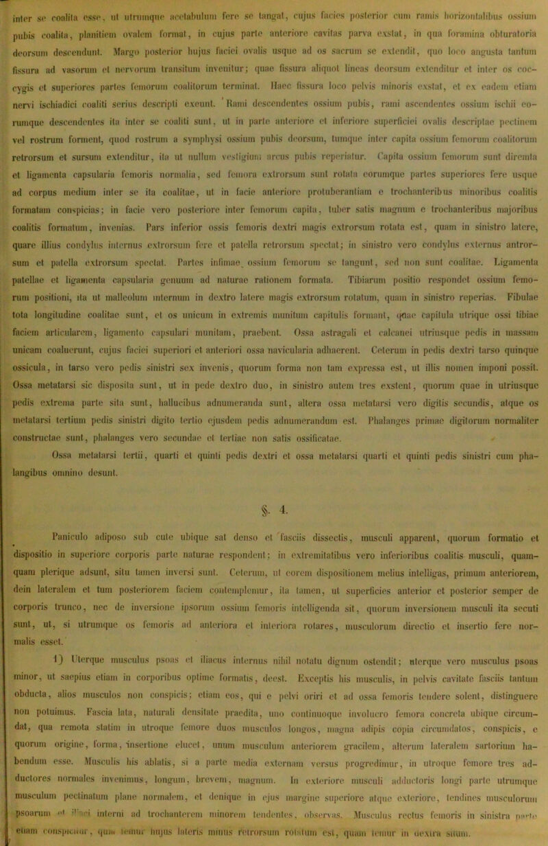 inlor so conlila osso, ut ulnimqiio aoclJihulutu fero so tangat, cujus facies posterior cum ramis liorizoufalilms ossium pubis coalita, planitiem ovalem format, in cujus parte anteriore cavitas parva exstat, in (jua foramina obturatoria deorsum descendunt. Margo posterior hujus faciei ovalis us(juc ad os sacrum se evtendit, quo loco angusta tantum fissura ad vasorum et iu'rvorum transitum invenitur; quae fissura aliquot lineas deorsum extenditur et inter os (‘oc- cygis et superiores partes femorum coalitorum terminat. Haec fissura loco pelvis minoris exstat, et ex eadem etiam nervi ischiadici coaliti serius descripti exeunt. Hami descendentes o.ssium pubis, rami a.scendentes o.s.siuni ischii eo- iiimque descendentes ita inter se coaliti sunt, ut in parte anteriore et inferiore superficiei ovalis descriptae pectinem vel rostrum forment, (piod rostrum a sympliysi ossium pubis deorsum, tuimpie inter capita o.ssium femorum coalitoriun retrorsum et sursum extenditur, ita ut nullum vesiigium arcus pubis reperialur. Capita ossium femorum sunt diremta et ligamenta capsularia femoris normalia, sed femora e.xtrorsum sunt rotata eoriimque partes superiores fere usque ad corpus medium inter se ita coalitae, ut in facie anteriore protiiberantiam e trochanteribus minoribus coalitis formatam conspicias; in facie vero posteriore infer femorum capita, tuber satis magnum e trochanteribus majoribus coalitis formatum, invenias. Pars inferior ossis femoris dextri magis extrorsum rotata est, quam in sinistro latere, quare illius condylus iniernus extrorsum fere et patella retrorsum spectat; iu sinistro vero condylus externus antror- sum et patella extrorsum spectat. Partes infimae_ ossium femorum s(‘ tangunt, sed non sunt coalitae. Ligamenta patellae et ligamenta capsularia genuum ad naturae rationem formata. Tibiarum [lositio respondet ossium femo- rum positioni, ita ut malleolum internum in dextro latere magis extrorsum rotatum, quam in sinistro reperias. Fibulae tota longitudine coalitae sunt, et os unicum in extremis munitum capitulis formant, (i<iae capitula utrique ossi tibiae faciem articularem, ligamento capsulari munitam, praebent. Ossa astragali et calcanei utriusque pedis in massam unicam coaluerunt, cujus faciei superiori et anferioid ossa navicularia adhaerent. Ceterum in pedis dextri tarso quinque ossicula, in tarso vero jiedis sinistri sex invenis, quorum forma non tam expressa est, ut illis nomen imponi possit. Ossa metatarsi sic disposita sunt, ut in pede dextro duo, in sinistro autem tres exstent, quorum quae in utriusque pedis extrema parte sita sunt, hallucibus adnumeranda sunt, altera ossa metatarsi vero digitis secundis, atque os metatarsi tertium pedis sinistri digito tertio ejusdem pedis adnumeraudum est. Phalanges primae digitorum normaliter constructae sunt, phalanges vero secundae et tertiae non satis ossificatae. Ossa metatarsi tertii, quarti et quinti pedis dextri et ossa metatarsi quarti et quinti pedis sinistri cum pha- langibus omnino desunt. §. 4. Paniculo adiposo sub cule ubiijue sat denso et 1'asciis dissectis, musculi appai‘ent, quorum formatio et dispositio in superiore corporis parte naturae respondent; in extremitatibus vero inferioribus coalitis musculi, quam- quam plerique adsunt, situ tamen inversi sunt. Celerum, ul corem dispositionem melius intelligas, primum anteriorem, dein lateralem et tum postiTiorein faciem contemplemur, ita tamen, ut superficies anterior et posterior semper de corporis trunco, nec de inversione ipsorum ossium femoris intclligenda sit, quorum inversionem musculi ita secuti sunt, ut, si utrumque os lenioris ad anteriora et inl('riora rotares, musculorum directio et insertio fere nor- malis esset. i} Uterque musculus psoas «'I iliacus internus nihil notatu dignum ostendit; nterque vero musculus psoas minor, ut saepius etiam in corporibus ojitime formalis, deest. Fxccjitis his musculis, in pelvis cavitate fasciis tantum obducta, alios musculos non conspicis; etiam eos, qui e pelvi oriri et ad ossa femoris tendere solent, distinguere non potuimus. Fascia lata, naturali densitate praedita, uno conliiiuoque involucro femora concreta ubique circum- dat, qua remota statiiii in utroque leniore duos musculos longos, magna adipis copia circumdatos, conspicis, c quorum origine, lorma, imseilione elucet, unum musculum anteriorem gracilem, alliTum lateralem sartorium ha- bendum eisse. Musculis tiis ablatis, si a parte media externam versus progredimur, in utroque femore tres ad- ductores normales invenimus, longum, brevem, magnum. In exteriore musculi adductoris longi parte utrumque musculum pectinatum plane normalem, et deniqui* in ejus margine superiore alqiie exteriore, tendines musculorum psoarum '' iri interni ad trochanterem minorem lendeiiles, oliservas. .lUuscuhis rectus femoris in sinistra n’-ie I eoam « onspiuuii , (jui« n-miu hu|iis lateris nninis reirorsmn rotatum esi, quam leiiiur in oexira suum.