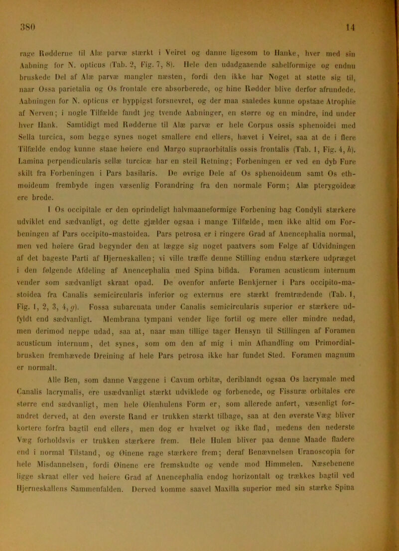 rafi:e lløddenie (il Alæ parvæ slærkl i Veiret og danne ligesom lo Manke, hver med sin Aabning for N, opliciis (Tab. 2, Fig. 7, S). Ibde den udadgaaende sabelformige og endnu bruskede Mel af Alæ parvæ mangler næsten, fordi den ikke bar Noget at støtte sig til, naar Ossa parietalia og Os frontale cre absorberede, og lune Rødder blive derfor afrundede. Aabningen for N. opticus er hyppigst forsjicvret, og der maa saaledes kunne opstaae Alropbie af Nerven; i nogle Tilfælde fandt jeg tvende Aabninger, en større og en mindre, ind under hver Hank. Samtidigt med Rødderne til Alæ parvæ er bele Corpus ossis spbenoidei med Sella turcica, som begge synes noget smallere end ellers, hævet i Veiret, saa at de i flere Tilfælde endog kunne slaae høiere end .Margo supraorbilalis ossis frontalis (Tab. 1, Fig. 4,A). Lamina perpendicularis sellæ lurcicæ bar en steil Retning; Forbeningen er ved en dyb Fure skilt fra Forbeningen i Pars basilaris. De øvrige Dele af Os spbenoideum samt Os eth- moideum frembyde ingen væsenlig Forandring fra den normale Form; Alæ pterygoideæ ere brede. I Os occipitale er den oprindeligt lialvmaaneformige Forbening bag Condyli stærkere udviklet end sædvanligt, og dette gjælder ogsaa i mange Tilfælde, men ikke altid om For- beningen af Pars occipito-mastoidea. Pars petrosa er i ringere Orad af Anencepbalia normal, men ved høiere Grad begynder den at lægge sig noget paatvers som Følge af Udvidningen af det bageste Parti af Hjerneskallen; vi ville trælfe denne Stilling endnu stærkere udpræget i den følgende Afdeling af Anencepbalia med Spina bifida. Foramen aeustieum internum vender som sædvanligt skraat opad. De ovenfor anførte Benkjerner i Pars occipito-ma- stoidea fra Canalis semicircularis inferior og externus ere stærkt fremtrædende (Tab. 1, Fig. 1, 2, 3, 4,^). Fossa subarcuata under Canalis semicircularis superior er stærkere ud- fyldt end sædvanligt. Membrana lympani vender lige fortil og mere eller mindre nedad, men derimod neppe udad, saa at, naar man tillige tager Hensyn til Stillingen af Foramen aeustieum internum, det synes, som om den af mig i min Afhandling om Primordial- brusken fremhævede Dreining af hele Pars petrosa ikke bar fundet Sted. Foramen magnum er normalt. Alle Ben, som danne Væggene i Cavum orbitæ, deriblandt ogsaa Os lacrymale med Canalis lacrymalis, ere usædvanligt stærkt udviklede og forbenede, og Fissuræ orbitales ere større end sædvanligt, men hele Øienbulens Form er, som allerede anført, væsenligt for- andret derved, at den øverstc Rand er trukken stærkt tilbage, saa at den øverste Væg bliver kortere forfra bagtil end ellers, men dog er hvælvet og ikke ilad, medens den nederstc Væg forholdsvis or trukken stærkere frem. Hele Hulen bliver paa denne Maade fladere end i normal Tilstand, og øinene rage stærkere frem; deraf Benævnelsen Uranoscopia for hele .Misdannelsen, fordi Øinene ere fremskudte og vende mod Himmelen. Næsebenene ligge skraat eller ved høiere Grad af Anencepbalia endog horizontalt og trækkes bagtil ved Hjerneskallens Sammenfalden. Derved komme saavel Maxilla superior med sin stærke Spina