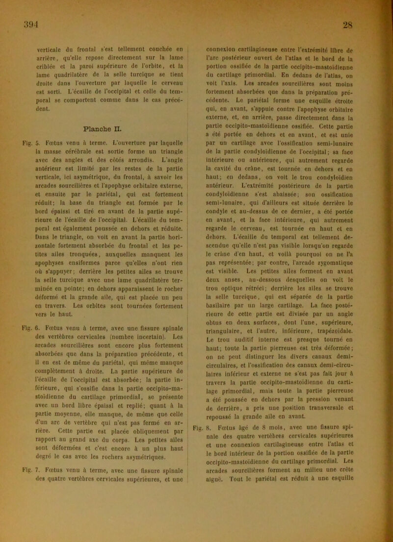 verticale du frontal s'est tellement couchée en arriére, qu’elle repose directement sur la lame criblée el la paroi supérieure de l’orbite, et la lame quadrilatére de la selle turcique se tient droite dans l'ouverture par laquelle le cerveau est sorti. L’écaillc de l’occipital et celle du tem- poral se comporlent comme dans le cas précé- dent. Planche n. b'ig. 5. Fætus venu å terme. L’ouverture par laquelle la masse cérébrale est sortie forme un triangle avec des angles et des cutés arrondis. L’angle antérieur est limité par les restes de la partie verticale, ici asymétrique, du frontal, å savoir les arcades sourciliéres et l’apophyse orbitaire externe, et ensuite par le pariétal, qui est forlement I réduit; la base du triangle est formée par le bord épaissi et tiré en avant de la partie supé- i rieure de récaille de l’occipital. L’écaille du tem- poral est également poussée en dehors et réduite. Dans le triangle, on voit en avant la partie hori- sontale fortement absorbée du frontal et les pe- titcs alles tronquées, auxquelles manquent les apophyses ensiformes parce qu’elles n’ont rien oh s’appuyer; derriére les petites alles se trouve la selle turcique avec une lame quadrilatére ter- minée en pointe; en dehors apparaissent le rocher dcformé et la grande aile, qui est placée un peu en travers. Les orbites sont tournées fortement vers le haut. I Fig. 6. Fætus venu fi terme, avec une fissure spinale des vertébres cervicales (nombre incertain). Les arcades sourciliéres sont encore plus fortement absorbées qne dans la préparation précédente, et 11 en est de méme du pariétal, qui méme manque complétement é droite. La partie supérieure de l’écaille de l’occipital est absorbée; la partie in- férieure, qui s’ossifie dans la partie occipiio-ma- stoidienne du cartilagc primordial, se présente avec un bord libre épaissi et replié; quant h la partie moyenne, elle manque, de méme que celle d’un arc de vertébre qui n’est pas fermé en ar- riére. Cette partie est placée obliquement par rapport au grand axe du corps. Les petites ailes sont déformées et c’est encore é un plus haut degré le cas avec les rochers asymélriques. Fig. 7. Fætus venu å terme, avec une fissure spinale des quatrc vertébres cervicales supcrleures, et une conncxlon cartilagineuse entre l’extrémité llbre de l’arc postérieur ouvert de l’atlas et le bord de la portion ossiflée de la partie occlpito-mastoidlenne du cartilage primordial. En dedans de l’atlas, on voit l’axis. Les arcades sourciliéres sont moins fortement absorbées que dans la préparation pré- cédente. Le pariétal forme une esquille étroite qui, en avant, s’appuie contre l’apophyse orbitaire externe, et, en arriére, passe directement dans la partie occipito-mastoidienne ossiflée. Cette partie a été portée en dehors et en avant, et est unie par un cartilage avec rossification semi-lunaire de la parlle condyloidienne de l’occipital; sa face intérieure ou antérieure, qui autrement regarde la cavité du créne, est tournée en dehors et en haut; en dedans, on voit le trou condyloidien antérieur. L’extrémité postérieure de la partie condyloidienne s'est abaissée; son ossiflcation semi-lunaire, qui d’ailleurs est située derriére le condyle et au-dessus de ce dernier, a été portée en avant, et la face intérieure, qui autrement regarde le cerveau, est tournée en haut et en dehors. L’écaille du temporal est tellement de- scendue qu’elle n’est pas visible lorsqu’on regarde le cråne den haut, et voilå pourquoi on ne l'a pas représentée; par contre, l’arcade zygomatique est visible. Les petites ailes forment en avant deux anses, au-dessous desquelles on voit le trou oplique rétréci; derriére les ailes se trouve la selle turcique, qui est séparée de la partie basilaire par un large cartilage. La face posté- rieure de cette partie est divisée par un angle obtus en deux surfaces, dont l’une, supérieure, triangulaire, et l’autre, inférieure, trapézoidale. Le trou auditif interne est presque tourné en haut; toute la partie pierreuse est trés déformée; on ne pcut dislinguer les divers canaux demi- circulaires, et l’ossillcation des canaux demi-circu- laires inférieur et externe ne s’est pas fait jour å travers la partle occipito-mastoidienne du carti- lage primordial, mais toute la parlie pierreuse a été poussée en dehors par la pression venant de derriére, a pris une position transversale et repoussé la grande aile en avant. Fig. 8. Fælus égé de 8 mols, avec une fissure spi- nale des quatrc vertébres cervicales supérleures et une connexion cartilagineuse entre l’atlas et le bord intérleur de la portion ossiflée de la partie occipito-mastoidienne du cartilagc primordial. Les arcades sourciliéres forment au milieu une crclc aigué. Tout le pariétal est réduit å une esquille