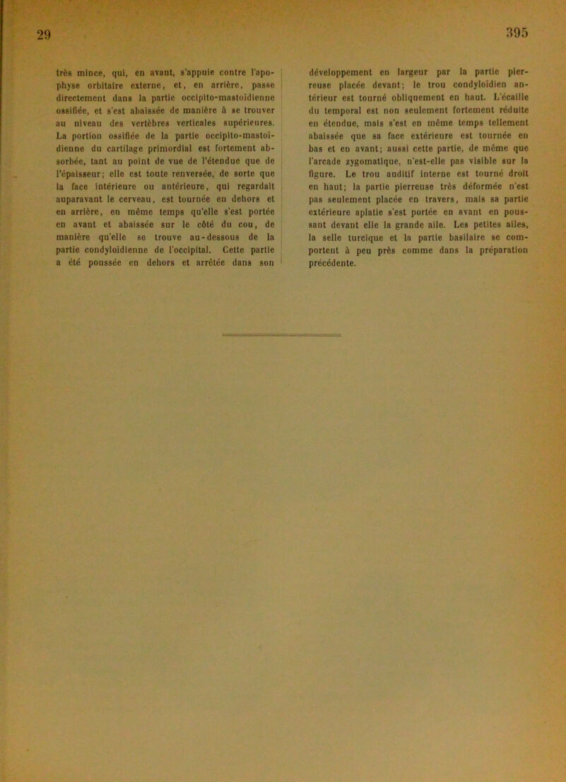 trés mince, qui, en avant, s’appuie contre l’apo- physe orbilaire externe, et, en arrlére, passe directement dans la partie occlpito-mastoldienne ossiflée, et s'est abalssée de manlére i se trouver au niveau des vertébres verticalcs supérieures. La portion ossiflée de la partle occipito-mastoi- dienne du cartilage priniordlal est forlement ab- sorbée, tant au point de vue de l’étendue que de l’épaisseur; elle est toute renversée, de sorte que la face intérieure ou antérieure, qul regardait auparavant le cerveau, est tournée en dehors et en arriére, en méme temps qu’elle s’est portée en uvant et abaissée sur le c6té du cou, de maniére qu'elle se trouve au-dessous de la partie condyloidienne de l'occipital. Cette partie a été poussée en dehors et arrétée dans son développement en largeur par la parlie pier- reuse placée devant; le trou condyloidlen an- térieur est tourné obliquement en haut. L'écaille du temporal est non seulement fortement réduite en étendue, måls s’est en méme temps lellement abaissée que sa face extérieure est tournée en bas et en avant; aussi cette partie, de méme que l’arcade zygomatlque, n’est-elle pas visible sur la flgure. Le trou auditif Interne est tourné droit en haut; la parlie pierreuse trés déformée n’est pas seulement placée en travers, mais sa partie extérieure aplalie s’est portée en avant en pous- sant devant elle la grande alle. Les petites ailes, la selle turclque et la parlie basilaire se com- portent å peu prés comme dans la préparation précédente.