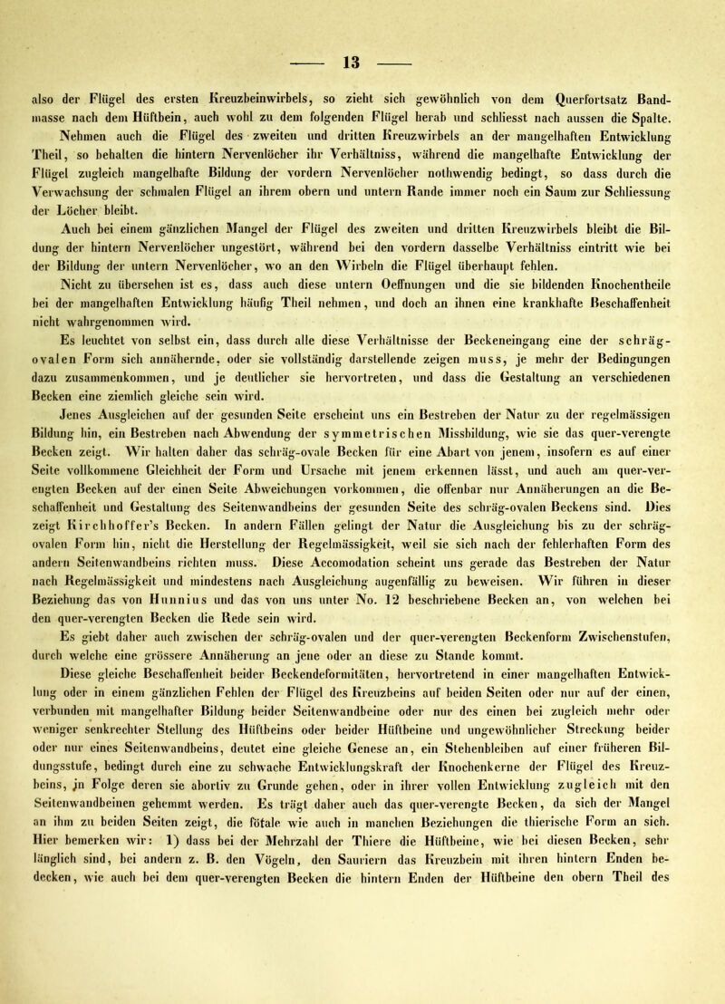 also der Flügel des ersten Kreuzbeinwirbels, so zieht sich gewöhnlich von dem Querfortsatz ßand- inasse nach dem Hüftbein, auch wohl zu dem folgenden Flügel herab und schliesst nach aussen die Spalte. Nehmen auch die Flügel des zweiten und dritten Kreuzwirbels an der maugelhaften Entwicklung Theil, so behalten die hintern Nervenlöcher ihr Verhältniss, während die mangelhafte Entwicklung der Flügel zugleich mangelhafte Bildung der vordem Nervenlöcher nothwendig bedingt, so dass durch die Verwachsung der schmalen Flügel an ihrem obern und untern Rande immer noch ein Saum zur Schliessung der Löcher bleibt. Auch bei einem gänzlichen Ölangel der Flügel des zweiten und dritten Kreuzwirbels bleibt die Bil- dung der hintern Nervenlöcher ungestört, während bei den vordem dasselbe Verhältniss eintritt wie bei der Bildung der untern Nervenlöcher, wo an den Wirbeln die Flügel überhaupt fehlen. Nicht zu übersehen ist es, dass auch diese untern Oelfnungen und die sie bildenden Knochentheile bei der mangelhaften Entwicklung häufig Theil nehmen, und doch an ihnen eine krankhafte Beschaffenheit nicht wahrgenoramen wird. Es leuchtet von selbst ein, dass durch alle diese Verhältnisse der Beckeneingaug eine der schräg- ovalen Form sich annähernde, oder sie vollständig darstellende zeigen muss, je mehr der Bedingungen dazu Zusammenkommen, und je deutlicher sie hervortreten, und dass die Gestaltung an verschiedenen Becken eine ziemlich gleiche sein wird. Jenes Ausgleichen auf der gesunden Seite erscheint uns ein Bestreben der Natur zu der regelmässigen Bildung hin, ein Bestreben nach Abwendung der symmetrischen ölissbildiing, wie sie das quer-verengte Becken zeigt. Wir halten daher das schräg-ovale Becken für eine Abart von jenem, insofern es auf einer Seite vollkommene Gleichheit der Form und Ursache mit jenem erkennen lässt, und auch am quer-ver- engten Becken auf der einen Seite Abweichungen Vorkommen, die offenbar nur Annäherungen an die Be- schaffenheit und Gestaltung des Seitenwandbeins der gesunden Seite des schräg-ovalen Beckens sind. Dies zeigt Kirchhoffer’s Becken. In andern Fällen gelingt der Natur die Ausgleichung bis zu der schräg- ovalen Form hin, nicht die Herstellung der Regelmässigkeit, weil sie sich nach der fehlerhaften Form des andern Seitenwandbeins richten muss. Diese Accomodation scheint uns gerade das Bestreben der Natur nach Regelmässigkeit und mindestens nach Ausgleichung augenfällig zu beweisen. Wir führen in dieser Beziehung das von Hunnius und das von uns unter No. 12 beschriebene Becken an, von welchen bei den quer-verengten Becken die Rede sein wird. Es giebt daher auch zwischen der schräg-ovalen und der quer-verengten ßeckenform Zwischenstufen, durch welche eine grössere Annäherung an jene oder an diese zu Stande kommt. Diese gleiche Beschaffenheit beider Beckendeformitäten, hervortretend in einer mangelhaften Entwick- lung oder in einem gänzlichen Fehlen der Flügel des Kreuzbeins auf beiden Seiten oder nur auf der einen, verbunden mit mangelhafter Bildung beider Seitenwandbeine oder nur des einen bei zugleich mehr oder weniger senkrechter Stellung des Hüftbeins oder beider Hüftbeine und ungewöhnlicher Streckung beider oder nur eines Seitenwandbeins, deutet eine gleiche Genese an, ein Stehenbleiben auf einer früheren Bil- dungsstufe, bedingt durch eine zu schwache Eiitwicklungskraft der Knochenkerne der Flügel des Kreuz- beins, jn Folge deren sie abortiv zu Grunde gehen, oder in ihrer vollen Entwicklung zugleich mit den Seitenwaudbeinen gehemmt werden. Es trägt daher auch das quer-verengte Becken, da sich der Mangel an ihm zu beiden Seiten zeigt, die fötale wie auch in manchen Beziehungen die thierische Form an sich. Hier bemerken wir: 1) dass bei der Mehrzahl der Thiere die Hüftbeine, wie bei diesen Becken, sehr länglich sind, bei andern z. B. den Vögeln, den Sauriern das Kreuzbein mit ihren hintern Enden be- decken, wie auch hei dem quer-verengten Becken die hintern Enden der Hüftbeine den obern Theil des
