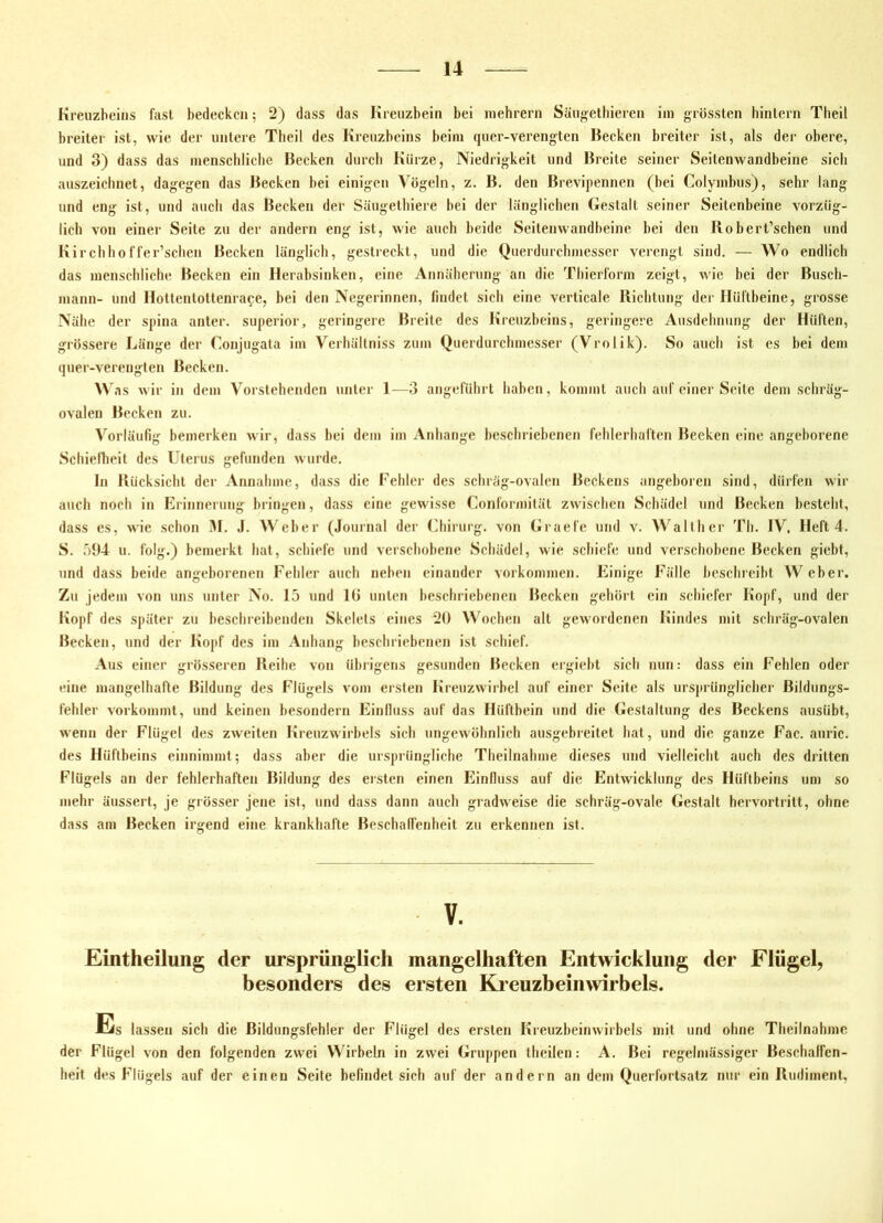 Kreuzbeins fast bedecken; 2) dass das Kreuzbein bei inehrern Sängethieren im grössten hintern Theil breiter ist, wie der untere Tbeil des Kreuzbeins beim quer-verengten Becken breiter ist, als der obere, und 3) dass das menscliliclie Becken durcli Kürze, Niedrigkeit und Breite seiner Seitenwandbeine sicli auszeichnet, dagegen das Becken bei einigen Vögeln, z. B. den Brevipennen (bei Colymbus), sehr lang und eng ist, und auch das Becken der Säugethiere bei der länglichen Gestalt seiner Seitenbeine vorzüg- lich von einer Seite zu der andern eng ist, wie auch beide Seitenwandbeine bei den Robert’schen und Kircbhoffer’schen Becken länglich, gestreckt, und die Querdurchmesser verengt sind. — Wo endlich das menschliche Becken ein Herabsinken, eine Annäherung an die Thierlbrm zeigt, wie bei der Busch- mann- und Hottentottenra^e, bei den Negerinnen, findet sich eine verticale Richtung der ilül'tbeine, grosse Nähe der spina anter. superior, geringere Breite des Kreuzbeins, geringere Ausdehnung der Hüften, grössere Länge der Conjugata im Verhältniss zum Querdurchmesser (Vrolik). So auch ist es bei dem quer-verengten Becken. W ns wir in dem Vorstehenden unter 1—3 angeführt haben, kommt auch auf einer Seite dem schräg- ovalen Becken zu. Vorläufig bemerken wir, dass bei dem im Anhänge beschriehenen fehlerhaften Becken eine angeborene Schiefheit des Uterus gefunden wurde. ln Rücksicht der Annahme, dass die Fehler des schräg-ovalen Beckens angeboren sind, dürfen wir auch noch in Erinnerung bringen, dass eine gewisse Conformität zwischen Schädel und Becken besteht, dass cs, wie schon 31. J. Weber (Journal der (>hirurg. von Graefe und v. Walther Th. IV. Heft 4. S. r)94 u. folg.) bemerkt hat, schiefe und verschohene Schädel, wie schiefe und verschobene Becken giebt, und dass beide angeborenen Fehler auch neben einander Vorkommen. Einige Fälle beschreibt W eher. Zu jedem von uns unter No. 15 und lü unten beschriebenen Becken gehört ein schiefer Kopf, und der Kopf des später zu beschreibenden Skelets eines 20 Wochen alt gewordenen Kindes mit schräg-ovalen Becken, und der Kopf des im Anhang beschriebenen ist schief. Aus einer grösseren Reihe von übrigens gesunden Becken ergiebt sich nun: dass ein Fehlen oder eine mangelhafte Bildung des Flügels vom ersten Kreuzwirbel auf einer Seite als ursprünglicher Bildungs- fehler vorkommt, und keinen besondern Einfluss auf das Hüftbein und die Gestaltung des Beckens ausübt, wenn der Flügel des zweiten Kreuzwirbels sich ungewöhnlich ausgebreitet hat, und die ganze Fac. aiiric. des Hüftbeins einnimmt; dass aber die ursprüngliche Theilnahme dieses und vielleicht auch des dritten Flügels an der fehlerhaften Bildung des ersten einen Einfluss auf die Entwicklung des Hüftbeins um so mehr äussert, je grösser jene ist, und dass dann auch gradweise die schräg-ovale Gestalt hervortritt, ohne dass am Becken irgend eine krankhafte Beschaffenheit zu erkennen ist. V. Eintheilung der ursprünglich mangelhaften Entwicklung der Flügel, besonders des ersten Kreuzbeinwirbels. Es lassen sich die Bildungsfehler der Flügel des ersten Kreuzbeinwirbels mit und ohne Theilnahme der Flügel von den folgenden zwei Wirbeln in zwei Gruppen theilen: A. Bei regelmässiger Beschalfen- heit des Flügels auf der einen Seite befindet sich auf der andern an dem Querfortsatz nur ein Rudiment,