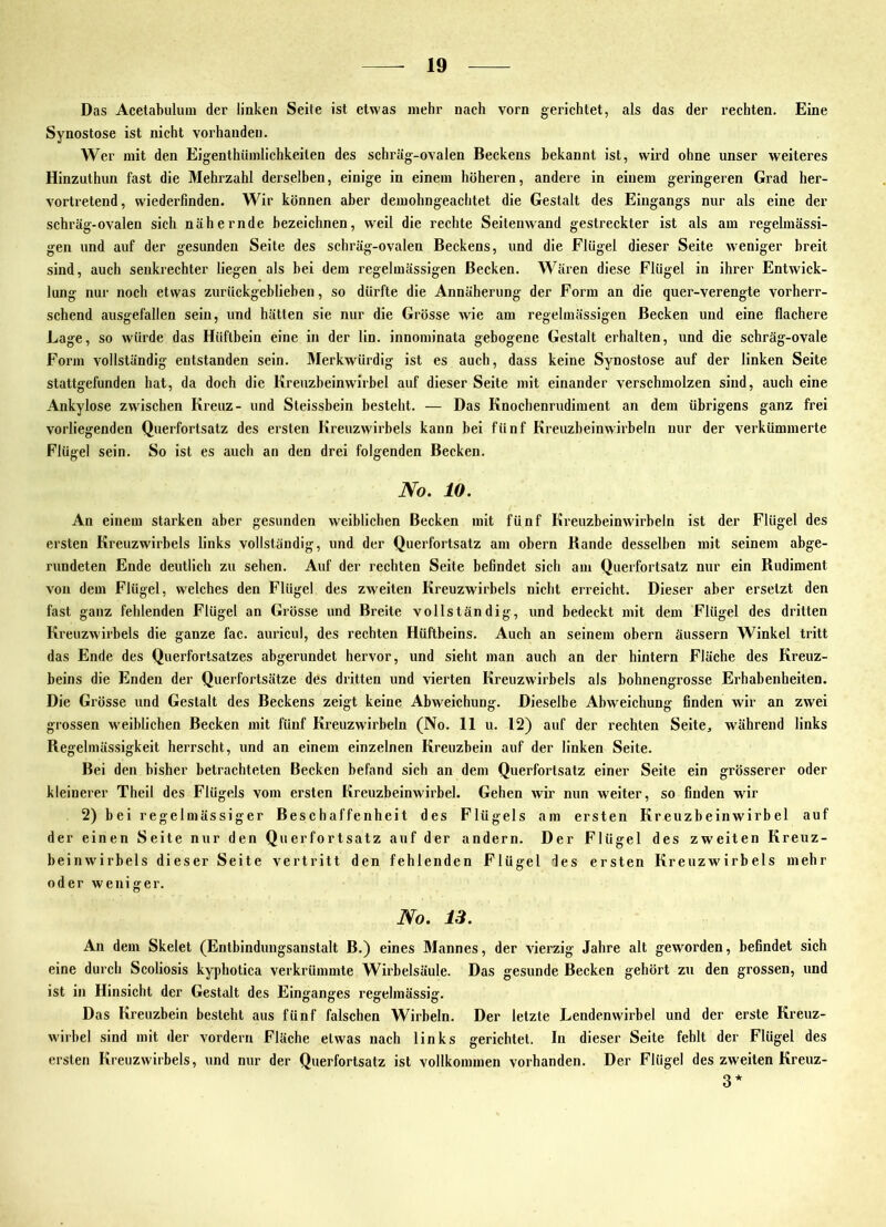 Das Acetabulum der linken Seite ist etwas mehr nach vorn gerichtet, als das der rechten. Eine Synostose ist nicht vorhanden. Wer mit den Eigenthümlichkeiten des schräg-ovalen Beckens bekannt ist, wird ohne unser weiteres Hinzuthun fast die Mehrzahl derselben, einige in einem höheren, andere in einem geringeren Grad her- vortretend, wiederfinden. Wir können aber demohngeaclitet die Gestalt des Eingangs nur als eine der schräg-ovalen sich nähernde bezeichnen, weil die rechte Seilenwand gestreckter ist als am regelmässi- gen und auf der gesunden Seite des schräg-ovalen Beckens, und die Flügel dieser Seite weniger breit sind, auch senkrechter liegen als bei dem regelmässigen Becken. Wären diese Flügel in ihrer Entwick- lung nur noch etwas zurückgeblieben, so dürfte die Annäherung der Form an die quer-verengte vorherr- schend ausgefallen sein, und hätten sie nur die Grösse wie am regelmässigen Becken und eine flachere Lage, so würde das Hüftbein eine in der lin. innominata gebogene Gestalt erhalten, und die schräg-ovale Form vollständig entstanden sein. Merkwürdig ist es auch, dass keine Synostose auf der linken Seite stattgefunden hat, da doch die lireuzbeinwirbel auf dieser Seite mit einander verschmolzen sind, auch eine Ankylose zwischen Kreuz- und Steissbein besteht. — Das Knochenrudiment an dem übrigens ganz frei vorliegenden Querfortsatz des ersten Kreuzwirbels kann hei fünf Kreuzheinwirbeln nur der verkümmerte Flügel sein. So ist es auch an den drei folgenden Becken. No. 10. An einem starken aber gesunden weiblichen Becken mit fünf Kreuzbeinw'irbeln ist der Flügel des ersten Kreuzwirbels links vollständig, und der Querfortsatz am obern Bande desselben mit seinem abge- rundeten Ende deutlich zu sehen. Auf der rechten Seite befindet sich am Querfortsatz nur ein Rudiment von dem Flügel, welches den Flügel des zweiten Kreuzwirbels nicht erreicht. Dieser aber ersetzt den fast ganz fehlenden Flügel an Grösse und Breite vollständig, und bedeckt mit dem Flügel des dritten Kreuzwirbels die ganze fac. auricul, des rechten Hüftbeins. Auch an seinem obern äussern Winkel tritt das Ende des Querfortsatzes abgerundet hervor, und sieht man auch an der hintern Fläche des Kreuz- beins die Enden der Querfortsätze des dritten und vierten Kreuzwirbels als bohnengrosse Erhabenheiten. Die Grösse und Gestalt des Beckens zeigt keine Abweichung. Dieselbe Abweichung finden wir an zwei grossen weiblichen Becken mit fünf Kreuzwirbeln (No. 11 u. 12) auf der rechten Seite, während links Regelmässigkeit herrscht, und an einem einzelnen Kreuzbein auf der linken Seite. Bei den bisher betrachteten Becken befand sich an dem Querfortsatz einer Seite ein grösserer oder kleinerer Theil des Flügels vom ersten Kreuzbeinwirbel. Gehen wir nun weiter, so finden wir 2) bei regelmässiger Beschaffenheit des Flügels am ersten Kreuzbeinwirbel auf der einen Seite nur den Querfortsatz auf der andern. Der Flügel des zweiten Kreuz- beinwirbels dieser Seite vertritt den fehlenden Flügel des ersten Kreuzwirbels mehr oder weniger. No. 13. An dem Skelet (Entbindungsanstalt B.) eines Mannes, der vierzig Jahre alt geworden, befindet sich eine durch Scoliosis kyphotica verkrümmte Wirbelsäule. Das gesunde Becken gehört zu den grossen, und ist in Hinsicht der Gestalt des Einganges regelmässig. Das Kreuzbein besteht aus fünf falschen Wirbeln. Der letzte Lendenwirbel und der erste Kreuz- Avirbel sind mit der vordem Fläche etwas nach links gerichtet. In dieser Seite fehlt der Flügel des ersten Kreuzwirbels, und nur der Querfortsatz ist vollkommen vorhanden. Der Flügel des zweiten Kreuz- 3*