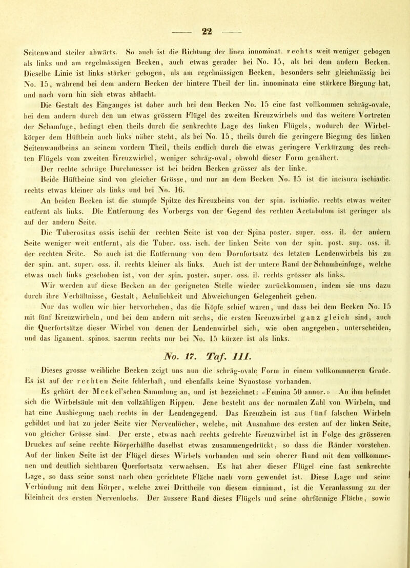 Seitenwaiul steilt^r abwärts. So auch ist rlio Riolitung der linea innominat. rechts weil weniger gebogen als links mul am regelmässigen Becken, aucb etwas gerader bei No. 15, als bei dem andern Becken. Dieselbe Linie ist links stärker gebogen, als am regelmässigen Becken, besonders sehr gleichmässig bei No. 15, während bei dem andern Becken der hintere Theil der lin. innominata eine stärkere Biegung hat, und nach vorn hin sich etwas abllacht. Die Gestalt des Einganges ist daher auch bei dem Becken No. 15 eine fast vollkommen schräg-ovale, bei dem andern durch den um etwas grössern Flügel des zweiten Kreuzwirbels und das weitere Vortreten der Schamfuge, bedingt eben iheils durcli die senkrechte Lage des linken Flügels, wodurch der Wirbel- körper dem Hüftbein auch links nälier steht, als bei No. 15, theils durch die geringere Biegung des linken Seitenwandbeins an seinem vordem Tlieil, theils endlich durcli die etwas geringere Verkürzung des rech- ten Flügels vom zweiten Kreuzwirbel, weniger schräg-oval, obwohl dieser Form genähert. Der rechte schräge Durchmesser ist bei beiden Becken grösser als der linke. Beide Hüftbeine sind von gleicher Grösse, und nur an dem Becken No. 15 ist die incisura ischiadic. rechts etwas kleiner als links und bei No. IG. An beiden Becken ist die stumpfe Spitze des Kreuzbeins von der sjiin. ischiadic. rechts etwas weiter entfernt als links. Die Entfernung des Vorbergs von der Gegend des rechten Acetabulum ist geringer als auf der andern Seite. Die Tuhcrositas ossis ischii der rechten Seite ist von der Spina poster. super, oss. il. der andern Seite weniger weit entfernt, als die Tuber, oss. isch. der linken Seite von der sjiln. post. sup. oss. il. der rechten Seite. So auch ist die Entfernung von dem Dornforlsalz des letzten Lendenwirbels bis zu der Spin. ant. super, oss. il. rechts kleiner als links. Auch ist der untere Rand der Schombeinfuge, w'elche etwas nach links geschoben ist, von der spin. posier, super, oss. il. rechts grösser als links. W ir werden auf diese Becken an der geeigneten Stelle wieder zurückkominen, indem sie uns dazu durch ihre Verhältnisse, Gestalt, Aehnlichkeit und Abweichungen Gelegenheit gehen. Nur das wollen wir hier hervorhehen, das die Köpfe schief waren, und dass bei dem Becken No. 15 mit fünf Kreuzwirbeln, und bei dem andern mit sechs, die ersten Kreuzwirbel ganz gleich sind, auch die Querfortsätze dieser Wirbel von denen der Lendenwirbel sich, wie oben angegeben, unterscheiden, und das Ilgament. spinös, sacrum rechts nur bei No. 15 kürzer ist als links. No. 17. Taf. III. Dieses grosse weibliche Becken zeigt uns nun die schräg-ovale Form in einem vollkommneren Grade. Es ist auf der rechten Seite fehlerhaft, und ebenfalls keine Synostose vorhanden. Es gehört der Meckel’schen Sammlung an, und ist bezeichnet: «Femina 50 annor.» An ihm befindet sich die Wirbelsäule mit den vollzähligen Rippen. Jene besteht aus der normalen Zahl von Wirbeln, und hat eine Ausbiegung nach rechts in der Lendengegend. Das Kreuzbein ist aus fünf falschen Wirbeln gebildet und hat zu jeder Seite vier Nervenlöcher, welche, mit Ausnahme des ersten auf der linken Seite, von gleicher Grösse sind. Der erste, etwas nach rechts gedrehte Kreuzwirbel ist in Folge des grösseren Druckes auf seine rechte Körperhälfte daselbst etw'as zusammengedrückt, so dass die Ränder vorslehen. Auf der linken Seite ist der Flügel dieses Wirbels vorhanden und sein oberer Rand mit dem vollkomme- nen und deutlich sichtbaren Querfortsatz verwachsen. Es hat aber dieser Flügel eine fast senkrechte Lage, so dass seine sonst nach oben gerichtete Fläche nach vorn gewendet ist. Diese Lage und seine Verbindung mit dem Körper, welche zwei Drittheile von diesem einnimmt, ist die Veranlassung zu der Kleinheit des ersten Nervenlochs. Der äussere Rand dieses Flügels und seine ohrförmige Fläche, sow'ic