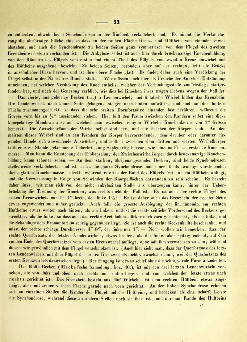 zu entdecken, obwohl beide Synchondrosen in der Kindheit verknöchert sind. Es nimmt die Verknöche- rung die ohrförmige Flüche ein, so dass an der rauhen Fläche Kreuz- und Hüftbein von einander etwas ahstehen, und auch die Synchondrose zu beiden Seiten ganz symmetrisch von dem Flügel des zweiten Kreuzheinwirbels an vorhanden ist. Die Ankylose selbst ist auch hier durch brückenartige Knochenhildung, von den Rändern des Flügels vom ersten und einem Theil des Flügels vom zweiten Kreuzbeinwirbel und des Hüftbeins ausgehend, bewirkt. Zu beiden Seiten, besonders aber auf der rechten, tritt die Brücke in ansehnlicher Dicke hervor, und ist iiire obere Fläche glatt. Es findet daher auch eine Verdickung der Flügel selbst in der Nähe ihres Randes statt. — Wir müssen auch hier als Ursache der Ankylose Entzündung annehmen, bei welcher Verdickung des Knochentheils, welcher der Verbindungsstelle zunächstlag, stattge- funden hat, und nach der Genesung verblieb, wie dies bei Knochen ihres trägen Lehens wegen der Fall ist. Das vierte, uns gehörige Becken trägt 5 Lendenwirbel, und 6 falsche Wirbel bilden das Kreuzbein. Die Lendenwirbel, nach keiner Seite gebogen, steigen nach hinten aufwärts, und sind an der hintern Fläche zusammengedrückt, so dass die sehr breiten Dornfortsätze einander fast berühren, während die Körper vorn bis zu ’/z auseinander stehen. Hier füllt den Raum zwischen den Rändern seihst eine dicke knorpelartige Membran aus, auf welcher man zwischen einigen Wirbeln Knochenkerne von 4' Grösse bemerkt. Die Zwischenräume der Wirbel selbst sind leer, und die Flächen der Körper rauh. An den meisten dieser Wirbel sind an den Rändern der Körper hervorstebende, dem darüber oder darunter lie- genden Rande sich zuwendende Auswüchse, und seitlich zwischen dem dritten und vierten Wirbelkörper tritt eine zu Stande gekommene Ueberbrückung zapfenartig hervor, wie eine im Flusse erstarrte Knochen- masse. Man kann die Entstehung der Einkapselung der Zwischenwirbelkörper durch brückenartige Knochen- bildung kaum schöner sehen. — An dem starken, übrigens gesunden Becken, sind beide Synchondrosen stellenweise verknöchert, und ist links die ganze Synchondrose mit einer theils wulstig vorstehenden theils glatten Knochenmasse bedeckt, während rechts der Rand des Flügels fest an dem Hüftbein anliegt, und die Verwachsung in Folge von Schwinden der Knorpelflächen entstanden zu sein scheint. Es besteht daher links, wie man sich von der nicht ankylosirten Stelle aus überzeugen kann, hinter der Ueber- brückung die Trennung der Knochen, was rechts nicht der Fall ist. Es ist auch der rechte Flügel des ersten Ereuzwirbels nur 1 V breit, der linke U/2. Es ist daher auch das Kreuzbein der rechten Seite etwas zugewendet und näher gerückt. Auch fällt die grösste Ausbiegung der lin. innomin. am rechten Hüftbeine etwas weiter nach hinten, als am linken, und ist die rechte seitliche Vorderwand des Beckens ge- streckter, als die linke, so dass auch das rechte Acetabulum stärker nach vorn gerichtet ist, als das linke, und die Schamfuge dem Promontorium schräg gegenüber liegt. So ist auch die rechte Beckenhälfte beschränkt, und misst der rechte schräge Durchmesser 4 8', der linke nur 4. — Noch wollen wir bemerken, dass der rechte Querfortsatz des letzten Lendenwirbels, etwas breiter, als der linke, aber spitzig endend, auf dem runden Ende des Querfortsatzes vom ersten Kreuzwirbel aufliegt, ohne mit ihm verwachsen zu sein, während dieser, wie gewöhnlich mit dem Flügel verschmolzen ist. (Auch hier sieht man, dass der Querfortsatz des letz- ten Lendenwirbels mit dem Flügel des ersten Kreuzwirbels nicht verwachsen kann, weil der Querfortsatz des ersten Kreuzwirbels dazwischen liegt.) Der Eingang ist etwas schief ohne die schräg-ovale Form anzudeuten. Das fünfte Becken (Meckel’sche Sammlung, bez. 40.), ist mit den drei letzten Lendenwirbeln ver- sehen, die von links und oben nach rechts und unten liegen, und von welchen der letzte etwas nach rechts gerichtet ist. Das Kreuzbein besteht aus fünf Wirbeln, ist dem rechten Hüftbein etwas zuge- neigt, aber mit seiner vordem Fläche gerade nach vorn gerichtet. An der linken Synchondrose erheben sich an einzelnen Stellen die Ränder der Flügel und des Hüftbeins, und bedecken als eine scharfe Leiste die Synchondrose, während diese an andern Stellen noch sichtbar ist, und nur am Rande des Hüftbeins 5