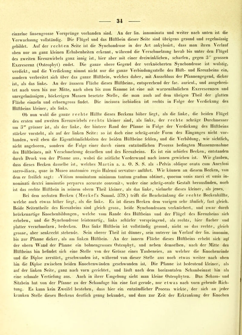 einzelne linsengrosse Vorsprünge vorhanden sind. An der lin. innoniinata und weiter nach unten ist die Verwachsung vollständig. Die Flügel und das Hüftbein dieser Seite sind übrigens gesund und regelmässig gebildet. Auf der rechten Seite ist die Synchondrose in der Art ankylosirt, dass man ihren Verlauf oben nur an ganz kleinen Erhabenheiten erkennt, während die Verschmelzung herab bis unter den Flügel des zweiten Kreuzwdrbels ganz innig ist, hier aber mit einer dreiwinklichen, scharfen, gegen 3' grossen Excrescenz (Osteophyt) endet. Die ganze obere Gegend der verknöcherten Synchondrose ist wulstig, verdickt, und die Verdickung nimmt nicht nur die ganze Verbindungsstelle des Hüft- und Kreuzbeins ein, sondern verbreitet sich über das ganze Hüftbein, welches daher, mit Ausschluss der Pfannengegend, dicker ist, als das linke. An der äussern Fläche dieses Hüftbeins, entsprechend der fac. auricul., und ausgebrei- tet nach vorn bis zur Älitte, nach oben bis zum Kamme ist eine mit warzenähnlichen Excrescenzcn und unregelmässigen, höckerigen 3Iassen besetzte Stelle, die man auch auf dem übrigen Theil der glatten Fläche einzeln und erbsengross findet. Die incisura ischiadica ist rechts in Folge der Verdickung des Hüftbeins kleiner, als links. Ob nun wohl die ganze rechte Hälfte dieses Beckens höher liegt, als die linke, die beiden Flügel des ersten und zweiten Kreuzwirbels rechts kleiner sind, als links, der rechte schräge Durchmesser um 3' grösser ist, als der linke, der hintere Rand der Pfanne in Folge der Verdickung des Hüftbeins stärker vorsteht, als auf der linken Seite: so ist doch eine schräg-ovale Form des Einganges nicht vor- handen, weil eben die Eigenthümlichkeiten der beiden Hüftbeine fehlen, und die Verbildung, wie sichtlich, nicht angeboren, sondern die Folge einer durch einen entzündlichen Process bedingten Älassenzunahme des Hüftbeines, mit Verschmelzung desselben und des Kreuzbeins. Es ist ein schiefes Becken, entstanden durch Druck von der Pfanne aus, wobei die seitliche Vorderw'and nach innen gewichen ist. Wir glauben, dass dieses Becken dasselbe ist, welches Martin a. a. 0. S. 8. als «Pelvis oblique ovata cum Ancylosi sacro-iliaca, quae in Museo anatomico regio Halensi servatur» anführt. Wir können an diesem Becken, von dem er freilich sagt: «Vitium nominatum ininimum tantum gradum obtinet, quocum ossis sacri et ossis in- nominati dextri imminutio perparva accurate convenit», weder eine schräg-ovale Gestalt herausfinden, noch ist das rechte Hüftbein in seinem ohern Theil kleiner, als das linke, vielmehr dieses kleiner, als jenes. Bei dem sechsten Becken (3Iecket’s Samml. 379.) trifft die Beschränkung die rechte Beckenhälfte, welche auch etwas höher liegt, als die linke. Es ist dieses Becken dem vorigen sehr ähnlich, fast gleich. Beide Scitentheile des Kreuzbeins sind gleich gross, beide Synchondrosen verknöchert, und zwar durch brückenartige Knochenhildungen, welche vom Rande des Hüftbeins und der Flügel des Kreuzbeins sich erheben, und die Synchondrose leistenartig, links schärfer vorspringend, als rechts, hier flacher und platter verschmolzen, bedecken. Das linke Hüftbein ist vollständig gesund, nicht so das rechte, gleich o^rosse, aber senkrecht stehende. Sein oberer Theil ist dünner, sein unterer im Verlauf der lin. iiuiomin. bis zur Pfanne dicker, als am linken Hüftbein. An der innern Fläche dieses Hüftbeins erhebt sich auf der ohern Wand der Pfanne ein bohnengrosses Osteophyt, und neben demselben, nach der Mitte des Hüftbeins hin befindet sich eine Stelle von der Grösse eines Tauheneies, an Avelcher die Knochenrinde und die Diploe zerstört, geschwunden ist, während von dieser Stelle aus noch etwas Aveiter nach oben hin die Diploe ZAvischen beiden KnochenAvänden gescliAvunden ist. Die Pfanne ist bedeutend kleiner, als auf der linken Seite, ganz nach vorn gerichtet, und läuft nach dem horizontalen Schamheinast hin als eine schmale Vertiefung aus. Auch in ihrer Umgebung sieht man kleine Osteophyten. Das Scham- und Sitzbein hat von der Pfanne zu der Schamfuge hin eine fast gerade, nur etAvas nach vorn gehende Rich- tung. Es kann kein Zw'eifel bestehen, dass hier ein entzündlicher Process Avirkte, der sich an Jeder kranken Stelle dieses Beckens deutlich genug bekundet, und dass zur Zeit der Erkrankung der Knochen