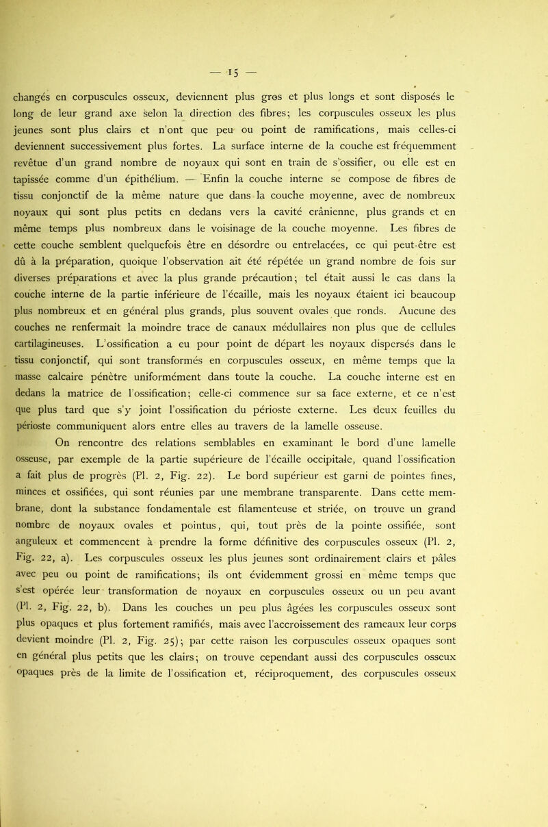 changés en corpuscules osseux, deviennent plus gros et plus longs et sont disposés le long de leur grand axe selon la direction des fibres; les corpuscules osseux les plus jeunes sont plus clairs et n’ont que peu ou point de ramifications, mais celles-ci deviennent successivement plus fortes. La surface interne de la couche est fréquemment revêtue d’un grand nombre de noyaux qui sont en train de s’ossifier, ou elle est en tapissée comme d’un épithélium. — Enfin la couche interne se compose de fibres de tissu conjonctif de la même nature que dans la couche moyenne, avec de nombreux noyaux qui sont plus petits en dedans vers la cavité crânienne, plus grands et en même temps plus nombreux dans le voisinage de la couche moyenne. Les fibres de cette couche semblent quelquefois être en désordre ou entrelacées, ce qui peut-être est dû à la préparation, quoique l’observation ait été répétée un grand nombre de fois sur diverses préparations et avec la plus grande précaution; tel était aussi le cas dans la couche interne de la partie inférieure de l’écaille, mais les noyaux étaient ici beaucoup plus nombreux et en général plus grands, plus souvent ovales que ronds. Aucune des couches ne renfermait la moindre trace de canaux médullaires non plus que de cellules cartilagineuses. L’ossification a eu pour point de départ les noyaux dispersés dans le tissu conjonctif, qui sont transformés en corpuscules osseux, en même temps que la masse calcaire pénètre uniformément dans toute la couche. La couche interne est en dedans la matrice de l’ossification; celle-ci commence sur sa face externe, et ce n’est que plus tard que s’y joint l’ossification du périoste externe. Les deux feuilles du périoste communiquent alors entre elles au travers de la lamelle osseuse. On rencontre des relations semblables en examinant le bord d’une lamelle osseuse, par exemple de la partie supérieure de l’écaille occipitale, quand l’ossification a fait plus de progrès (PI. 2, Fig. 22). Le bord supérieur est garni de pointes fines, minces et ossifiées, qui sont réunies par une membrane transparente. Dans cette mem- brane, dont la substance fondamentale est filamenteuse et striée, on trouve un grand nombre de noyaux ovales et pointus, qui, tout près de la pointe ossifiée, sont anguleux et commencent à prendre la forme définitive des corpuscules osseux (PI. 2, Fig. 22, a). Les corpuscules osseux les plus jeunes sont ordinairement clairs et pâles avec peu ou point de ramifications; ils ont évidemment grossi en même temps que s’est opérée leur transformation de noyaux en corpuscules osseux ou un peu avant (PI. 2, Fig. 22, b). Dans les couches un peu plus âgées les corpuscules osseux sont plus opaques et plus fortement ramifiés, mais avec l’accroissement des rameaux leur corps devient moindre (PI. 2, Fig. 25); par cette raison les corpuscules osseux opaques sont en général plus petits que les clairs; on trouve cependant aussi des corpuscules osseux opaques près de la limite de l’ossification et, réciproquement, des corpuscules osseux