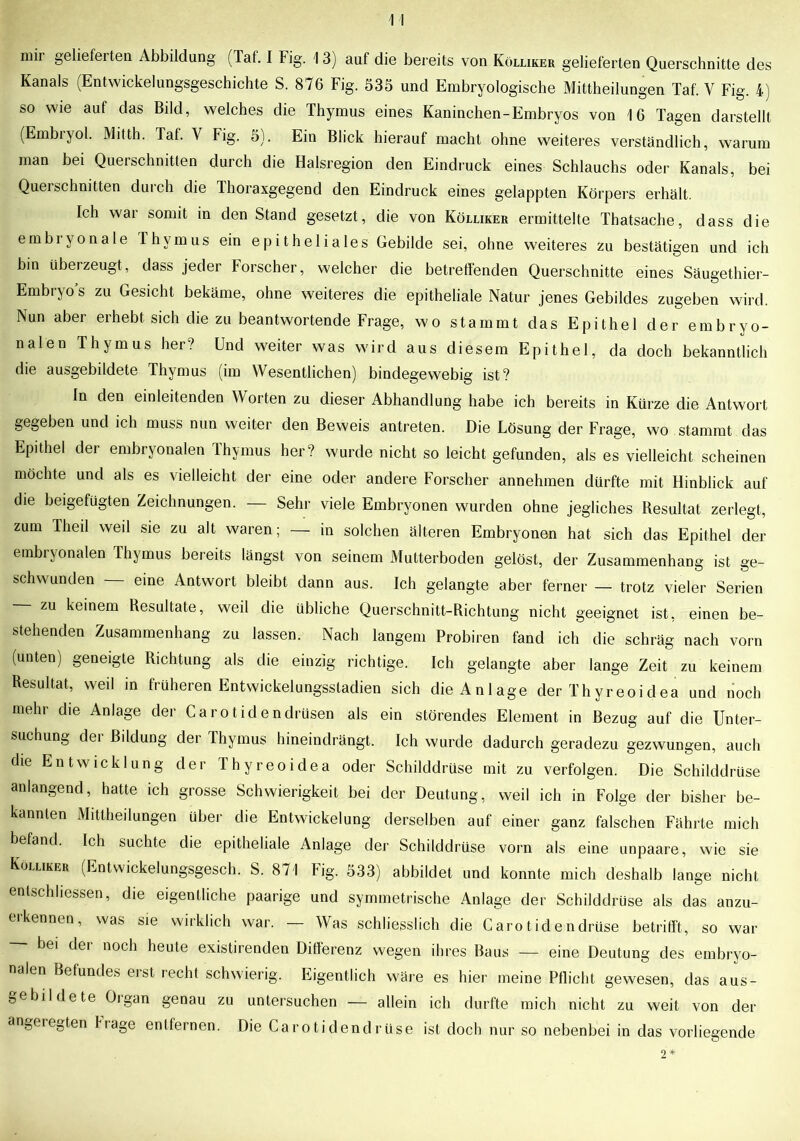 mii geüefeiten Abbildung (Tat. I big. 13) auf die bereits von Kölliker gelieferten Querschnitte des Kanals (Entwickelungsgeschichte S. 876 Fig. 535 und Embryologische Mittheilungen Taf. V Fig. 4) so wie auf das Bild, welches die Thymus eines Kaninchen-Embryos von 16 Tagen darstellt (Embryol. Mitth. Taf. V Fig. 5). Ein Blick hierauf macht ohne weiteres verständlich, warum man bei Querschnitten durch die Halsregion den Eindruck eines Schlauchs oder Kanals, bei Querschnitten durch die Thoraxgegend den Eindruck eines gelappten Körpers erhält. Ich war somit in den Stand gesetzt, die von Kölliker ermittelte Thatsache, dass die embiyonale Thymus ein epitheliales Gebilde sei, ohne weiteres zu bestätigen und ich bin überzeugt, dass jeder Forscher, welcher die betreffenden Querschnitte eines Säugethier- Embryo’s zu Gesicht bekäme, ohne weiteres die epitheliale Natur jenes Gebildes zugeben wird. Nun aber erhebt sich die zu beantwortende Frage, wo stammt das Epithel der embryo- nalen Thymus her? Und weiter was wird aus diesem Epithel, da doch bekanntlich die ausgebildete Thymus (im Wesentlichen) bindegewebig ist? ln den einleitenden Worten zu dieser Abhandlung habe ich bereits in Kürze die Antwort gegeben und ich muss nun weiter den Beweis antreten. Die Lösung der Frage, wo stammt das Epithel der embryonalen Thymus her? wurde nicht so leicht gefunden, als es vielleicht scheinen mochte und als es vielleicht der eine oder andere Forscher annehmen dürfte mit Hinblick auf die beigefügten Zeichnungen. — Sehr viele Embryonen wurden ohne jegliches Resultat zerlegt, zum Iheil weil sie zu alt waren; — in solchen älteren Embryonen hat sich das Epithel der embryonalen Thymus bereits längst von seinem Mutterboden gelöst, der Zusammenhang ist ge- schwunden eine Antwort bleibt dann aus. Ich gelangte aber ferner — trotz vieler Serien zu keinem Resultate, weil die übliche Querschnitt-Richtung nicht geeignet ist, einen be- stehenden Zusammenhang zu lassen. Nach langem Probiren fand ich die schräg nach vorn (unten) geneigte Richtung als die einzig richtige. Ich gelangte aber lange Zeit zu keinem Resultat, weil in früheren Entwickelungsstadien sich die Anlage der Thyreoidea und noch mehr die Anlage der Carotidendrüsen als ein störendes Element in Bezug auf die Unter- suchung der Bildung der Thymus hineindrängt. Ich wurde dadurch geradezu gezwungen, auch die Entwicklung der Thyreoidea oder Schilddrüse mit zu verfolgen. Die Schilddrüse anlangend, hatte ich grosse Schwierigkeit bei der Deutung, weil ich in Folge der bisher be- kannten Mittheilungen über die Entwickelung derselben auf einer ganz falschen Fährte mich befand. Ich suchte die epitheliale Anlage der Schilddrüse vorn als eine unpaare, wie sie Kölliker (Entwickelungsgesch. S. 871 Fig. 533) abbildet und konnte mich deshalb lange nicht entschliessen, die eigentliche paarige und symmetrische Anlage der Schilddrüse als das anzu- erkennen, was sie wirklich war. — Was schliesslich die Carotidendrüse betrifft, so war bei dei noch heute existirenden Differenz wegen ihres Baus -— eine Deutung des embryo- nalen Befundes erst recht schwierig. Eigentlich wäre es hier meine Pflicht gewesen, das aus- gebildete Organ genau zu untersuchen — allein ich durfte mich nicht zu weit von der angeregten liage entfernen. Die Carotidendrüse ist doch nur so nebenbei in das vorliegende 2*