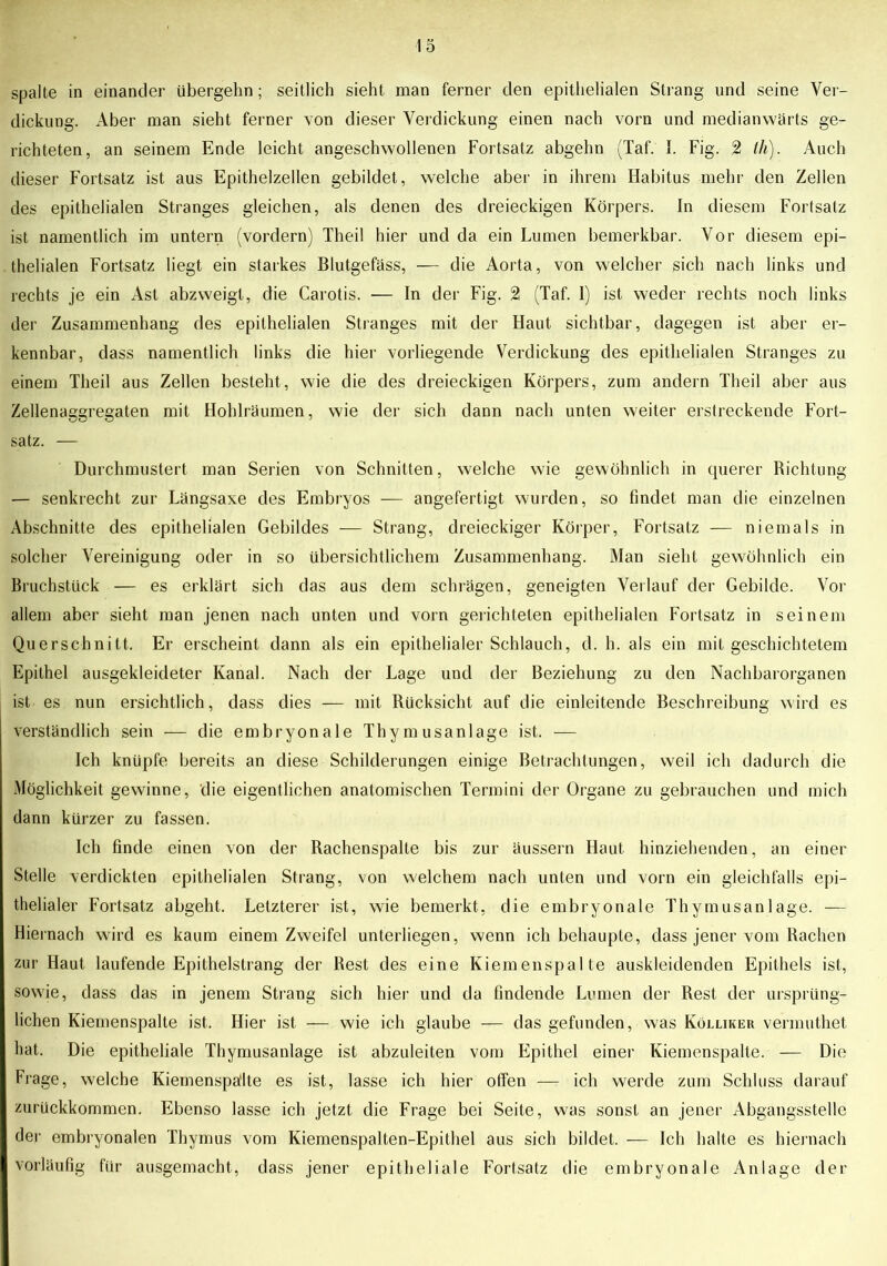 spalte in einander übergehn; seitlich sieht man ferner den epithelialen Strang und seine Ver- dickung. Aber man sieht ferner von dieser Verdickung einen nach vorn und medianwärts ge- richteten, an seinem Ende leicht angeschwollenen Fortsatz abgehn (Taf. I. Fig. 2 th). Auch dieser Fortsatz ist aus Epithelzellen gebildet , welche aber in ihrem Habitus mehr den Zellen des epithelialen Stranges gleichen, als denen des dreieckigen Körpers. In diesem Fortsatz ist namentlich im untern (vordem) Theil hier und da ein Lumen bemerkbar. Vor diesem epi- thelialen Fortsatz liegt ein starkes Blutgefäss, — die Aorta, von welcher sich nach links und rechts je ein Ast abzweigt, die Carotis. — In der Fig. 2 (Taf. 1) ist weder rechts noch links der Zusammenhang des epithelialen Stranges mit der Haut sichtbar, dagegen ist aber er- kennbar, dass namentlich links die hier vorliegende Verdickung des epithelialen Stranges zu einem Theil aus Zellen besteht, wie die des dreieckigen Körpers, zum andern Theil aber aus Zellenaggregaten mit Hohlräumen, wie der sich dann nach unten weiter erstreckende Fort- satz. — Durchmustert man Serien von Schnitten, welche wie gewöhnlich in querer Richtung — senkrecht zur Längsaxe des Embryos — angefertigt wurden, so findet man die einzelnen Abschnitte des epithelialen Gebildes — Strang, dreieckiger Körper, Fortsatz — niemals in solcher Vereinigung oder in so übersichtlichem Zusammenhang. Man sieht gewöhnlich ein Bruchstück — es erklärt sich das aus dem schrägen, geneigten Verlauf der Gebilde. Vor allem aber sieht man jenen nach unten und vorn gerichteten epithelialen Fortsatz in seinem Querschnitt. Er erscheint dann als ein epithelialer Schlauch, d. h. als ein mit geschichtetem Epithel ausgekleideter Kanal. Nach der Lage und der Beziehung zu den Nachbarorganen ist es nun ersichtlich, dass dies — mit Rücksicht auf die einleitende Beschreibung wird es verständlich sein — die embryonale Thymusanlage ist. — Ich knüpfe bereits an diese Schilderungen einige Betrachtungen, weil ich dadurch die Möglichkeit gewinne, die eigentlichen anatomischen Termini der Organe zu gebrauchen und mich dann kürzer zu fassen. Ich finde einen von der Rachenspalte bis zur äussern Haut hinziehenden, an einer Stelle verdickten epithelialen Strang, von welchem nach unten und vorn ein gleichfalls epi- thelialer Fortsatz abgeht. Letzterer ist, wie bemerkt, die embryonale Thymusanlage. — Hiernach wird es kaum einem Zweifel unterliegen, wenn ich behaupte, dass jener vom Rachen zur Haut laufende Epithelstrang der Rest des eine Kiemenspalte auskleidenden Epithels ist, sowie, dass das in jenem Strang sich hier und da findende Lumen der Rest der ursprüng- lichen Kiemenspalte ist. Hier ist — wie ich glaube — das gefunden, was Kölliker vennuthet hat. Die epitheliale Thymusanlage ist abzuleiten vom Epithel einer Kiemenspalte. — Die Frage, welche Kiemenspälte es ist, lasse ich hier offen — ich werde zum Schluss darauf zurückkommen. Ebenso lasse ich jetzt die Frage bei Seite, was sonst an jener Abgangsstelle der embryonalen Thymus vom Kiemenspalten-Epithel aus sich bildet. — Ich halte es hiernach vorläufig für ausgemacht, dass jener epitheliale Fortsatz die embryonale Anlage der