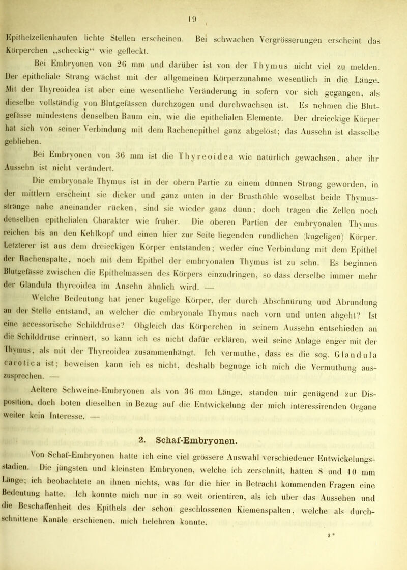 Epithelzellenhaulen lichte Stellen erscheinen. Bei schwachen Vergrösserungen erscheint das Körperchen „scheckig“ wie gefleckt. Bei Embryonen von 2(1 mm und darüber ist von der Thymus nicht viel zu melden. Der epitheliale Strang wächst mit der allgemeinen Körperzunahme wesentlich in die Länge. Mit tier Thyreoidea ist aber eine wesentliche Veränderung in sofern vor sich gegangen, als dieselbe vollständig von Blutgefässen durchzogen und durchwachsen ist. Es nehmen die Blut- gefässe mindestens denselben Raum ein, wie die epithelialen Elemente. Der dreieckige Körper hat sich von seiner Verbindung mit dem Rachenepithel ganz abgelöst; das Aussehn ist dasselbe geblieben. Bei Embryonen \on .10 mm ist die ihyreoidea wie natürlich gewachsen, aber ihr Aussehn ist nicht verändert. Die embryonale lhymus ist in der obern Partie zu einem dünnen Strang geworden, in der mildern erscheint sie dicker und ganz unten in der Brusthöhle woselbst beide Thymus- stränge nahe aneinander rücken, sind sie wieder ganz dünn; doch tragen die Zellen noch denselben epithelialen Charakter wie früher. Die oberen Partien der embryonalen Thymus reichen bis an den Kehlkopf und einen hier zur Seite liegenden rundlichen (kugeligen) Körper. Letzterer ist aus dem dreieckigen Körper entstanden; weder eine Verbindung mit dem Epithel der Rachenspalte, noch mit dem Epithel der embryonalen Thymus ist zu sehn. Es beginnen Blutgefässe zwischen die Epithelmassen des Körpers einzudringen, so dass derselbe immer mehr der Glandula Ihyreoidea im Ansehn ähnlich wird. — Welche Bedeutung hat jener kugelige Körper, der durch Abschnürung und Abrundung an der Stelle entstand, an welcher die embryonale Thymus nach vorn und unten abgeht? Ist eine accessorische Schilddrüse? Obgleich das Körperchen in seinem Aussehn entschieden an die Schilddrüse erinnert, so kann ich es nicht dafür erklären, weil seine Anlage enger mit der lhymus, als mit der Thyreoidea zusammenhängt. Ich vermuthe, dass es die sog. Glandula carotica ist; beweisen kann ich es nicht, deshalb begnüge ich mich die Vermuthung aus- zusprechen. — Aeltere Schweine-Embryonen als von 3(1 mm Länge, standen mir genügend zur Dis- position, doch boten dieselben in Bezug auf die Entwickelung der mich interessirenden Organe weiter kein Interesse. — 2. Scliaf-Embryonen. \on Schaf-Embryonen hatte ich eine viel grössere Auswahl verschiedener Entwickelungs- stadien. Die jüngsten und kleinsten Embryonen, welche ich zerschnitt, hatten <3 und 10 mm Lange; ich beobachtete an ihnen nichts, was für die hier in Betracht kommenden Fragen eine Bedeutung hatte. Ich konnte mich nur in so weit orientiren, als ich über das Aussehen und die Beschaffenheit des Epithels der schon geschlossenen Kiemenspalten, welche als durch- schnittene Kanäle erschienen, mich belehren konnte.