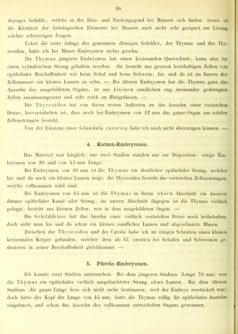 drüsiger Gebilde, welche in der Hals- und Nackengegend bei Mäusen sich finden: ferner ist die Kleinheit der histologischen Elemente bei Mäusen auch nicht sehr geeignet zur Lösung solcher schwierigen Fragen. Ueber die erste Anlage des genannten drüsigen Gebildes, der Thymus und der Thy- reoidea, habe ich bei Mäuse-Embryonen nichts gesehn. Die Thymus jüngerer Embryonen hat einen kreisrunden Querschnitt; kann also für einen cylindrischen Strang gehalten werden. Sie besteht aus grossen kernhaltigen Zellen von epithelialer Beschaffenheit wie beim Schaf und beim Schwein; hie und da ist im Innern der Zellenmasse ein kleines Lumen zu sehn. — Bei älteren Embryonen hat die Thymus ganz das Aussehn des ausgebildeten Organs, ist aus kleinen rundlichen eng aneinander gedrängten Zellen zusammengesetzt und sehr reich an Blutgefässen. — Die Thyreoidea hat von ihrem ersten Auftreten an das Aussehn einer verästelten Drüse; hervorzuheben ist, dass noch bei Embryonen von 22 mm das ganze Organ aus soliden Zellensträngen besteht. Von der Existenz einer Glandula carotica habe ich mich nicht überzeugen können. — 4. Katzen-Embryonen. Das Material war kärglich; nur zwei Stadien standen mir zur Disposition: einige Em- bryonen von 20 und von 45 mm Länge. Bei Embryonen von 20 mm ist die Thymus ein deutlicher epithelialer Strang, welcher hie und da noch ein kleines Lumen zeigt; die Thyreoidea besteht aus verästelten Zellensträngen, welche vollkommen solid sind. Bei Embryonen von 45 mm ist die Thymus in ihrem obern Abschnitt ein äusserst dünner epithelialer Kanal oder Strang, im untern Abschnitt dagegen ist die Thymus vielfach gelappt, besteht aus kleinen Zellen, wie in dem ausgebildeten Organ. — Die Schilddrüse hat das Ansehn einer vielfach verästelten Drüse noch beibehalten, doch sieht man hie und da schon ein kleines rundliches Lumen und abgeschnürte Blasen. Zwischen der Thyreoidea und der Carotis habe ich an einigen Schnitten einen kleinen kreisrunden Körper gefunden, welcher dem als Gl. carotica bei Schafen und Schweinen ge- deuteten in seiner Beschaffenheit gleichkommt. — 5. Pferde-Embryonen. Ich konnte zwei Stadien untersuchen. Bei dem jüngeren Stadium (Länge 70 mm) war die Thymus ein epithelialer vielfach ausgebuchteter Strang ohne Lumen. Bei dem älteren Stadium (die ganze Länge liess sich nicht mehr bestimmen, weil der Embryo zerstückelt war; doch hatte der Kopf die Länge von 45 mm) hatte die Thymus völlig ihr epitheliales Ausselm eingebüsst, und schon das Aussehn des vollkommen entwickelten Organs gewonnen.