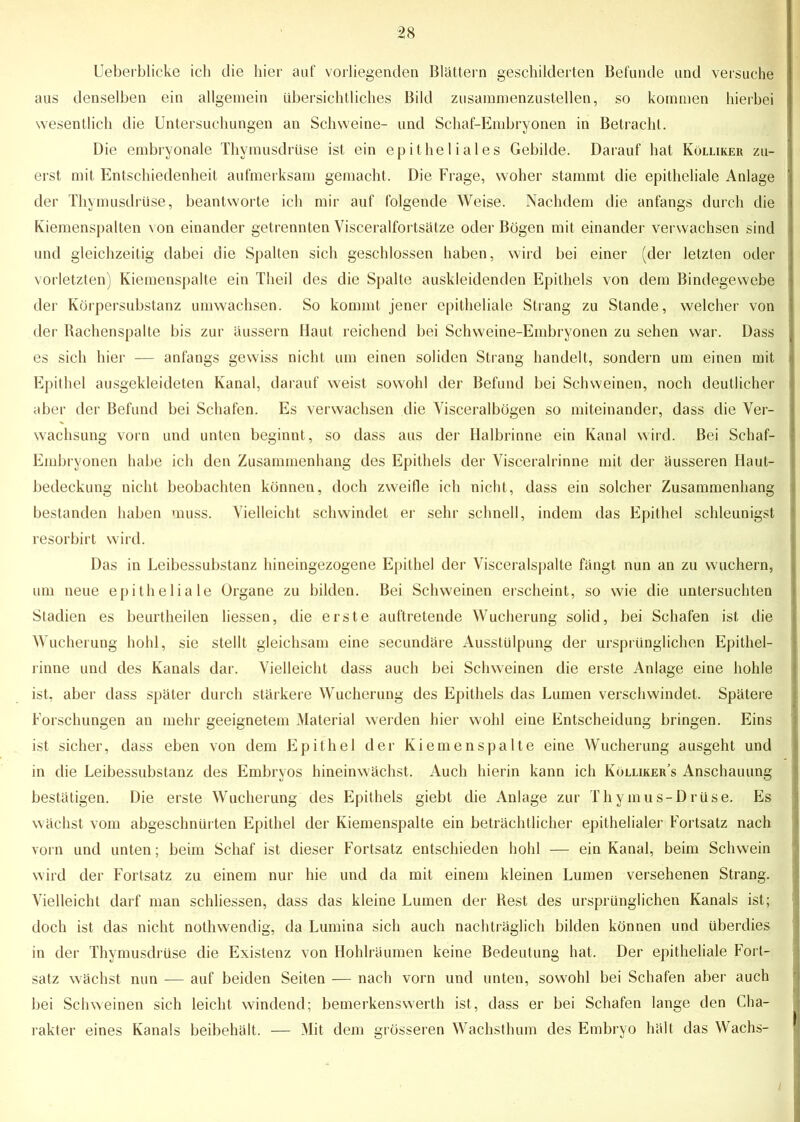 Ueberblicke ich die hier auf vorliegenden Blättern geschilderten Befunde und versuche aus denselben ein allgemein übersichtliches Bild zusammenzustellen, so kommen hierbei wesentlich die Untersuchungen an Schweine- und Schaf-Embryonen in Betracht. Die embryonale Thymusdrüse ist ein epitheliales Gebilde. Darauf hat Kölliker zu- erst mit Entschiedenheit aufmerksam gemacht. Die Frage, woher stammt die epitheliale Anlage der Thymusdrüse, beantworte ich mir auf folgende Weise. Nachdem die anfangs durch die Kiemenspalten von einander getrennten Visceralfortsätze oder Bögen mit einander verwachsen sind und gleichzeitig dabei die Spalten sich geschlossen haben, wird bei einer (der letzten oder vorletzten) Kiemenspalte ein Theil des die Spalte auskleidenden Epithels von dem Bindegewebe der Körpersubstanz umwachsen. So kommt jener epitheliale Strang zu Stande, welcher von der Rachenspalte bis zur äussern Haut reichend bei Sehweine-Embryonen zu sehen war. Dass es sich hier — anfangs gewiss nicht um einen soliden Strang handelt, sondern um einen mit Epithel ausgekleideten Kanal, darauf weist sowohl der Befund bei Schweinen, noch deutlicher aber der Befund bei Schafen. Es verwachsen die Visceralbögen so miteinander, dass die Ver- wachsung vorn und unten beginnt, so dass aus der Halbrinne ein Kanal wird. Bei Schaf- Embryonen habe ich den Zusammenhang des Epithels der Visceralrinne mit der äusseren Haut- bedeckung nicht beobachten können, doch zweifle ich nicht, dass ein solcher Zusammenhang bestanden haben muss. Vielleicht schwindet er sehr schnell, indem das Epithel schleunigst resorbirt wird. Das in Leibessubstanz hineingezogene Epithel der Visceralspalte fängt nun an zu wuchern, um neue epitheliale Organe zu bilden. Bei Schweinen erscheint, so wie die untersuchten Stadien es beurtheilen liessen, die erste auftretende Wucherung solid, bei Schafen ist die Wucherung hohl, sie stellt gleichsam eine secundäre Ausstülpung der ursprünglichen Epithel- rinne und des Kanals dar. Vielleicht dass auch bei Schweinen die erste Anlage eine hohle ist, aber dass später durch stärkere Wucherung des Epithels das Lumen verschwindet. Spätere Forschungen au mehr geeignetem Material werden hier wohl eine Entscheidung bringen. Eins ist sicher, dass eben von dem Epithel der Kiemenspalte eine Wucherung ausgeht und in die Leibessubstanz des Embryos hineinwächst. Auch hierin kann ich Kölliker’s Anschauung bestätigen. Die erste Wucherung des Epithels giebt die Anlage zur Thymus-Drüse. Es wächst vom abgeschnürten Epithel der Kiemenspalte ein beträchtlicher epithelialer Fortsatz nach vorn und unten; beim Schaf ist dieser Fortsatz entschieden hohl — ein Kanal, beim Schwein wird der Fortsatz zu einem nur hie und da mit einem kleinen Lumen versehenen Strang. Vielleicht darf man schliessen, dass das kleine Lumen der Rest des ursprünglichen Kanals ist; doch ist das nicht nothwendig, da Lumina sich auch nachträglich bilden können und überdies in der Thymusdrüse die Existenz von Hohlräumen keine Bedeutung hat. Der epitheliale Fort- satz wächst nun -— auf beiden Seiten — nach vorn und unten, sowohl bei Schafen aber auch bei Schweinen sich leicht windend; bemerkenswerth ist, dass er bei Schafen lange den Cha- rakter eines Kanals beibehält. — Mit dem grösseren Wachsthum des Embryo hält das Wachs- ^