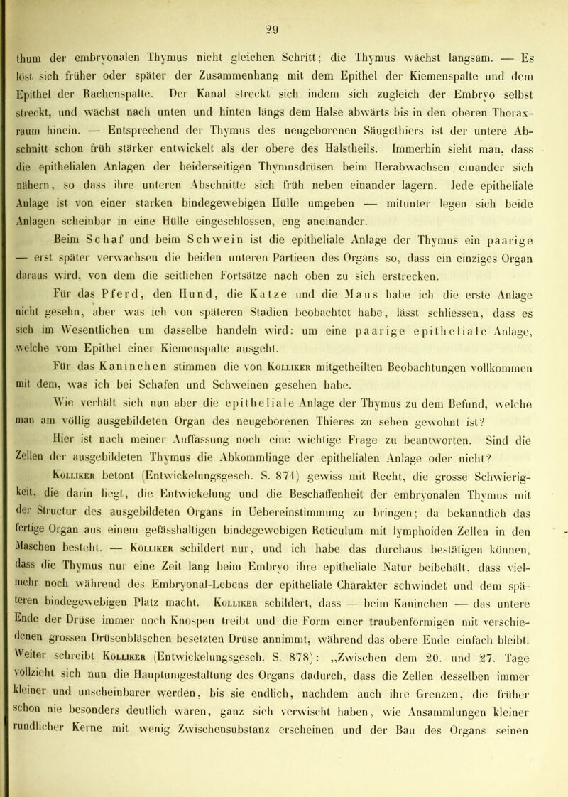 thum der embryonalen Thymus nicht gleichen Schritt; die Thymus wächst langsam. — Es löst sich früher oder später der Zusammenhang mit dem Epithel der Kiemenspalte und dem Epithel der Rachenspalte. Der Kanal streckt sich indem sich zugleich der Embryo selbst streckt, und wächst nach unten und hinten längs dem Halse abwärts bis in den oberen Thorax- raum hinein. — Entsprechend der Thymus des neugeborenen Säugethiers ist der untere Ab- schnitt schon früh stärker entwickelt als der obere des Halstheils. Immerhin sieht man, dass die epithelialen Anlagen der beiderseitigen Thymusdrüsen beim Herabwachsen. einander sich nähern, so dass ihre unteren Abschnitte sich früh neben einander lagern. Jede epitheliale Anlage ist von einer starken bindegewebigen Hülle umgeben — mitunter legen sich beide Anlagen scheinbar in eine Hülle eingeschlossen, eng aneinander. Beim Schaf und beim Schwein ist die epitheliale Anlage der Thymus ein paarige — erst später verwachsen die beiden unteren Partieen des Organs so, dass ein einziges Organ daraus wird, von dem die seitlichen Fortsätze nach oben zu sich erstrecken. Für das Pferd, den Hund, die Katze und die Maus habe ich die erste Anlage nicht gesehn, aber was ich von späteren Stadien beobachtet habe, lässt schliessen, dass es sich im Wesentlichen um dasselbe handeln wird: um eine paarige epitheliale Anlage, welche vom Epithel einer Kiemenspalte ausgeht. Für das Kaninchen stimmen die von Kölliker mitgetheilten Beobachtungen vollkommen mit dem, was ich bei Schafen und Schweinen gesehen habe. Wie verhält sich nun aber die epitheliale Anlage der Thymus zu dem Befund, welche man am völlig ausgebildeten Organ des neugeborenen Thieres zu sehen gewohnt ist? Hier ist nach meiner Auffassung noch eine wichtige Frage zu beantworten. Sind die Zellen der ausgebildeten Thymus die Abkömmlinge der epithelialen Anlage oder nicht? Kölliker betont (Entwickelungsgesch. S. 871) gewiss mit Recht, die grosse Schwierig- keit, die darin liegt, die Entwickelung und die Beschaffenheit der embryonalen Thymus mit der Structur des ausgebildeten Organs in Uebereinstimmung zu bringen; da bekanntlich das fertige Organ aus einem gefässhaltigen bindegewebigen Reticulum mit lymphoiden Zellen in den Maschen besteht. — Kölliker schildert nur, und ich habe das durchaus bestätigen können, dass die Thymus nur eine Zeit lang beim Embryo ihre epitheliale Natur beibehält, dass viel- mehr noch während des Embryonal-Lebens der epitheliale Charakter schwindet und dem spä- teren bindegewebigen Platz macht. Kölliker schildert, dass — beim Kaninchen — das untere Ende der Drüse immer noch Knospen treibt und die Form einer traubenförmigen mit verschie- denen grossen Drüsenbläschen besetzten Drüse annimmt, während das obere Ende einfach bleibt. Weiter schreibt Kölliker (Entwickelungsgesch. S. 878): „Zwischen dem 20. und 27. Tage vollzieht sich nun die Hauptumgestaltung des Organs dadurch, dass die Zellen desselben immer kleiner und unscheinbarer werden, bis sie endlich, nachdem auch ihre Grenzen, die früher schon nie besonders deutlich waren, ganz sich verwischt haben, wie Ansammlungen kleiner rundlicher Kerne mit wenig Zwischensubstanz erscheinen und der Bau des Organs seinen