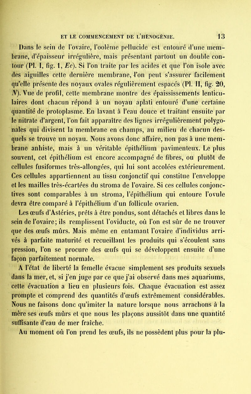 Dans le sein de Tovaire, roolèrne pellucide est entouré d’une mem- brane, d’épaisseur irrégulière, mais présentant partout un double con- tour (PI. I, fig. 1, Ec). Si l’on traite par les acides et que l’on isole avec des aiguilles cette dernière membrane, l’on peut s’assurer facilement qu’elle présente des noyaux ovales régulièrement espacés (PI. II, fig. 20, iV). Vue de profil, cette membrane montre des épaississements lenticu- laires dont chacun répond à un noyau aplati entouré d’une certaine quantité de protoplasme. En lavant cà l’eau douce et traitant ensuite par le nitrate d’argent, l’on fait apparaître des lignes irrégulièrement polygo- nales qui divisent la membrane en champs, au milieu de chacun des- quels se trouve un noyau. Nous avons donc affaire, non pas à une mem- brane anhiste, mais à un véritable épithélium pavimenteux. Le plus souvent, cet épithélium est encore accompagné de fibres, ou plutôt de cellules fusiformes très-allongées, qui lui sont accolées extérieurement. Ces cellules appartiennent au tissu conjonctif qui constitue l’enveloppe et les mailles très-écartées du stroma de l’ovaire. Si ces cellules conjonc- tives sont comparables à un stroma, l’épithélium qui entoure l’ovule devra être comparé à l’épithélium d’un follicule ovarien. Les œufs d’Astéries, prêts à être pondus, sont détachés et libres dans le sein de l’ovaire; ils remplissent l’oviducte, où l’on est sûr de ne trouver que des œufs mûrs. Mais même en entamant l’ovaire d’individus arri- vés à parfaite maturité et recueillant les produits qui s’écoulent sans pression, l’on se procure des œufs qui se développent ensuite d’une façon parfaitement normale. A l’état de liberté la femelle évacue simplement ses produits sexuels dans la mer, et, si j’en juge par ce que j’ai observé dans mes aquariums, celte évacuation a lieu en plusieurs fois. Chaque évacuation est assez prompte et comprend des quantités d’œufs extrêmement considérables. Nous ne faisons donc qu’imiter la nature lorsque nous arrachons à la mère ses œufs mûrs et que nous les plaçons aussitôt dans une quantité suffisante d’eau de mer fraîche. Au moment oû l’on prend les œufs, ils ne possèdent plus pour la plu-