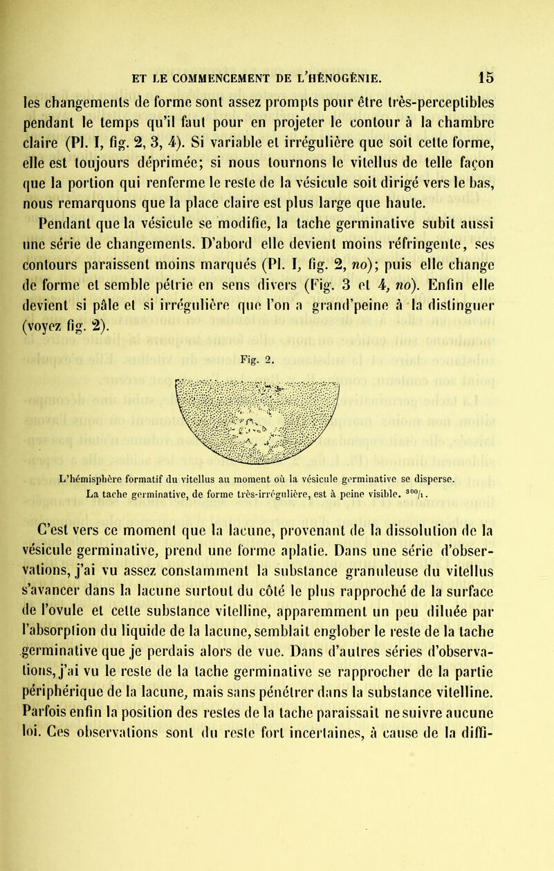 les changements de forme sont assez prompts pour être très-perceptibles pendant le temps qu’il faut pour en projeter le contour à la chambre claire (PI. I, fig. 2, 3, 4). Si variable et irrégulière que soit celle forme, elle est toujours déprimée; si nous tournons le vitellus de telle façon que la portion qui renferme le reste de la vésicule soit dirigé vers le bas, nous remarquons que la place claire est plus large que haute. Pendant que la vésicule se modifie, la tache germinative subit aussi line série de changements. D’abord elle devient moins réfringente, ses contours paraissent moins marqués (PI. I, fig. 2, wo); puis elle change de forme et semble pétrie en sens divers (Fig. 3 et 4, no). Enfin elle devient si pâle et si irrégulière que l’on a grand’peine rà la distinguer (voyez fig. 2). Fig. 2. L’hémisphère formatif du vitellus au moment où la vésicule germinative se disperse. La tache germinative, de forme très-irrégulière, est à peine visible. C’est vers ce moment que la lacune, provenant de la dissolution de la vésicule germinative, prend une forme aplatie. Dans une série d’obser- vations, j’ai vu assez constamment la substance granuleuse du vitellus s’avancer dans la lacune surtout du côté le plus rapproché de la surface de l’ovule et cette substance vitelline, apparemment un peu diluée par l’absorption du liquide de la lacune, semblait englober le reste de la tache germinative que je perdais alors de vue. Dans d’autres séries d’observa- tions, j’ai vu le reste de la tache germinative se rapprocher de la partie périphérique de la lacune, mais sans pénétrer dans la substance vitelline. Parfois enfin la position des restes de la tache paraissait ne suivre aucune loi. Ces observations sont du reste fort incertaines, à cause de la diffî-