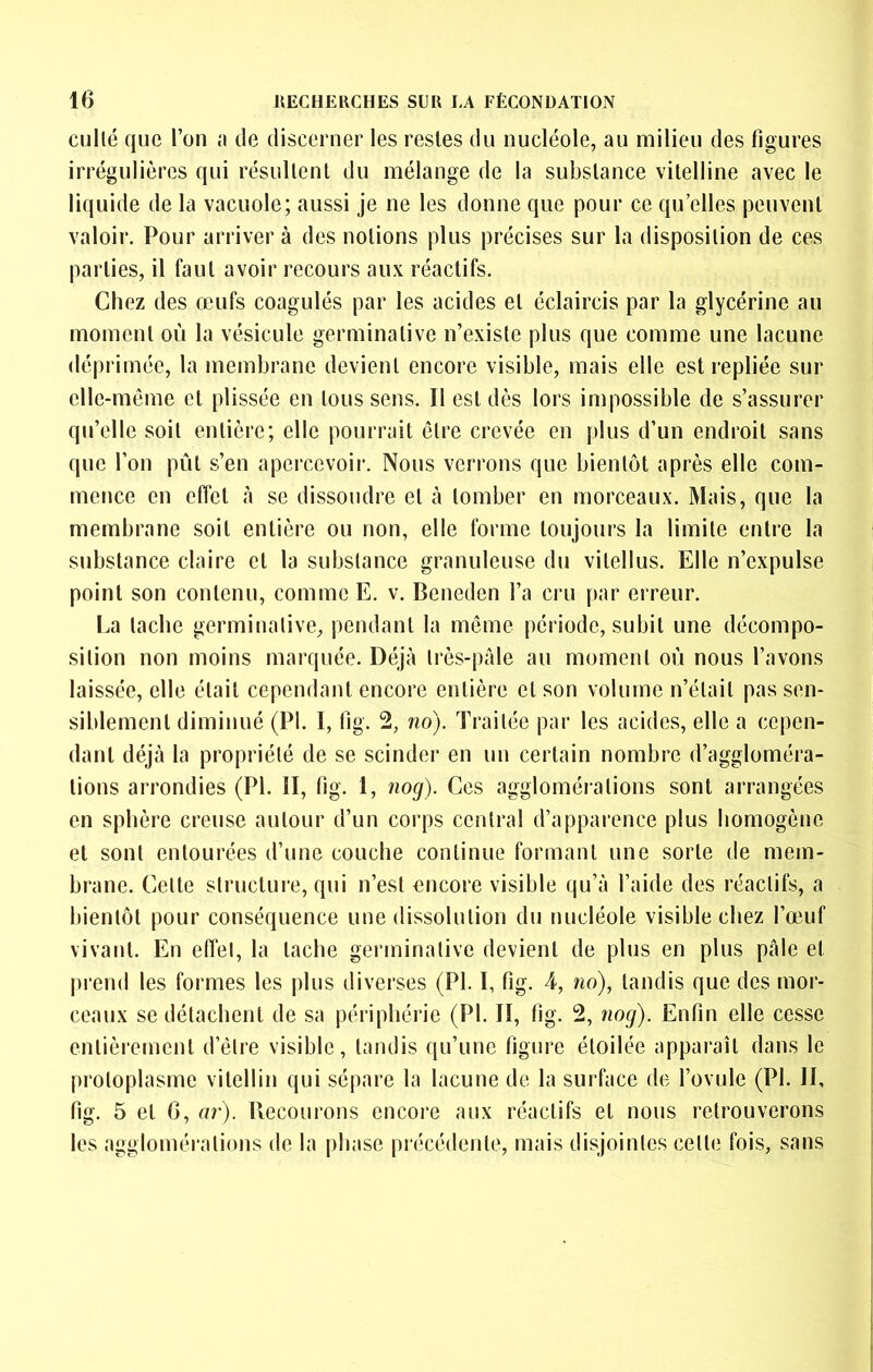 cullé que l’on îi de discerner les restes du nucléole, au milieu des figures irrégulières qui résultent du mélange de la substance vitelline avec le liquide de la vacuole; aussi je ne les donne que pour ce qu’elles peuvent valoir. Pour arriver à des notions plus précises sur la disposition de ces parties, il faut avoir recours aux réactifs. Chez des œufs coagulés par les acides et éclaircis par la glycérine au moment où la vésicule germinative n’existe plus que comme une lacune déprimée, la membrane devient encore visible, mais elle est repliée sur elle-même et plissée en tous sens. Il est dès lors impossible de s’assurer qu’elle soit entière; elle pourrait être crevée en plus d’un endroit sans que l’on pût s’en apercevoir. Nous verrons que bientôt après elle com- mence en effet à se dissoudre et à tomber en morceaux. Mais, que la membrane soit entière ou non, elle forme toujours la limite entre la substance claire et la substance granuleuse du vitellus. Elle n’expulse point son contenu, comme E. v. Beneden l’a cru par erreur. La tache germinative, pendant la môme période, subit une décompo- sition non moins marquée. Déjà très-paie au moment où nous l’avons laissée, elle était cependant encore entière et son volume n’était pas sen- siblement diminué (PI. 1, fig. 2, no). Traitée par les acides, elle a cepen- dant déjà la propriété de se scinder en un certain nombre d’aggloméra- tions arrondies (PI. II, fig. 1, nog). Ces agglomérations sont arrangées en sphère creuse autour d’un corps central d’apparence plus homogène et sont entourées d’une couche continue formant une sorte de mem- brane. Cette structui'e, qui n’est encore visible qu’à l’aide des réactifs, a bientôt pour conséquence une dissolution du nucléole visible chez l’œuf vivant. En effet, la tache germinative devient de plus en plus pâle et prend les formes les plus diverses (PI. I, fig. 4, no), tandis que des mor- ceaux se détachent de sa périphérie (PI. II, fig. 2, nog). Enfin elle cesse entièrement d’être visible, tandis qu’une figure étoilée apparaît dans le protoplasme vitellin qui sépare la lacune de la surface de l’ovule (PI. II, fig. 5 et 6, ar). llecourons encore aux réactifs et nous retrouverons les agglomérations de la phase précédente, mais disjointes cette fois, sans