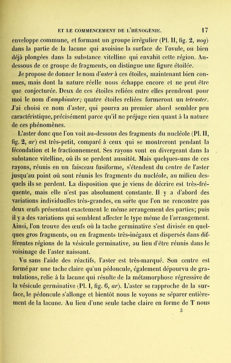 enveloppe commune, et formant un groupe irrégulier (PI. Il, fig. 2, nog) dans la partie de la lacune qui avoisine la surface de l’ovule, ou bien déjà plongées dans la substance vitelline qui envahit cette région. Au- dessous de ce groupe de fragments, on distingue une figure étoilée. Je propose de donner le nom d’«5/crà ces étoiles, maintenant bien con- nues, mais dont la nature réelle nous échappe encore et ne peut être que conjecturée. Deux de ces étoiles reliées entre elles prendront pour moi le nom d'amphiaster; quatre étoiles reliées formeront un telrasler. J’ai choisi ce nom d’aster, qui pouria au premier abord sembler peu caractéristique, précisément parce qu’il ne préjuge rien quant à la nature de ces phénomènes. L’aster donc que l’on voit au-dessous des fragments du nucléole (PI. II, fig. 2, ar) est très-petit, comparé à ceux qui se montreront pendant la fécondation et le fractionnement. Ses rayons vont en divergeant dans la substance vitelline, où ils se perdent aussitôt. Mais quelques-uns de ces rayons, réunis en un faisceau fusiforme, s’étendent du centre de l’aster jusqu’au point où sont réunis les fragments du nucléole, au milieu des- quels ils se perdent. La disposition que je viens de décrire est très-fré- quente, mais elle n’est pas absolument constante. Il y a d’abord des variations individuelles très-grandes, en sorte que l’on ne rencontre pas deux œufs présentant exactement le même arrangement des parties; puis il y a des variations qui semblent affecter le type même de l’arrangement. Ainsi, l’on trouve des œufs où la tache germinative s’est divisée en quel- ques gros fragments, ou en fragments très-inégaux et dispersés dans dif- férentes régions de la vésicule germinative, au lieu d’être réunis dans le voisinage de l’aster naissant. Vu sans l’aide des réactifs, l’aster est très-marqué. Son centre est formé par une tache claire qu’un pédoncule, également dépourvu de gra- nulations, relie à la lacune qui résulte de la métamorphose régressive de la vésicule germinative (PI. I, fig. 6, ar). L’aster se rapproche de la sur- face, le pédoncule s’allonge et bientôt nous le voyons se séparer entière- ment de la lacune. Au lieu d’une seule tache claire en forme de T nous 3