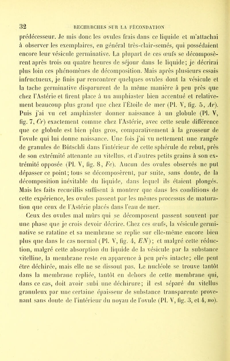 prédécesseur. Je mis donc les ovules frais dans ce liquide el m’attachai à observer les exemplaires, en général très-clair-semés^ qui possédaient encore leur vésicule germinative. La plupart de ces œufs se décomposè- rent après trois ou quatre heures de séjour dans le liquide; je décrirai plus loin ces phénomènes de décomposition. Mais après plusieurs essais infructueux, je finis par rencontrer quelques ovules dont la vésicule et la tache germinative disparurent de la même manière à peu près que chez l’Astérie el firent place à un amphiaster bien accentué et relative- ment beaucoup plus grand que chez l’Étoile de mer (PI. V, fig. 5, Àr). Puis j’ai vu cet amphiaster donner naissance à un globule (PI. V, fig. 7, Cr) exactement comme chez l’Astérie, avec cette seule différence que ce globule est bien plus gros, compai'alivemenl à la grosseur de l’ovule qui lui donne naissance. Une fois j’ai vu nettement une rangée de granules de Bütschli dans l’intérieur de celle sphérule de rebut, près de son extrémité attenante au vitellus, et d’autres petits grains à son ex- trémité opposée (PI. V, fig. 8, Fc). Aucun des ovules observés ne put dépasser ce point; tous se décomposèrent, par suite, sans doute, de la décomposition inévitable du liquide, dans lequel ils étaient plongés. Mais les faits recueillis suffisent h montrer que dans les conditions de celle expérience, les ovules passent par les mêmes processus de matura- tion que ceux de l’Astérie placés dans l’eau de mer. Ceux des ovules mal mûrs qui se décomposent passent souvent par une phase que je crois devoir décrire. Chez ces œufs, la vésicule germi- native se ratatine el sa membrane se replie sur elle-même encore bien plus que dans le cas normal (PI. V, fig. 4, EN); et malgré celle réduc- tion, malgré cette absorption du liquide de la vésicule par la substance vitelline, la membrane reste en apparence à peu près intacte; elle peut être déchirée, mais elle ne se dissout pas. Le nucléole se trouve tantôt dans la membrane repliée, tantôt en dehors de celle membrane qui, dans ce cas, doit avoir subi une déchirure; il est séparé du vitellus granuleux par une certaine épaisseur de substance transparente prove- nant sans doute de rinléi iem* du noyau de l’ovule (PI. V, fig. 3, el 4, no).