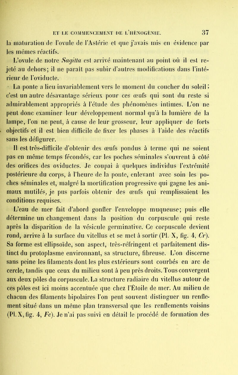 la maluraliüi) de Tovule de l’Astérie et que j’avais mis en évidence par les mêmes réactifs. L’ovule de notie Sagilla est ariivé maintenant au point où il est le- jeté au dehors; il ne paraît pas subir d’autres modifications dans l’inté- rieur de l’oviducte. La ponte a lieu invariablement vers le moment du coucher du soleil i c’est un autre désavantage sérieux pour ces œufs qui sont du reste si admirablement appropriés à l’étude des phénomènes intimes. L’on ne peut donc examiner leur développement normal qu’à la lumière de la lampe, l’on ne peut, à cause de leur grosseur, leur appliquer de forts objectifs et il est bien difficile de fixer les phases à l’aide des réactifs sans les défigurer. Il est très-difficile d’oblenir des œufs pondus à terme qui ne soient pas en même temps fécondés, car les poches séminales s’ouvrent à côté des orifices des oviductes. Je coupai à quelques individus l’extrémité postérieure du corps, à l’heure de la ponte, enlevant avec soin les po- ches séminales et, malgré la mortification progressive qui gagne les ani- maux mutilés, je pus parfois obtenir des œ.ufs qui remplissaient les conditions requises. L’eau de mer fait d’abord gonfler l’enveloppe muqueuse; puis elle détermine un changement dans la position du corpuscule qui reste après la disparition de la vésicule germinative. Ce corpuscule devient rond, arrive à la surface du vitellus et se met à sortir (PI. X, fig. 4, Cr). Sa forme est ellipsoïde, son aspect, très-réfringent et parfaitement dis- tinct du protoplasme environnant, sa structure, fibreuse. L’on discerne sans peine les filaments dont les plus extérieurs sont courbés en arc de cercle, tandis que ceux du milieu sont à peu près droits. Tous convergent aux deux pôles du corpuscule. La structure radiaire du vitellus autour de ces pôles est ici moins accentuée que chez l’Étoile de mer. Au milieu de chacun des filaments bipolaires l’on peut souvent distinguer un renfle- ment situé dans un même plan transversal que les renflements voisins (PI. X, fig. 4, Fc). Je n’ai pas suivi en délail le procédé de formation des